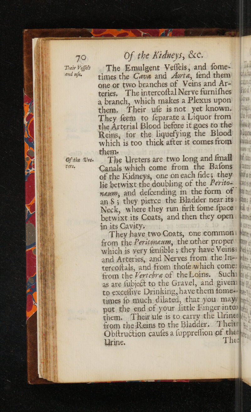7 QO Their Veffels and ules Ofithe Ure. SEFSe Of the Kidneys, &c. ~The Emulgent Veflels, and fome- times the Cava and Aorta, fend them one.or two branches of Veins and Ar- teries. The intercoftal Nerve furnifhes a branch, which makes a Plexus upon them. Their ufe isnot yet known. They feem to feparate a Liquor from which is too thick after it comes from them. The Ureters are two long and {mall Canals which come from the Bafons of the Kidneys, one on each fides they lie betwixt the doubling of the Perio- neum, and defcending in the form of | an. §; they pierce the Bladder near ats: Neck, where they run firft fome.fpace | betwixt its Coats, and then they open: in its Cavity: They have. two Coats, one common! from the Peritoneum, the other proper which is very fenfable ; they have Veins: and Arteries, and Nerves from. the In-- tercoftals, and from thofe»which come: from the Vertebra of the Loins. ‘Suchi as are {ubject to the Gravel, and givem to excellive Drinking, have them fome=- times fo much. dilated, that you. mayy put the end of your little Finger into them. Their ufe is to carry the Urinee Obitruction caufes a {uppreflion of the Urine. 2101 OY } Loar WRAL phigad L ik tt w\\ Bion: | f j all Bi gt Roni K( Matta ' eke! Whee Z,, | yh ill, a iy a Bi fl Tie v.! Dor, | ao ii ih, 1) | fe | f at ij 23