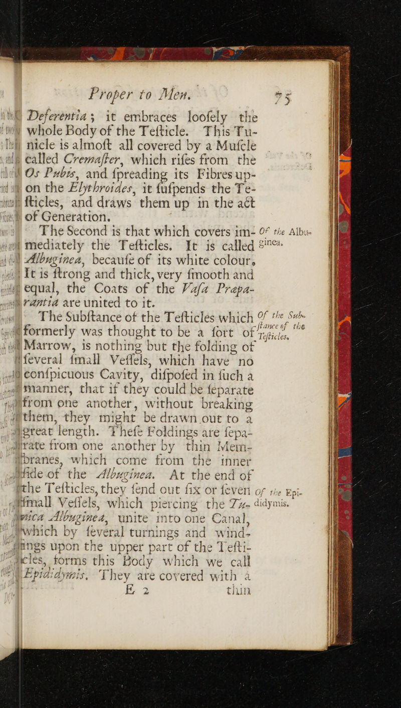 th) Deferentia; it embraces loofely the i whole Body of the Tefticle. This Tu- Ii) nicle is almoft all covered by a Mufcle ile called Cremajter, which rifes from the lw) Os Pubes, and f{preading its Fibres up- i on the Elythroides, it fufpends the Te- int fticles, and draws them up in the act of Generation. | The Second is that which covers im- 0 the Albu. wll mediately the Tefttcles. It is called 5* (il Albuginea, becaufe of its white colour, It is ttrong and thick, very fmooth and (ue equal, the Coats of the Vafa Prepa- yiia Yantia are united to it. The Subftance of the Tefticles which 0% 1 S# ‘a@ formerly was thought to be a fort of nau.” | Wil Marrow, is nothing but the folding of ifeveral {mall Veffels, which have no ywigjconfpicuous Cavity, difpofed in fuch a i@asmanner, that it they could be feparate ‘afrom one another, without breaking “them, they might be drawn out to a _j@mgreat length. Phefe Foldings are fepa- Jrate from one another by thin Mem- Wbranes, which come from the inner jefide of the Albuginea. At the end of She Tetticles, they fend out fix or fever of the Epi qifmall. Vefiels, which piercing the Zz- didymis. Wwica Albuginea, unite into one Canal, Tabwhich by feveral turnings and wind- qamngs upon the upper part of the Tefti- aries, forms this Body which we call UME piaaymis, ‘They are covered with a i 3 thin ) SRR