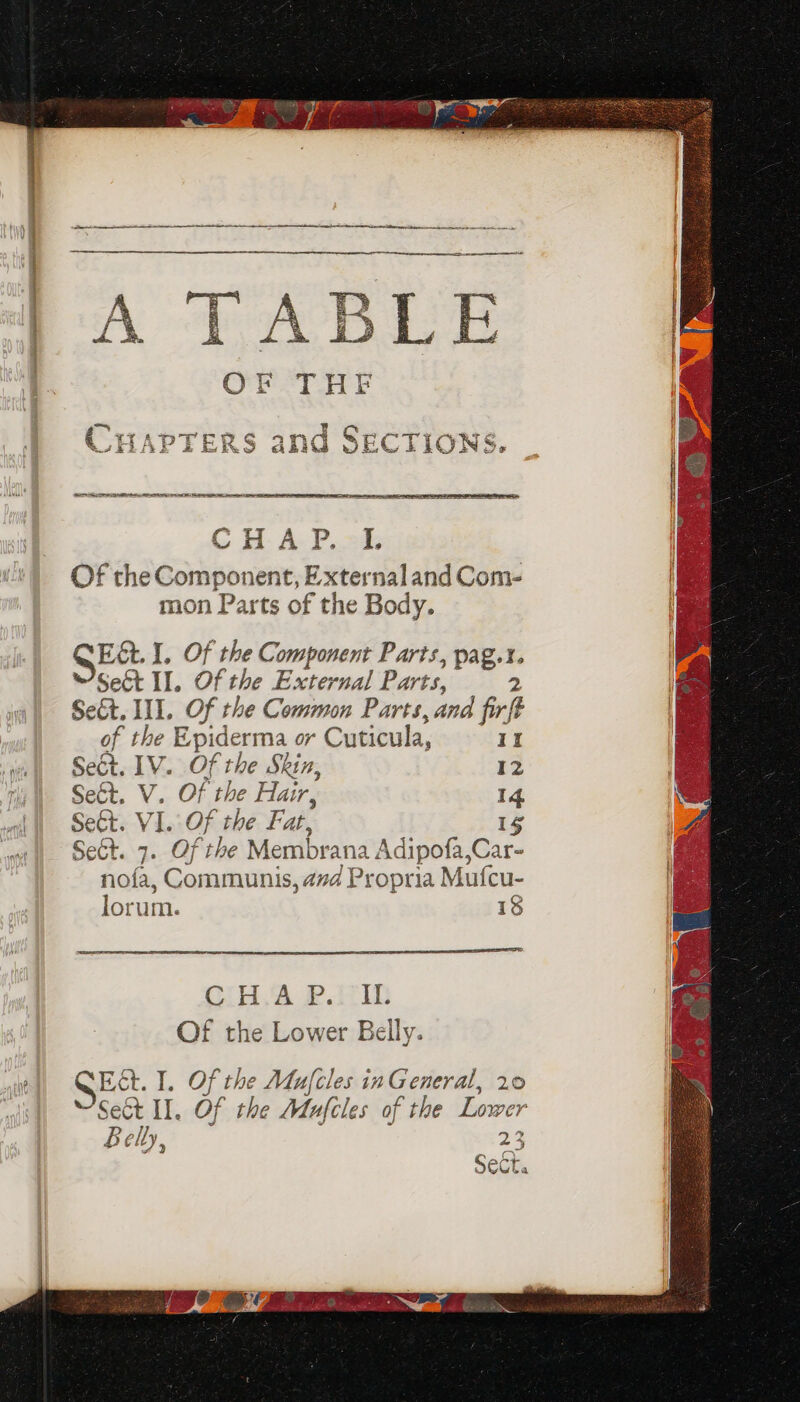 a St ie ———— nr ern a 2 CHA P.ot. Of the Component, Externaland Com- mon Parts of the Body. E&amp;. 1. Of the Component Parts, pag.t. Set Il. Of the External Parts, 2 Set. II. Of the Common Parts, and firft of the Epiderma or Cuticula, II Sect. IV. Of the Skin, 12 Seét, V. Of the Hair, 14 SeCt. VI. Of the Fat, 1g SeGt. 7. Of the Membrana Adipofa,Car- nofa, Communis, avd Propria Mufcu- lorum. 18 Se A a CLS 2G LD Of the Lower Belly. GQ Ect. I, Of the Mufcles inGeneral, 20 “'Seét II. Of the Mufcles of the Lower L elly, 2 3 Sect.