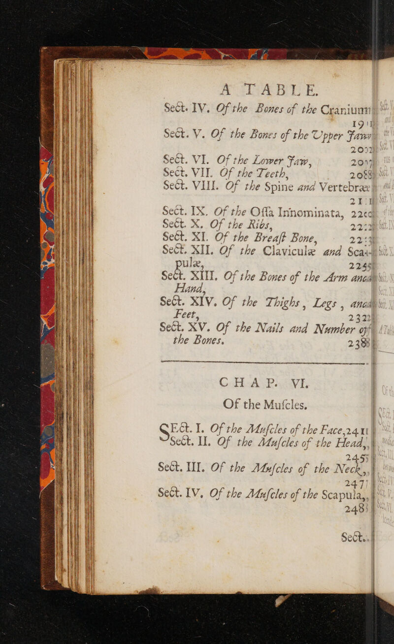 A AGA BIL E. Sect. IV. Of the Bones of the Craniuni Ig Sect. V. Of the Bones of the Upper Fanv 2027) Sect. VI. Of the Lower Fa iW, 2044 Sect. VII. Of the Teeth, 2088) Sect. VU. Of the Spine ana Vertebrae oe ir Sect. IX. Of the Offa Innominata, 22¢ Sect. es Of the Rios, 22.8 Sect. XI. Of the Breaft Bone, 22:9 Seét. XII. Of the Clavicule and Scai- pule, ig 2245) ect. KITT, Of the Bones of the Arm anaay' Hand, Seét. XIV. Of the Thighs , Legs , anad it Feet, 23 2: sett. XV. Of the Nails and Number o the Bones. 2 333) : qemene cece LER TRAE OE TET TS € GEct. I. Of the Maufcles of 1 he F, ACe,24 11} Sect. I, Of the Mufcles of the Head, 24550 Sect. III. Of the Afufcles of the Neck,,} 247) 9 Sect. IV. Of the Adufcles of the Scapula,,} 2433) lam