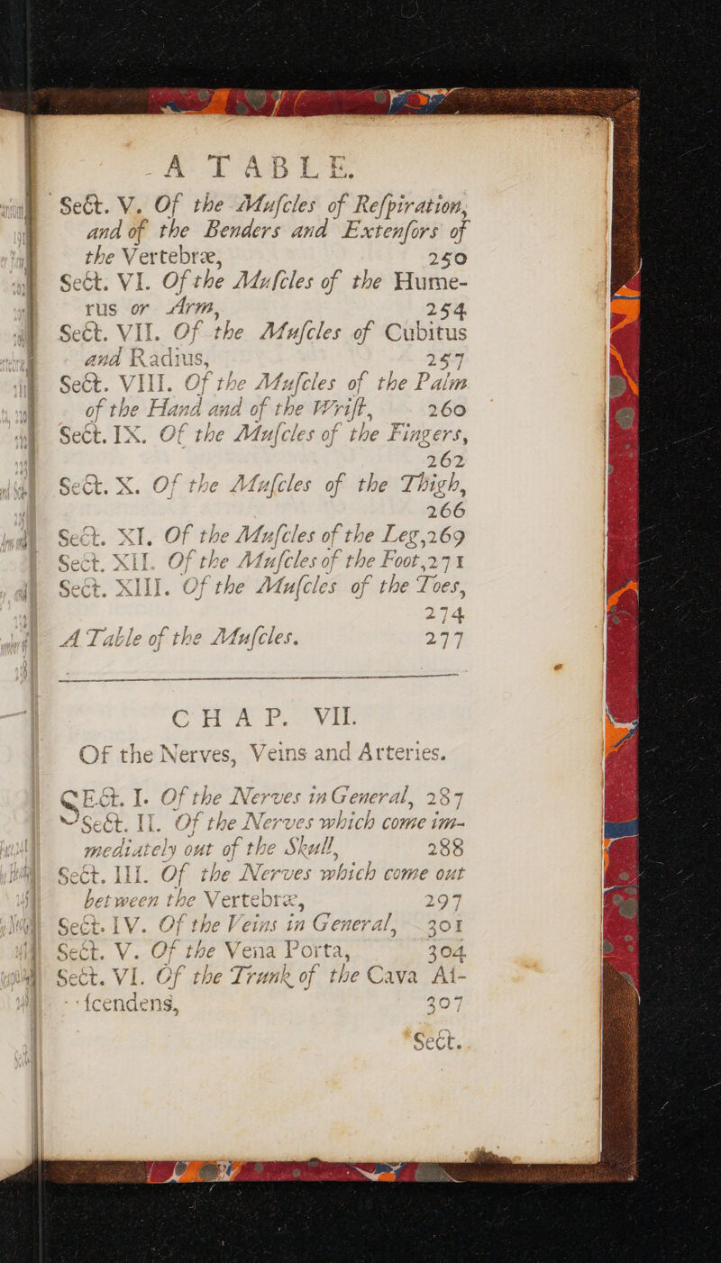 mr Aa). ce | the Ver tebree, 250 Seét. VI. OF the Mufeles of the Hume- rus or Arm, ant Seét. VII. the I fufcles of Cubitus nad R sania; ve a VIII. Of the Mufcles of the Palm Se€t. IX. OF the Mufcles of the Fingers, 262 Se&amp;t. X. Of the Mufcles of the Thigh, x7 . fs ] + XI] A the ee Lh, ae sof the ig Sie I <7 AA 4 ah GF ‘ ? 1f ) eS 7A i+ 7. Bet a! / - At aile of the (cles. 77 ~ Ns / YP VII AY ti A i e v . ZN 0 «l “as “Wee cers: A “tp > Of the Ner rves, Yeins ana / rteries. ME QD AE as Niereioe ta leone eo Ona ‘Eét. I. Of the Nerves 12 General, 257 a or eC Tt} SO Pl A CIN i onearo e Ab rn Seét. IL. Of the Nerves wh ich come im- }* 4 a iF F Yb yy I] 4 mediately out of the Skull, 288 Cee PEE? gym thn ey Re! nan ae Sect. ill. Of the Nerves which come out L 2 Pe Ver aly OF DElLWECEH LHe ¥ ertcore, ay | IG PMT SF tela t/ Beay YYZ ar Seét. LV. Of the Veins in what al, “308 5 f a ae a. le f?; hy 2) t Sect. V. CF the Vena Porta 2 Od. x ‘al ] a — 5 {7 ph raf! OT Ma ataee 4 Sect. VI. Of the Trunk of the Cava /