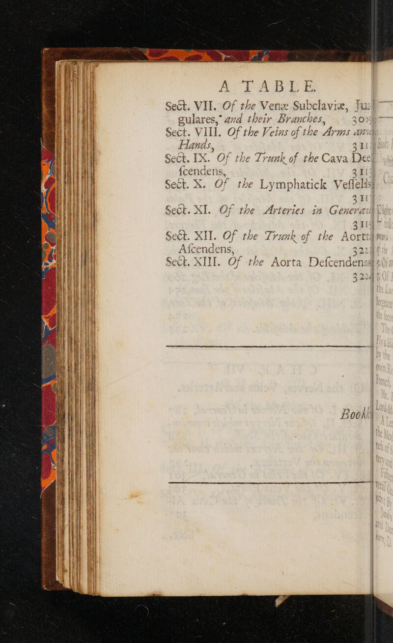 gulares,” avd their si nes, 20% Sect. VIL. Of the Veins of the Arms os Annie Hands, ? 311) Sect. IX. Of the Trunk of the Cava De! | {cendens, 31 Sect. X. Of the Lymphatick Vefl felis 3 1 Sect. XI. Of the Arteries in Gener I vr i Lope T papibient + Anette eét XI. Of tive Vi THUR Oj tre Aor ui : fl} ti \ 3 Aorta Defcen na der