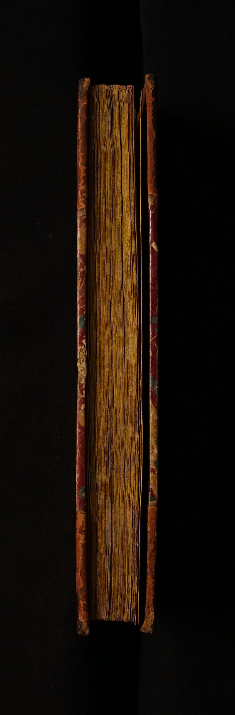 No text description is available for this image