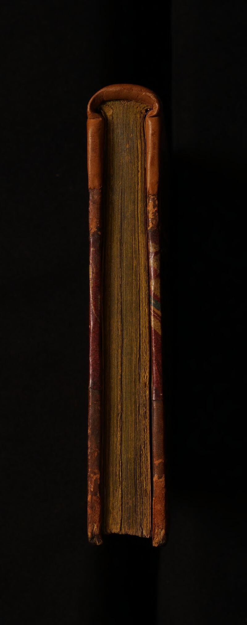 No text description is available for this image