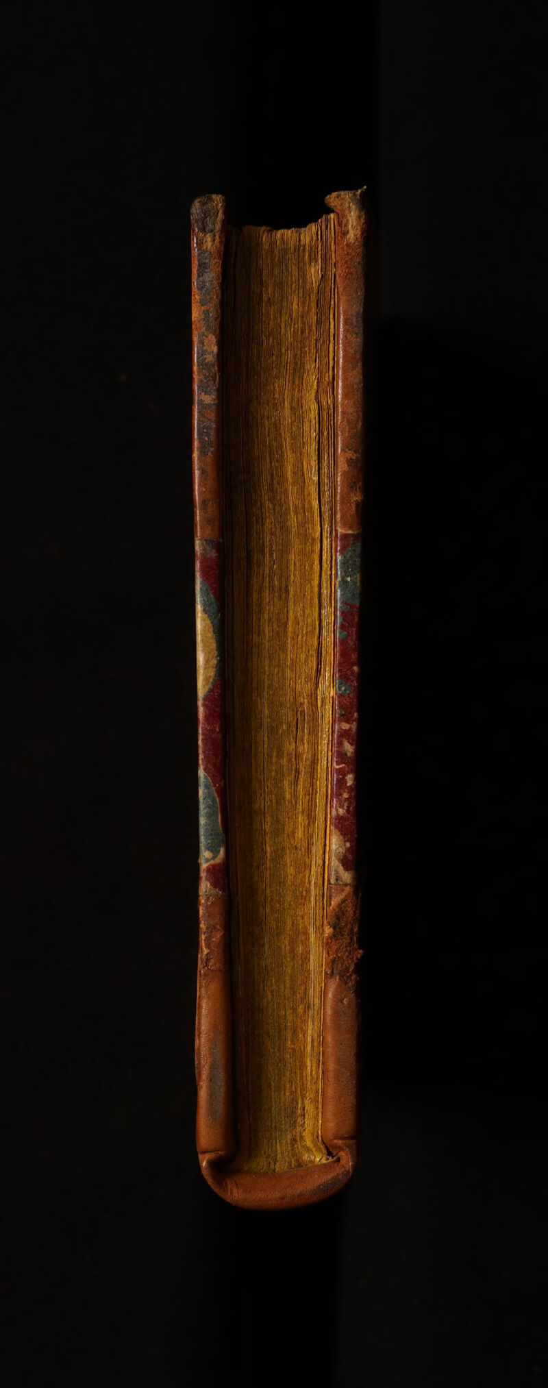 No text description is available for this image