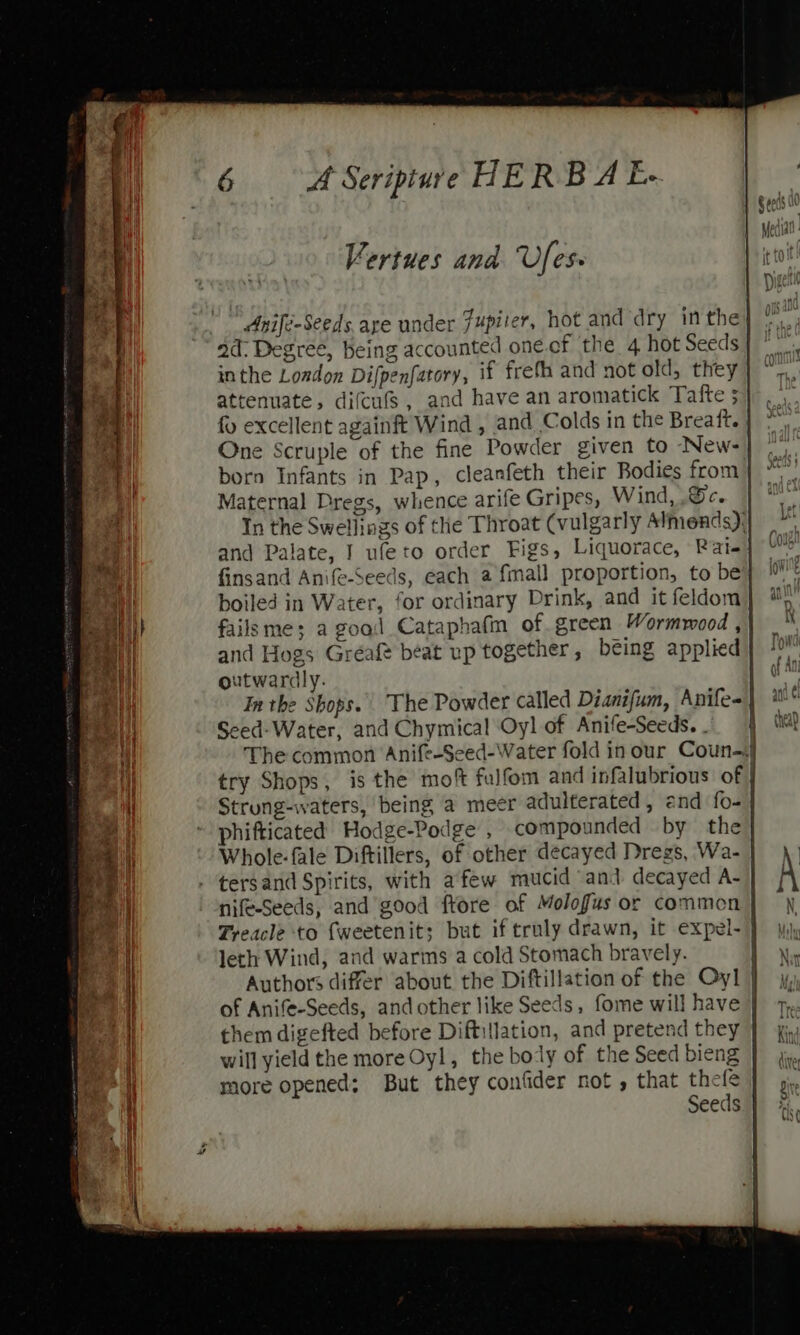 cn ey ys A Seripiure HERBA E. Vertues and Ufess Anife-Seeds are under Fupiter, hot and dry in the} ad: Degree, being accounted one.of the 4 hot Seeds | inthe London Difpenfatory, if freth and not old, they attenuate, difcufs, and have an aromatick Tafte 5 fv excellent againft Wind , and Colds in the Brea ft. | One Scruple of the fine Powder given to New-] born Infants in Pap, cleanfeth their Bodies from | Maternal Dregs, whence arife Gripes, Wind, Se. In the Swellings of the Throat (vulgarly Almends); and Palate, I ufeto order Figs, Liquorace, Pate] finsand Anife-Seeds, each a fmall proportion, to bey boiled in Water, for ordinary Drink, and it feldom failsme; a goa:l Cataphafin of green Wormwood , and Hogs Gréafé beat up together , béing applied outwardly. | Inthe Shops. The Powder called Dianifum, Anife-| Seed-Water, and Chymical Oyl of Anife-Seeds. . The common Anife-Seed-Water fold inour Coun-, try Shops, is the mot fulfom and infalubrions of | Strung-waters, being a meer adulterated, end fo- phifticated Hodge-Podge , compounded by the} nife-Seeds, and good ftore of Molofus or common Authors differ about the Diftillation of the Oyl of Anife-Seeds, andother like Seeds, fome will have | them digefted before Diftitlation, and pretend they will yield the more Oyl, the bo-ly of the Seed bieng more opened; But they confider not , that thele