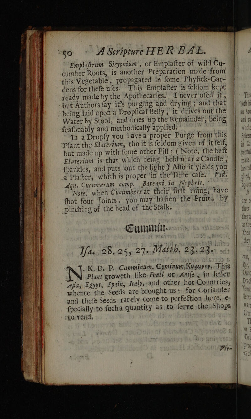 Emplaftrum Sicyonium, or Emplafter of wild Cu- cumber Roots, is another Preparation made from this Vegetable, propagated in fome Phyfick-Gar- dens for thefe ues. This Emplatter ‘is feldom kept ready made by the Apothecaries. T never ufed’ it, but Authors fay it’s purging and drying &gt; and that being Jaid upon’a Dropfical Belly , it drives out the Water by Stool, and dries up the Remainder, being feafonably and methodically applied.” In a Dropfy you lavea proper Purge from this Plant the Elaterium, tho it is feldom given of it felf, but made up with fome other Pill ; ( Note, the beft Flaterium is that which being “held near 2Candle , fparkles, and puts out the light) Atfo it yields you a Platter, which is proper ‘in thefame cafe.” Fid. Agu. Cucumerum comp. Bateant.in Nepkrit. ° Note’ when Cucumbers at their firft rifing, have fhot four Joints, you may haften the Fruit. by pinching of the head of the Stalk. Suit. ™ J, K.D. P. Cumminum, Cyminum,Kugayers This Plant groweth like: Feat! or, Anife-,, in lefler Ajia, Egypt, Spain, Italy, and other hot Countries; whence the Seeds are brought us ; for Coriander and thele Seeds. rarely come to perfection here, €- fpecially to fucha quantity 25.t0 ferve the shops - to. vend.