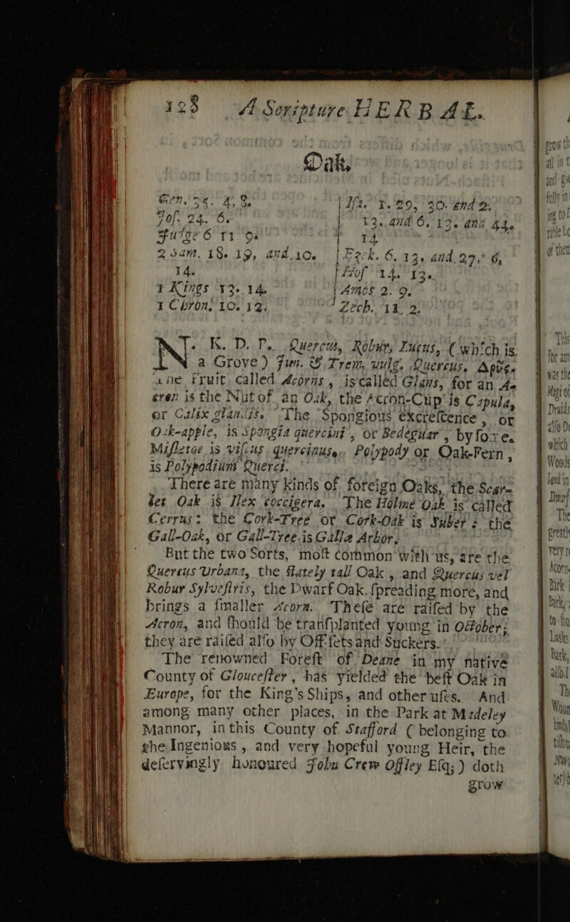 14. | £70 14. 136 7 Kings 12-14, Ble 2.9. 1 Chron’ 10. 12, Cech. “LE 2) N KD. P.. Ruereiy Reba Lucns, Cwh! chis | Mi was Ei aie Fruit ealled Acoriis , iscalled Glans, foe an Ae Vista sven is the Nut of an O.zk, the - cron-Cup is Cupula, nesid ; Limba or Calix glaniit. ~The Spongions excrefCence , or rN \ O. ‘R-apple M iS Spangia querchit 3 Or Bedeguar' , by fo. re, an Miflz 2tae 33 Vifus Gtercinitss.. Polypody or Oak-Fern | is Polypodium Querct. uni There are many kinds of. f foreig n.Oaks, theSear- | Phot bet Oak i$ Ilex ‘coccigera, The Holme Oak is‘called | Te Cerrus; the Cork-Free or Cork-Oak is Suber : the rs Gall-Oak, or Gall-Tree.is Galle Arbor. . : But the two Sorts, molt common with ws, are the He Quercus Urbans, the ately tall Oak , and Quercus vel | iy Robur Sylvefiris, the Dwarf Oak. {preading more, and at | brings a fmaller score. Thefé are raifed by the | bit Acron, and fhould be tranfplanted young’in odfober; | +H they are railed alfo by Off fets and: Suckers. en The renowned Foreft of Deane in my native 9 County of Gloucefter , has yielded the heft Oak in are Europe, for the King’s s Ships, and other ufes. And Ry. among many other places, in the Park at Madeley | Mannor, inthis County of. Stafford ( belonging to ghe Ingenious , and very hopeful young Heir: the | peeramels honoured Fobu Crew Offley Efq;) doth grow |