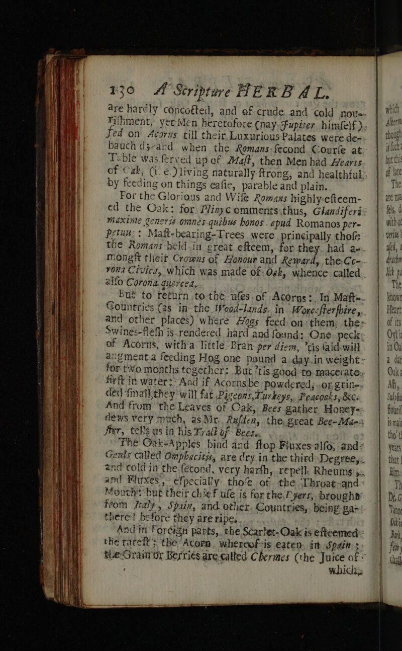 1300 AL Striptere HER B AL. Tilhment, yerMen heretofore (nay. Fupiter himfelf } bauch dj-ard when the Romans-fecond Courfe at Table was ferved up of Azaft, then Men had Hearts by feeding on things eafie, parable and plain. For the Glorious and Wife Romans highly-efteem- maxime generis omnes quibus honos. apud Romanos per- petun:: Matt-bearing-Trees. were principally thofe alfo Corona. quervced, and other places) where Hogs feed on them. the: Swines-fléfh is.rendered hard and found of Acorns, witha little. Bran per diem, tis aid-will for two months tegéther: But ’tis Sood ‘to macerate ded finatkthey will fat Pigeons, Turkeys, Peacocks, &amp;C. fier, tells us in his Trait of Beese. Mouth but their chief ule is for the Dyers, broughs from ftaly, Spain, and other Countries,, being: ga- there} before they are ripe. the tarelt; the ‘Acorn. whereofis eaten. im Spain: Pa whichs wath of perils | ae, drach