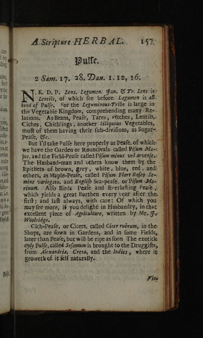 Cure A Ales (TY uning Vv ation, fre} y the Ir the yrning follone af, i f  th 4 4] : i Elif i iy F | A:Striptwe HERBAL. 57: 9 ulfe. 2 Sam. 17. 28, Daa. 1.12, 16; a T.K. DP. Lens. Legumen. fun. © Tr. Lens is* NY Lentils, of which fee before. Legumen is af. kind of Pulfe. For the Leguminous-Tribe is large in the Vegetable Kingdom, comprehending many: Re-- lations. AsBeans, Peafe, Tares, itches, Lentils, Ciches, Chichlings , another Siliquous Vegetables, moft of them having their. fub-divifions, as Sugat= Peate, Se, But Vil take Pulfe here properly-as Peafe, of which» we have the Garden or Rouncivals. called Pifum Afz-: jus, and the Field-Peafe called Pifum minus vel arvenfe.: The: Husband-man and others know them: by the ethers, as Maple-Peafe, called Pifum Flore Rofeo Se- mine variegato. and Englifh Sea=peafe, or Pifum -Afz- vinum. Alfo Birds Peafe and Everlafting Peafe , which yields a great Burthen every year after the. firft; and laft always, with care: Of which you may fee more, if you delight in Husbandry, in-that excellent piece of 4griculture, written by Mr. Fs Woolridge. Cich-Peafe, or Cicers, called Cicer rubrum, in-the: Shops, are fown in Gardens, .and in fome Fields, later than Peafe, but will be ripe as foon The exotick Oyly Pulfe, called Sefamum-is brought to the Druggifts, groweth of. it &amp;lf naturally... Cp a a ——————— Ce. SS a a