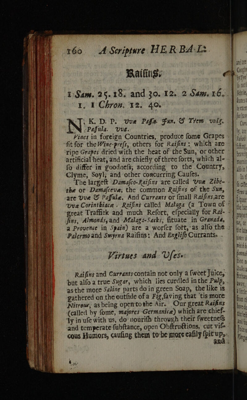 # aniate Railing: OR 1:Sam. 25.18, and 30. 12. 2 Sam. 16. | hile 1. I Chron. 12. 40. _ fas bav C7, K. DP. vue Pafe Fan. Trem vulg. fo, INQ Pafula. Uva. : ie Vines in foreign Countries, produce fome Grapes « ] fit for the Wine-prefs, others for Raifins: which are} 44. ripe Grapes dried with the heat of the Sun,‘or other ©}... artificial heat, and are.chiefly of three forts, which al-. ] fo differ im goodaefs, according to the Country, .} 4: Clyme, Soyl; and other concurring Caules. 1 oa The largeft Damafco-Raifins are called Uva Zibe~ -} ¢ .», the or Damafceve, the common Raifizs of the Sun, ears are Uve © Pafule. And Curraars or {mall Raifiasare Fue uve Corinthiace « Raifins called Mataga (a Town of 7) fet great Traffick and much Refort, efpecially for Rai- &lt;},..... fins, Almonds, and -Malaga-Sacks, fituate in Granada, |). a Provence in Spain) are a worler foft,-as alfo the :})..., Palermo and Smyrna Raifins: And EnglifbCurrants.. },.,.: B mitch Virtues and. Ufes (to ON. : : ae | stalks 9 Raifins and Currantscontain not only a fweet Juice, bth but alfo a true Sugar, which lies curdled inthe Pulp, . | &amp; : asthe more Saline parts doin green Soap, the like is ]};),,. gathered on the outfide of a Fig,faving that ‘tismore — fon Nitrous, asbeing opentothe Air. Our great Reifias | es (called by fome, majores Germanica) which are-chief- a ly in ufe with us, do’ nourifh through their fweetnelS J, and temperate fubftance, open Obftruétions, cut vil ‘a cous Humors, caufing them to-be more cafily sabes » Ming and: } i}