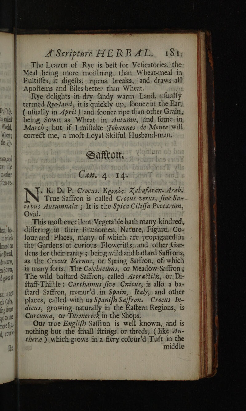 Nr Vi, 1 called World, Wheat: the Hy. yay, and win the toother {ten tee neat, bee ii | it isles hment £0 | Bread, | fncorn, nal ig nt | ng from i A Scripture HERE AL, 1ST; The Leaven of Rye is beit for Veficatories, the Meal being more moiitning, than Wheat-meal in Pultiffes, it digeits, ripens, breaks, and. draws:all Apoftems and Biles'better than Wheat. . Rye delights in dry fandy warm-&gt; Land, ufually termed Rye-/and; itis quickly up, fooner in the Ear, (ufually in Apri!) and fooner ripe than other Grain, being Sown as Wheat in Autumn, ‘and. fome: in March; but if Imiftake Fobannes de Monte will correct me, a moft Loyal Skilful Husband-man. Safirott. : Cam 4td: « K. De P.. Crocus. Kegnds. Xabafaran. Arab. True Saffron is called Crocus verus, five Sa- cavus Autumnal ; Ye is the Spica Ciliffa Poerarum, Ovid. This moft excelent: Vegetable hathmany kindred, differingoin | their;;Prenomen, Nature;. Figure); Co- lour and’ Placés, many.: of which: are» propagated! in the’ Gardens! of curious: Flowerifts;,and other :Gar- dens for their-rarity ; being wild and baftard Saffrons, as the Crocus Vernus, ov Spring Saftron, of which is many forts; The Co/chicums, or Meadow-Satiron 5 The wild battard Saffron, called Attrattilx, .or, Di- {taff-Thiftle: Carthamus five Cnicus, is alfo a ba- {tard Saffron, manur’d in Spain, Italy, and other places, called -with us Spanifh Saffron. Crocus In- dicus, growing naturally in the Eaftern Regions, is Curcuma, or “Furmerick in the Shops. Our true Englifh Saffron is well known, and is nothing but the {mall ftrings. or threds; (like An- there ) which. grows ina fiery colour’d Tuft in the middle