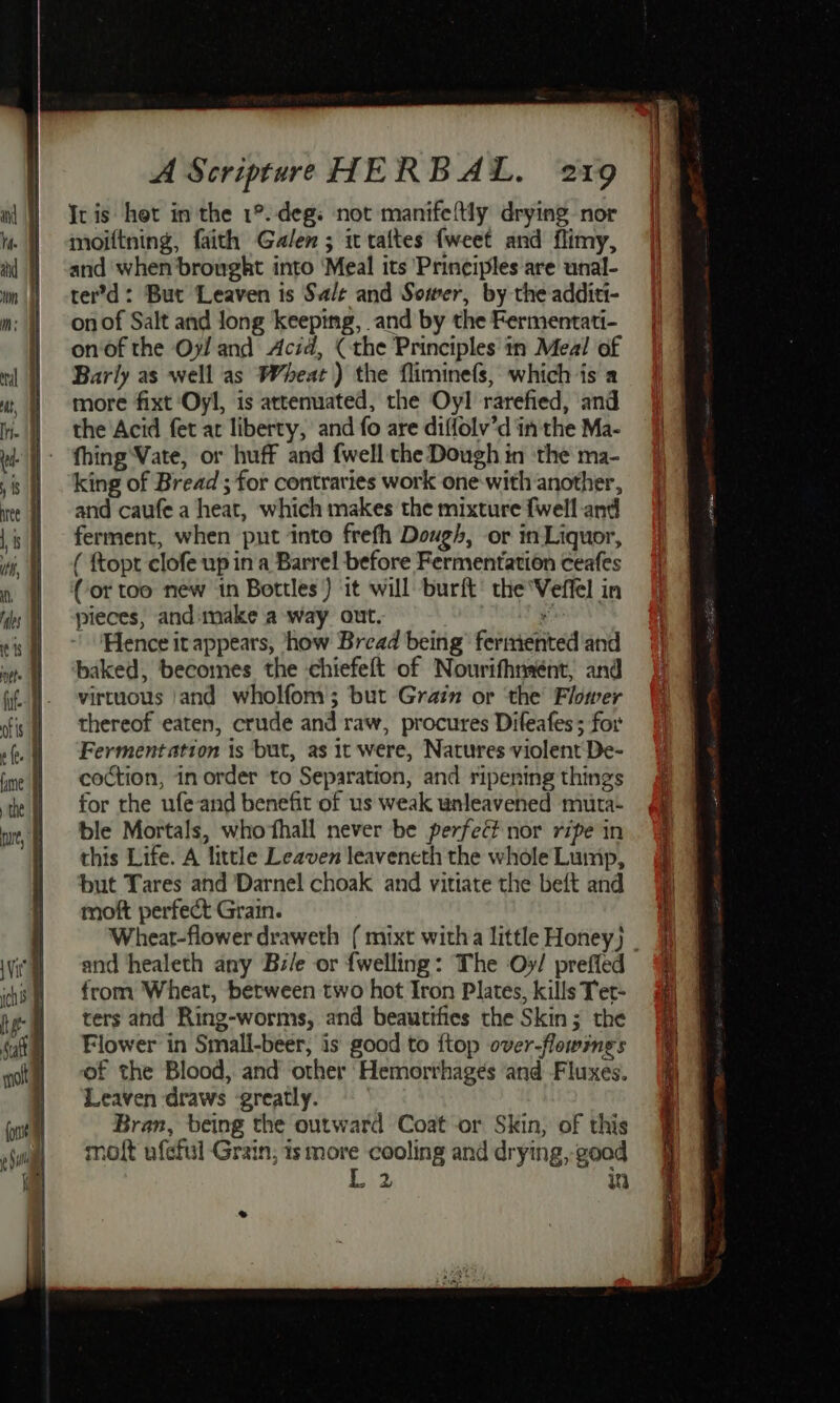 It is hot in the 1°. deg. not manifeftly drying nor moiftning, faith Galen ; it taltes {weet and flimy, and when bronght into ‘Meal its Principles are unal- ter’d: But Leaven is Salt and Sower, by the additi- on of Salt and long keeping, and by the Fermentati- on‘of the Oy! and Acid, (the Principles 11 Meal of Barly as well as Wheat ) the fliminefs, which is a more fixt ‘Oyl, is attenuated, the Oyl rarefied, and the Acid fet at liberty, and fo are diffolv’d in the Ma- fhing‘Vate, or huff and {well the Dough in ‘the ma- king of Bread ; for contraries work one-with another, and caufe a heat, which makes the mixture fwell and ferment, when put into frefh Dough, or in Liquor, ( ftopt clofe up ina Barrel before Fermentation ceafes (or too new tn Bottles) ‘it will burft’ the'Veffel in pieces, and:make a way out. * ' ‘Hence it appears, how Bread being’ fermented and baked, becomes the chiefeft of Nourifhnaént, and virtuous 'and wholfom; but Grain or ‘the Flower thereof eaten, crude and raw, procures Difeafes; for Fermentation is but, as it were, Natures violent De- coction, in order to Separation, and ripening things for the ufeand benefit of us weak unleavened muta- ble Mortals, whohall never be perfec? nor ripe in this Life. A little Leaven leaveneth the whole Lump, but Tares and Darnel choak and vitiate the beft and moft perfect Grain. Wheat-flower draweth ( mixt witha little Honey} and healeth any Bz/e or {welling: The Oy/ preffed from Wheat, between two hot Iron Plates, kills Ter- ters and Ring-worms, and beautifies the Skin; the Flower in Small-beer, is good to ftop over-flowings of the Blood, and other Hemorrhagés and Fluxes. Leaven draws ‘greatly. Bran, being the outward Coat or Skin, of this moft ufeful Grain; ismore cooling and drying, good L2 in *