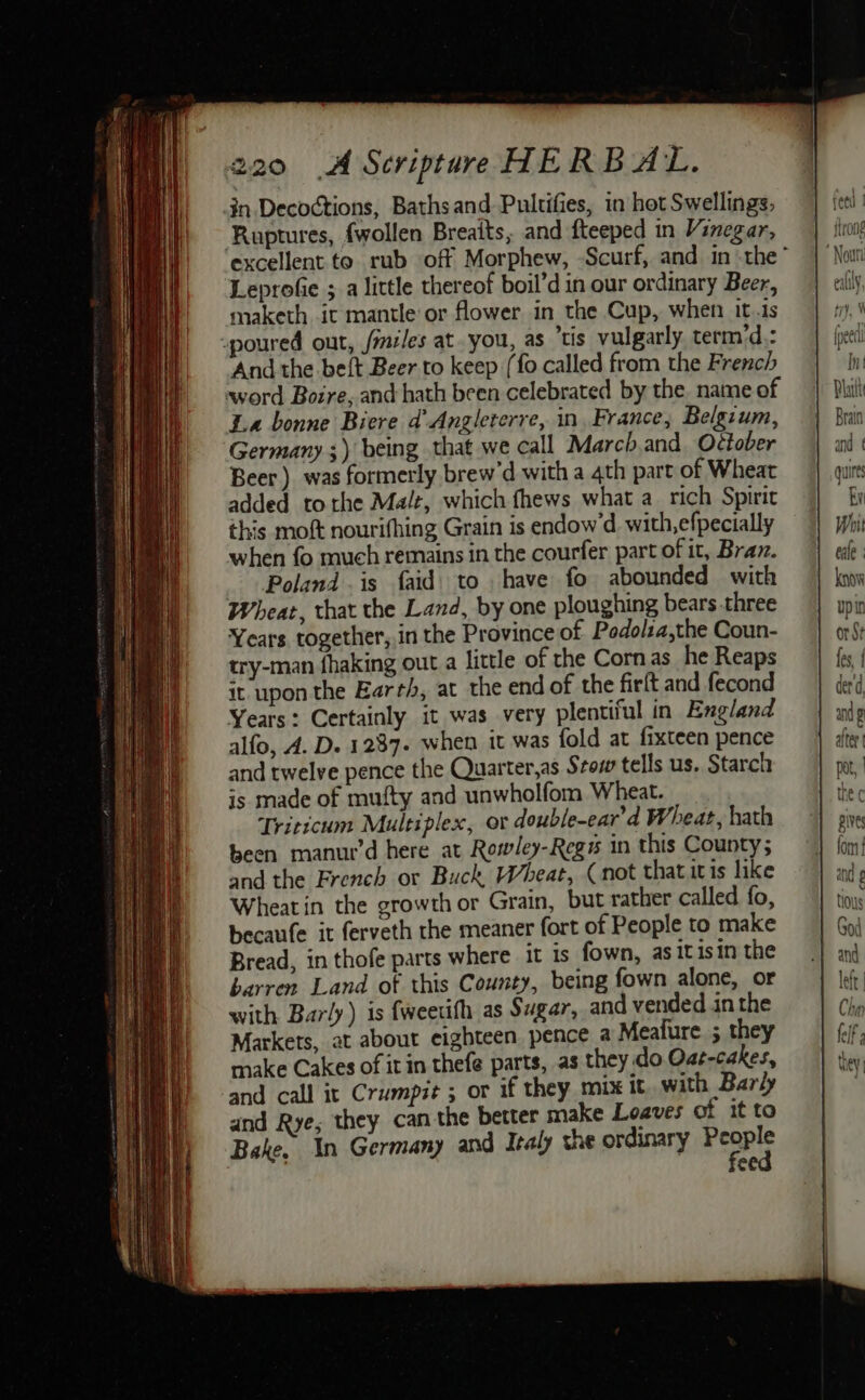 in Decoctions, Baths and Pultifies, in hot Swellings, Ruptures, fwollen Breaits, and fteeped in Vinegar, Leprofie ; a little thereof boil’d in our ordinary Beer, maketh it mantle or flower in the Cup, when it..ts -poured out, /miles at. you, as ’tis vulgarly term’d.: ‘And the beft Beer to keep (fo called from the French sword Boire, and hath been celebrated by the. name of La bonne Biere d' Angleterre, in France, Belgium, Germany ;) being that we call March.and. Oétober Beer) was formerly brew’d with a 4th part of Wheat added tothe Malt, which fhews what a rich Spirit this moft nourifhing Grain is endow’d with,efpecially when fo much remains in the courfer part of it, Braz. _ Poland .is faid) to have fo abounded with Wheat, that the Land, by one ploughing bears three Years together, in the Province of Podolia,the Coun- try-man fhaking out a little of the Corn as he Reaps it upon the Earth, at the end of the firft and fecond Years: Certainly it was very plentiful in England alfo, A. D. 1237. when it was fold at fixteen pence and twelve pence the Quarter,as Seow tells us. Starch is made of mufty and unwholfom Wheat. Triticum Multiplex, or double-ear’d Wheat, hath been manur’d here at Rowley-Regs in this County; and the French or Buck Wheat, (not that itis like Wheat in the growth or Grain, but rather called fo, becaufe it ferveth the meaner fort of People to make Bread, in thofe parts where it is fown, as it isin the barren Land of this County, being fown alone, or with Barly) is fweetith as Sugar, and vended in the Markets, at about eighteen pence a Meafure ; they make Cakes of it in thefe parts, as they.do Oat-cakes, and call ix Crumpit ; or if they mix it. with Barly and Rye; they can the better make Loaves of it to Bake. In Germany and Italy the ordinary Peaple ee