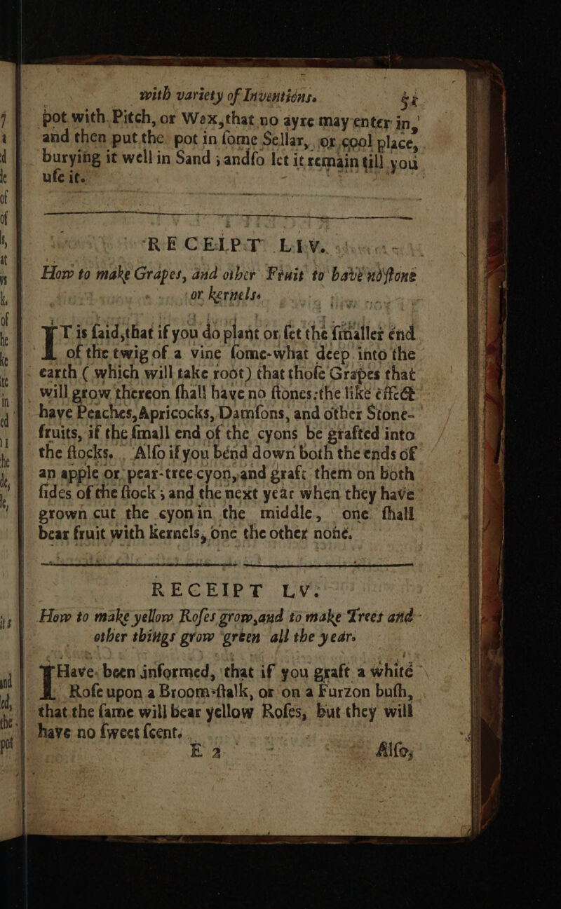 pot with. Pitch, or Wex,that no ayre may enter in, and then put the pot in fome Sellar, or,cool place, ours it well'in Sand ; andfo Iet it remain till you Ute If. : i RECEIPT Lbv. How to make Grapes, and other Fruit to bave ndstone or kernelss ne a rT is faid,that if you do plant ox fet the {mallet end of the twig of a vine fome-what deep into the earth ( which will take root) that thofe Grapes that will grow thereon thal! have no ftones:the like effc@ have Peaches, Apricocks, Damfons, and other Stone- fruits, if the fmall end of the cyons be grafted into the fiocks, . Alfo if you bénd down both the ends of an apple or. pear-tree.cyon, and graft them on both fides of the fiock’; and the next year when they have | grown cut the cyonin, the middle, | one hall | bear fruit with Kernels, one the other noné. r Have. been informed, ‘that if you graft a white - Rofe upon a Broomeftalk, or on a Furzon buth, that the fame will bear yellow Rofes, but they will | have no fweet (cent. |