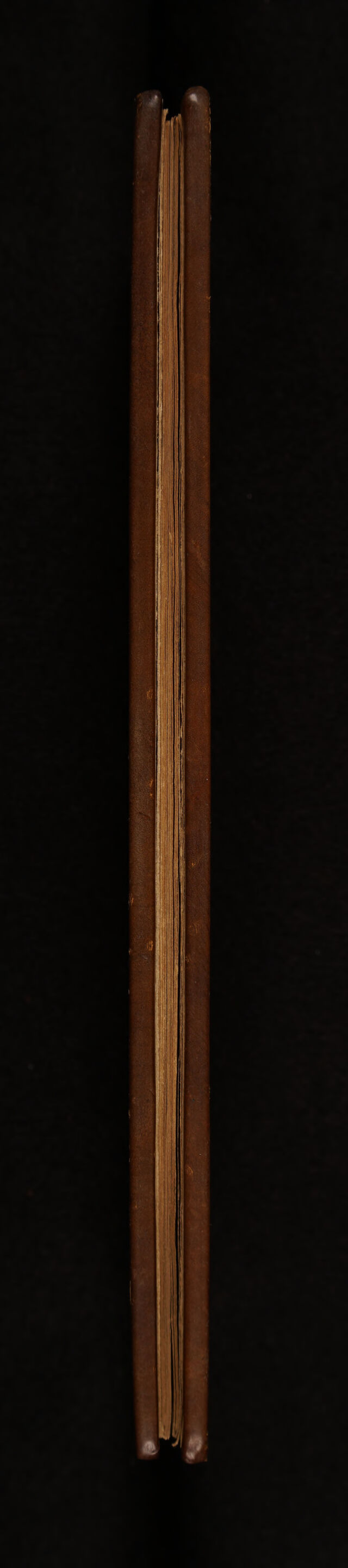 No text description is available for this image