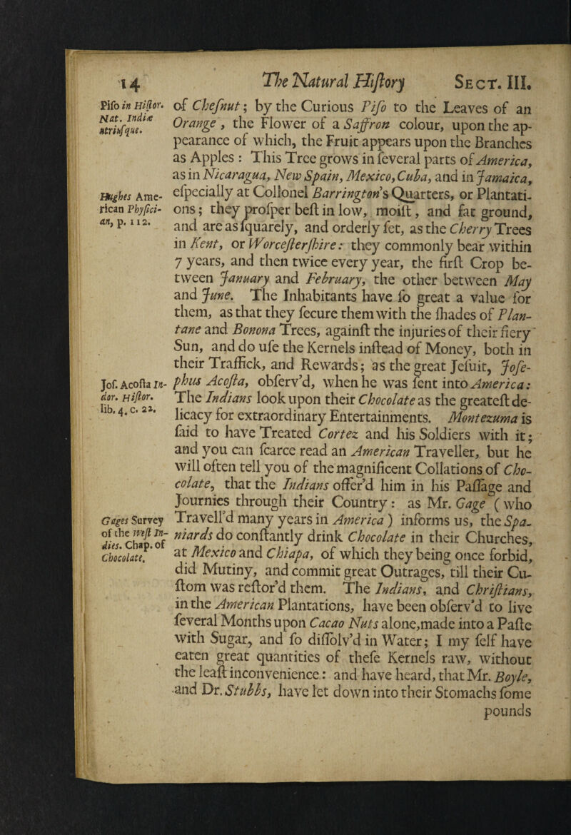 Pifo in Hifior. of Chefnut; by the Curious Pifo to the Leaves of an Mtrkfqu?!* 0ran&e > the Flower of a. Saffron colour, upon the ap¬ pearance of which, the Fruit appears upon the Branches as Apples : This Tree grows in feveral parts of America, as in Nicaragua, New Spain, Mexico, Cuba, and in Jamaica, rnsbes Ame- efpecially at Colionel Barringtons Quarters, or Plantati¬ on pbyfici- ons; they profper bed in low, moift, and fat ground, att) p’112* and are as lquarely, and orderly fet, as the Cherry Trees in Kent, or Worcejlerjhire: they commonly bear within 7 years, and then twice every year, the firft Crop be¬ tween January and February, the other between May and June. The Inhabitants have fo great a value for them, as that they fecure them with the fhades of Plan- tane and Bonona Trees, againfl the injuries of their fiery' Sun, and do ufe the Kernels inflead of Money, both in their Traffick, and Rewards; as the great Jeliiit, Jofe- Jof. Acofta in- fhiis Acojla, obferv’d, when he was font into America: dor. Hip°r. The Indians look upon their Chocolate as the greateft de- 1 .4. c. 22. licacy for extraordinary Entertainments. Montezuma is (aid to have Treated Cortez and his Soldiers with it; and you can fcarce read an American Traveller, but he will often tell you of the magnificent Collations of Cho¬ colate,, that the Indians offer'd him in his Paflage and Journies through their Country: as Mr. Gage (who Gages Survey Travelled many years in America) informs us, the Spa- niar(is do conftantly drink Chocolate in their Churches, chocolate. at Mexico and Chiapa, of which they being once forbid, did Mutiny, and commit great Outrages, till their Cu¬ lt om was reftor’d them. The Indians, and Chriftians, in the American Plantations, have been obferv’d to live feveral Months upon Cacao Nuts alone,made into a Pafte with Sugar, and fo diflblv’d in Water; I my felf have eaten great quantities of thefe Kernels raw, without the lead inconvenience: and have heard, that Mr. Boyle, and Dr. Stubbs, have let down into their Stomachs fome i ' pounds