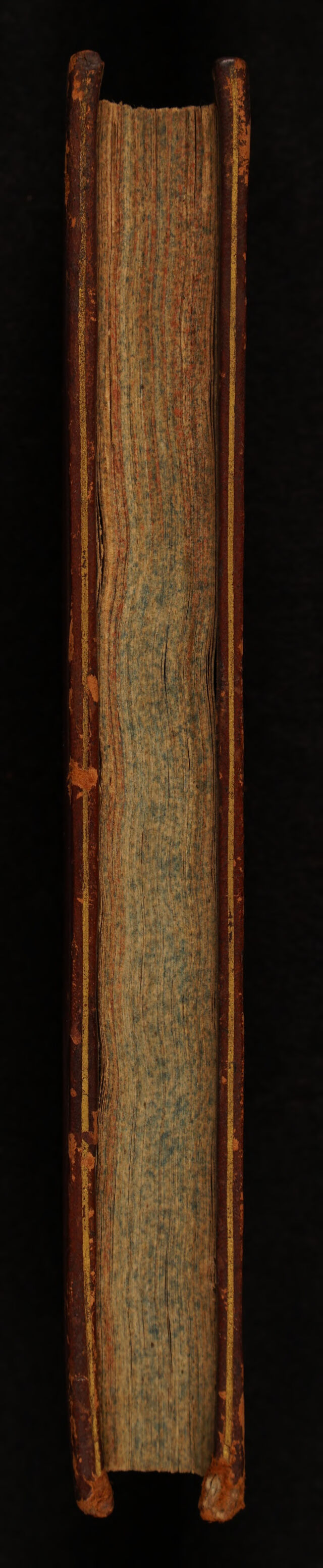 No text description is available for this image