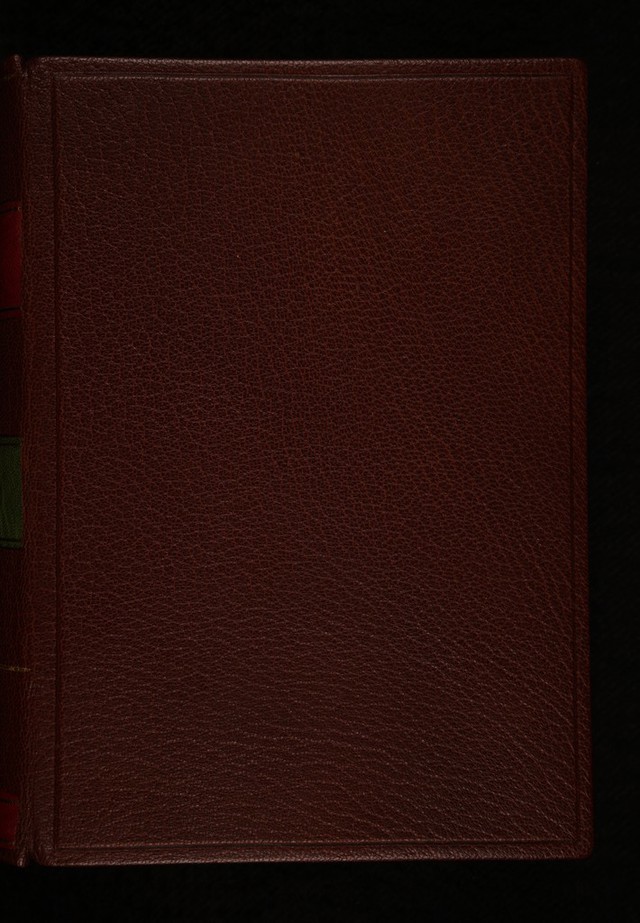 No text description is available for this image