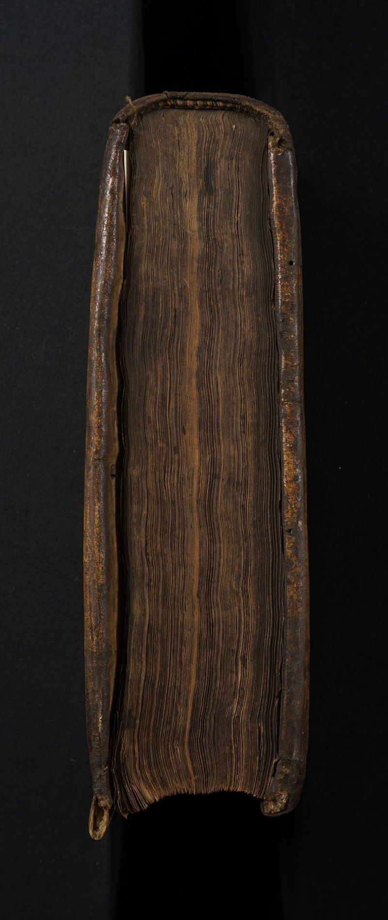 - “ SHORE HNS ~ ot