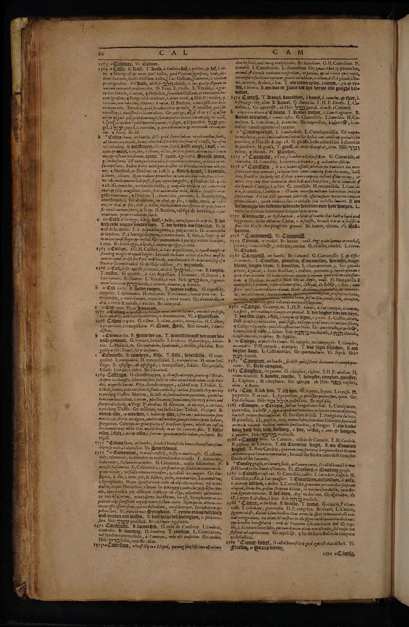 Be PERC RAST 1563 a@alecuer, Vi. Caliuer. as 1564 aCaife, B.ikalf, T.tkalb, 2 Cimbricobal, i. pulcher, o&amp; lef, i. vi ta. q Gorop: of? ee vetus Galle kalba, quod Vitalum fignificat, vnde, ai~ thore Sustonto, Galli: vitellium kalba,(1.at: Galbam, )dixerunt, i, vitulurm propingnedine, Vel tealb, ab Heb: abel! chalab, #. lac, quod pofiquam in vaccam excrenerit redder folet, G. Veau, 1. Viréllo. L. Vitulus, ¢, 4 gre~ ca voce trends, i.taurds, q Hefychio, fecundam Gellium ae varronem bo- nim fignificat, q Fung: vel a viriditate, i, arate viridis, ¢ Sfid: Kel vitulus, 7- vicculas, aut vaccuins, diminut: a vacte. H, Bezérro, nomen fickirinm i ro quem edit, Ternéro, quod fit adbue tener e mollis P. nouilbo, quod ft noucllus, §, nous/fime in lucem editus, Gr: HOT N05 5 WES mer TD Kpacey au ror Ayer UO,quod dum mugit fonum profert pnarticulatum 42, vel Aue, §. C7 yi. quero t qudd matrem quarat, ¥¢ nga, | Etym: Heby bay pnc- gd, y boy gnagal,é. rotvmdus, q.qui orbseulation Gy in rotunde circum{al~ tat. q Auen, Br: Mo. ae ‘ b *Calfes wont, anhearbe, ditt: a femer habeat vituli naribus fimile, ad fanationcs inutile, becaufe the feed of it like the {nowt of a Calfe, byt of ne ofeinheeling. B. kalffinupte, Vi: erym: fupra, Bolet-miupl, a Bal€, +. >#- tales co mupl, §. 05, ori, vofiruim, riclos, propter firtlitudinemints {imn eins c roftrum vitulinum, opatit, T. opant, 4griinfra, Dterch-brant, g.lerba fortis, Eft namque herba adeo fcorpionthus contraria, yt tllice ea vi~ fatorpefcant, Eadem fromi adaliigata praftat ad delendas cewlorwm albuai-~ wes, § Matthiol, is Diofcor: ca. 128. li. 4. ftreich-Bravt, 4 ftretchen, a. linere, allinere. Nam tradwnt perunctos ca cums cleo line vens.fiios sfierts wec vllo medicamento ledi peffe, fi quis appen(wm efter, ¢ Diofcor: lib. 4. ca. «28.°G.mourdén, vel mordn violét, 9. anazallis vieldcta :efi enim herba caule Gy folis anagallidi fimilis, flore autem albe viola, bMebquc [ylué/Prisana- gallisnominatur, q Diolcor; 1. Antirrhino ,anterino, L. Antirthinim, anarthinum,i, Gr: ayrippivey, ex cya) eo piv, i.mafus, naris, ¢ ap pie vor, ex otved &amp; piv, dvds si, nals, narissnomen inde foriita ef? quox femire fit vituli narinm fimils, q Scap: H.Bezérra, cabéca de bezénia,s, capmt vitwlinum : propter rationem fupra. e the Calfe of the lerge, a Belg: hal, i. pulpa, carnofa parsivcorpore, B. het Dick cube mozwe Danbetbeen, T. der waden am {chenckel, G. le mol delajambe. 1.1: pslpadella gamba, i, pulpacruris, H..apaniorilla dela piérna. P.a barriga da perna, s.venter cruris. L fura, 9. forge: qed in majus quah fargat eo crefcat. Gr: yaspoxynal 4 asi'¢,i.venter ctw Kn, ictus. Br: Kréth efeyr, a kroth,i. venter @&amp; efg yr, i. crus, 3565 «@aituer, 1G.H. Calibre, a Lat: zquilibrum, i. eqwall weight fianding waight or equall height : becaufe the boare or hele of a Pecc: muft be enen or cqwall ov elfe the Peece will breake, and thereupon the boare and fire of a Pecce cr Gunneis called G. @&amp; Hil: calibre... Fi: arquebafe, 566 to Call, a Gr: ngrey,i.vocare, ab Heb, by kol, é.>o«. B. roepen, T.ruffen, G.appelér, # Lat: Appellare. I'chiamdre. H, llamar , 4 Lat:clamare. P. chamar. L. Vocare,a vece. Heb: NV— kara, Cognaty- onem babet cum ny karah, #, occurrst, snewrrit, q Auenar. b to Call dacke. B.dyeder reepen, T. wieder ruffen, G.rappdliér, rappelér, I. Richiamare. H.reclamar. P. rechamar, chamar pera tras. L. reclamare, ¢. retro clamare, reuocare, g.retro vocare. Gril VaXaA by eX ave, 1retrd &amp; xaAew,i,vocare, Br:ialw yn él. ‘ 5 6; pri MEAT, Creed whe AYE OF Science , one doth profefje, he is called by, and hath lis addition, or denomination, Vi. a Pgofeion. 1568 Calne or quiet. G. calme. I. cdimo ,quséto, tranquiilo, H.Calmo, agreparlwy,itranquillicas. ¥%. Quiet, SDetll, Brit: dénudd, Tadwel : diffaw, b «Calmect fea. B. Htilte der zee, T. toindftille auf den meer bo= nafle genannt, G.bonace, bonaffe. I. bondcciz. H.bonanga, 4 boni~ tdéte, L.Malacia,z, Gr: patdranle, iuaranss, i. mollis, placidus, Brit: goles ar for: Tawel, fal yr dydymer, c¢ Calmuefle, B.calmbeyd, fille, T. fille , Windftilie. G. tran- quillité. L.rranquéllita. H.tranquillidad. L, tranquiliitas. H. etiam Sof. fiégo. P, affoffego, ab affoffegar, i. tranquillare, fedare. Gr:zaalwy, Eftath: 2}Ada,i.rideo. Br: Ta welweh, ; 1569 Calfraps, G.chaufletrappes, 7. chau/fe-attrappe, powrceqy'ellcs ate srapent les chauffes, tdeo enim funt facli vt tibsa inter ineedendum in is dicie dat, atqueibihercat. Pelq.chaudeattrappe , afubesll trap, I. Tribuli, L. tribuli, drum, quia non funt diffimiles tribulis,i.card xis, becaule they ave like to pricking Thiftles, Murices , fic ditt: ob fimilstudsnem quandam, quam hae bent cum muricibus, i.ettaws , pionctis aewtis feopulorwm, the very points and Sharpes of a Rocke, qVirg: P.abrolhes. H. Abrojos, «é abrojo, i.carduss, a pricking Thiftle. Gr: refGoaot, vox facta a Lat: Tribuli. Viz fupra. B. minch-Hfer, ex minchen, é. ledere ey iffer, i.ferrum : murices enim fant machinule férree tetrdgona, atuleis ex fantibus,quesrt inimici pedes ledant, Sparzumur, Caleraps are great priches of Iron foure Square, which ave caft in the enemies way when they would breake imon the contrary fide, T.fatzs sis 4 fulz, +.pcs &amp; etfen,i.ferrum : quoniam pedes ledunt,vt fupra. Br: yigail. 1570 * Calues foote, anhearbe, foealied becaufe the leanes thereof haue fome lskeneffe with a Calues-foot. Vi. Starchwart. 3571 *toCalummiate, or accufe craftily , falfly or mali tioufly. G.calom- ni¢r, calumniér, faulfeméntou maliticufemént accufér. I. Calonniare, Calunnidre, falfaménte accwfare. 1. Caluminar, acufar falfaménte. P. accufar falfamente. L,Caluminati, i. per frawdem &amp; fuibdolam rationem ali - quem vexdrc, vel falfacrimina intendere , q.callide civcumagere. Gr: dha~ Barro, 2 die, i,inter, per, &amp; Geno, jacio, cuxoparTi@, AcuKePay THs, i. Sycophanta, Hujus Significationss ratio ab alys alia traditur, TO CUK0~ gav'7n, inquit Plutarchus, Tivoue 2n girowesy worulns Wywndru oan atv, eaxorupbwr pale abiivnow enpicey re coxa, ulwovn's xg Oaiyoys ns THs $c ov Tas, ounorarvres emandnray, hoc ef, Sycophantz ex cy- piditate alijs faceffendi negoty nomen fattwm aiunt. Nam quum Athenis ve titum effer efferre fics, quieos deferebant , accufabantque, fycophantz <p. pellati funt, Vi. plura in voce Sypcopkant, T. epnem etwag falfchlich euf-trechen mit wiffen, B. balfchelicbefchuldighen, i. false accu. _ fare, Heb: ey gnafchak, Br: idchwyn:i gybiddo, t57> Cambucke, B.kamer#eck. G. toile de Cambray. I Cambrdi, Cambrata. Br: kambpig, H, Cambrey. T.cambzai. L.Camericum, vel Syndon cameracénfis » 4 Cameraco, vrbe vli conficitur. Gr: owdwr, Heb: VD fadin, »nde Br: sidan, po OR I that he feeth, and lining onely by aire. Br: Kaméliom, G.H. Cameleon. P, Camelea. Y.Cameleonte. L.chamzleon Gr: yaya Aber ,q- pasuus leo, animal cf? dinerfa varietate con[per[um, vt pardus, Gy ad colores quis Videt, conuerfidne facillima variatur preter adrebrum,et albwm,ditl.arcuasi hue mi, interra, &amp;atwy,1.leo. T. ein ratten epder, A ratten, s. ele eps Def, f.lacerta, B. con dic itt Wadia dat Gn berwe alle ganghe bere andert. 1574 Camell, T. Kamel, hamelthier, a batnel, s. camelne, &amp; thier, i. beftia,a gr: ON¢ idem, B. Bemel, G. chamedu. 1. H.P. Camélo. L. Cae mélus,i, Gr: xjuwx@-, ab Heb: Sygyx gamil. idemBrtCammel. ahecpcr or driver of Camels, T. teamei-tretber, i. Camels agitator. Be RBemel-bewarder, i cameli cuffos. G.Chamelliér. 1.Camelaio. H. Cas meléro. L. Camcldrine, i, a camel, Grinapnatrys, axgunr@, i.ca- mélus : cameli agitator vel curator. : ¢ «* Camelopardall, I. Camelopardo. L.Camclopardilis, Gr: nape Aomioduass, qued fimilitudinem babeat het beftia cum camélo ey Ba few panchéra, ¢ Plin:lib.8.cap. 18. G. giraffe,befte refemblant 4 chameiu &amp; panthere. H.givafa, T. grettt, ab Arab-Garaphah, idem. Heb: 44 .zemer, q Hieron. Vi, Wanther. 1575 2* Canerade, 4 Tent, Chamber or Cabinfelow, G. Camerade, ab Camerata. 11, Camarada, Acamera,4 chamber, q, a chamber-fellow. 1576 a* Camifann , % 6 4 fndden a[fanlt, wherein the Sowldiers doe were Shirts over their armours , te know their ovwne company from the enemy, least they fhowld in the darke kill of their ovwne company inftead of the encmy , of wher they take their enemies in their bids and their fhirts > for it commeth of the Spanifh Cami ga, 4. Shirt. G. camifade, H. encamifada. 1. Camifcia dia, acamifcia,iindifium : St enim excurfus militem babentium indufia Soper arma, Pel ita di€k: quomiam fubiti ili affulinefiunt marutine tempore primediliculo , quum inimicos fues in indufijs fins in lech famunt. B eee Sotloopinghe der foldaten hebbende hembden ouer haer acpen, L. excurius militum habentium indufa {uper arma- 1577 Cammocke, or Ref-harrow , a kinde of hearbe that hath ahard and birge roote , of the Ablatine Camo, }. 4 fnaffle, becaufe itis a6 4 fnafflete faie the Horfes that plough the grownd. Br: kamer, olwim. 71. Belts harrom, 1578 * Canunondl. Vi. Camomill 1579 Camois, or crooked. Br: kamm : wade Ang: quite hamme or crooked; foriéa gr: cau 7UAQ, i.inflexus, curuus, G, courbe, courbé. 1. Cirne. Vi. Crooked. ts580 Cainomill, <n hearbe, Br: Camamil. G.Camomille. I. @&amp; Offic: Comomilla, T.Camtilen, ganiiien, Camomillen, Hermitn, mage- biume, langen-biom, B. kamillen, L.chamzmelum ji, Gr: zeke Hraov, a aval, i, humi &amp; ehAsy, i.malum, pomum: g. hwmile poms 2 quia chan.emelum eSt herba referens odorers pomorwm word am odorifere~ rum. @ Diolcor: because it fmels like an Apple, ie. H. Manganilla 2 mang¢ana, i. pomum , cujus odotemrefert, «Dele, ab avOQ-, i. flos : nam flores ¢jus Suaucmreddunt cdorem, Herb: Anthemia chamomile, &amp; camomil~ la, melanthemum , leuconthenmam, diacelaay anthemifiuim, proferpina herba, enclidia, amalocimsmatiomey Wie berba, difins folw,rotula fol, diocallia, pummpron superba quia calcando non potest fapprimi, i. a faeld , where alwaies Campes are pitched. B. Berry er Dan den T. bas feid-taaer, a Celd, i. campo legen, i. j pain k Caftra, dois Dott; a caftri {imilitudine, quod foffa, vallogus quali muro circwsdari folent, q Calep: vel q.cafta : quod sbi caftraretur libido. Gr: PATimddy a op cir G éexercitus &amp; médby,1.folum. Heb: 73) machaneh, 3 nif chanah, §, caflrametari, confidere, Br: Byddin . accampare. P.H.campar , acampar. T. dag lager ichiahen. B. en tegher flacu, L.Caftrametari, Gr: paramdwwe. Vi. fupra. Heb? Tah chanah. nenire. Vi. Rofe-canpton, etiam alcantér, B. kamfer, camfer, ei kampfer, campher, Gamffer, _L. Caphbura , &amp; camphura. Gr: xgoveg. ab Heb: OD copher, idem, g Auen: yopuedo. P.ew pedo. L.égopoflum, g. porufine pérens fmm, queo. Gr: 650 dueyos. Heb: sy Sayyjochelani. Br myf dila. Kwven tion, AxavG-, i. figura apud mathematicos ex late in acutum de inens, sta dict: proprer fimilitadimm, G. Pavilléndelia. I. Padizlione da letto, H. pauellén, 3 L; papilio, dnis, nomen habet fecwndim Ifidorum &amp; parnulé animalis volantis einfdem nominis fimilitudine y q Funger: T. ein binbw hang bmb Dalz beth, furbang, + bor, vel fur, #, ante hangen, i. pendére, Heb: yy™yyQ marbadh, P. piflaro de Candria. T.ein Canarien bogel, B.cen Canarien boghel, L. Auis Canaria, quoniam tran/pertatur 2 regione illain Oceans Ailantico qua Canaria neminatur , becaule the Birdes came firft from the Tlands of the Canaries, Sort found in the Mands of Canary. Vi. Quakers, or Dwaking-graje, Cancellar,caffar,a Lat: quaffire. T.Cancelliren,aufsiefchen,<t aafs, §, extra @&amp; lefchen, i. delere. L.Cancellare,queniam quicancelat {erépriom aliquod, lines iRis, quibss feriptum deletur, in tranfwerfum ducits, cancele~ rum figuram imitatur. B.Yot-deen, Aang: todocout, Gr:tEaacipa, ab éE, Lextra &amp;ddeloa,i.lino. Heb: RY machah, ville, I. Gambare , grancendla. HP, cangréjo. Br: Crank, L. Cancer, Signum calcPe, dicitur a fimilitudine illiine animalis ificut enim cancer cSt ania mal retrogradum, ita etiam fol exiffens in ills figne receditpaulatim declingta que a nofiro hemifphario : ynde &amp; Tropicnm efiuum dictur Yad Tis Tey mms yi. A conuerfione folis, gui twm demum altinus nom afcendst, fed verfa vice Seftinat ad capricornum, Grxogrt)Q-, q Yo: de facto Bofco in comput ecclefiaftico, ® r590 aC Anvly,