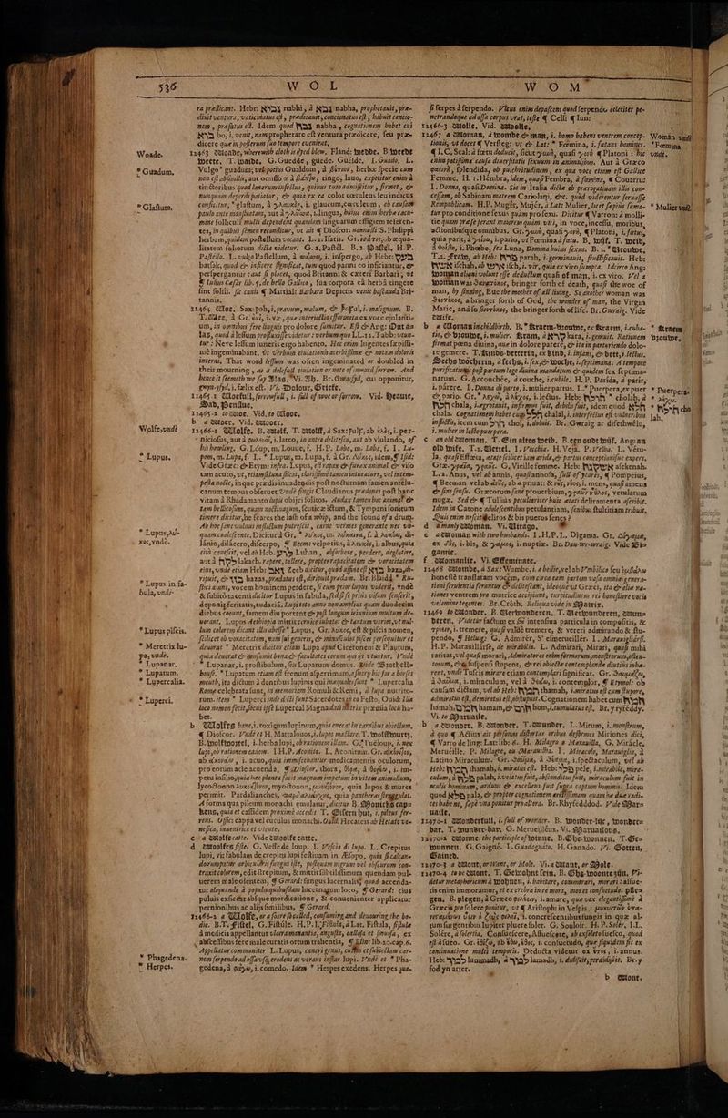 ai e SHEE SS en ' Peiiics 1 oe vit ee. } ice « ) Bs if ii rd : a ' 1} Get (hi if , 5 b] Woade. * Guadum, * Glaftum, Wolfe,wnde * Lupus. * Lupus,du- nos, vnde. * Lupus in fa- bula, vnde- * Lupus pifcis. * Meretrix lu- pa, vade. * Lupanar. * Lupatum. * Lupercalia. * Luperci. * Phagedena. * Herpes. WOL ra predicant. Ucbr: NYY nabhi, 2 Nyy nabha, prophetauit, pre- dixit ventura, vaticinatus eft, predicanit,conctonatus elt , babuit concio- nem , prefatus eft, Idem quod FYQ\ nabha , cogvativnem habet cui ND bo; i, veait, mam propherare eft ventura predicere, feu pra~ dicere que in pofterum {uo tempore evenient, Wweete, T.twaide, G.Guedde, guede. Gudide, I. Gado, Le Vulgo* puadum; vel potius Gualdum , a Bérs0v, herbw {pecie cum non ef abfimilis, aut omiflo 7 a Baz ]o, tingo, lauo, expetitur enim a tinGoribus quod lanarum infedlus, quibus cum adnafeitur , firmet, ex nunguam deperdi patiatur, &amp; quia ex ea color coeruleus feu indicus conficitnr, * glaftum, A yAauxér, i, glaucum,caruleum , ob caufam paulo ante monfiratam, aut AyaAsora, i. lingua, bains enim berbecacu- mine folliculi multi dependent quandam \inguarum cffigiem referen- tes, 17 quibus femenreconditur, vt ait € Diofcor: nonnuili S. Philippi herbam,quidamm paftellum vocant. L.2.[fatis. Gt. iodris,ub equa- lirarem foliorum didta videtur, G.2,Paftél. B.2.gDaftel, H.P. Paftéllo. L.vuloPaftellum, 2 wdase, i. infpergo, ab Hebr: bY batlak, quod e> inficere fiymificat, tum quod panni co inficiantuc, perfpergancur same fi placet, quod Britanni&amp; cxteri Barbari, vt © lulus Cafar lib.s.de bello Gallico , faa corpora ¢4 herba tingere fint folili. fic canit € Martial: Barbara Depictis verit ba/cauda Bri- tannis. T. dee, A Gr} tai, ic ve , que interiettiocfformata ex voce cjulanti+ um, im omnibus fere linguis pro dolore fumitur. Eft &amp; Ang: Dut a= las, quod aleflum profluxiffe videtur : verbum quo LL.12. Tabb: vtun- tur: Neve lefum funerisergohabento, Hoc enim \ugentes {x piffi- mé ingeminabant, vt verbuip eiulationis acerbiffime cx notam doloris interai, That word leffum was often ingeminated or doubled in their mourning , as a dolefisi ciulation or aote of inward forrow. And bence it (eemeth we fay Bag. Vi. Bh. Br.Gwar{yd, cui opponitur, gwyn-yfyd, i. felix eft. Vi. Dolour, Griefe. 12465-1 Cloefull, forvowfull , i. fall of woeor forrow. Vid. Beaute, Dad, Penfiue, 12465-2 towioe, Vid. to Move, b a dloer, Vid. wtooer, 12466-1 Wolfe. B. catolf, T. wolff, 2 Sax:pulf, ab eads, i. per- Niciofus, aut a gwAcva, i. latco, iz antro delite(co, aut ab viulando, of bis howling, G. Loup, m. Louue, f. H.P. Lobo, m. Loba,f, 1. Lu- pom,m. Lupa, f. L. * Lupus, m. Lupa, f. 2 Gr. Avixes, idem,@ Ifid: Vide Grzc: &amp; Etym: infra. Lupus, ef rapax e&amp; furox animal &amp; vilo tam acuto, ut, etiam luna fileat, clari/fime tamen intueaturr, vel intem- pe(ta noéte, inque predis inuadegdis poft nournam famen antelu- canum tempus obferuet.Uudé fingit Claudianus predones pot hanc vitam a Rhadamanto /upis obijci folitos. Audax tamen boc animal &amp; tam bellicofium, quam nottiuagum, (curicz ium, &amp; Tympani fonicum timere dicitur,he feares the lath of a whip, and the found ofa drum. Ab boc fancvulaus infliflum putrefcit , carne vermes generante nec vn- quam coale(cente. Dicitur a Gr. * Av'xos,m. Avxasva, f. A Avxdw, di- lanio,dilacero,difcerpo, © Becm: velpotitis, A Acuxds, i, albus,quia citd canefcit, velab Heb. ry Luhan , abjorbere , perdere, deglutire, auta Ayd lakach. rapere,tollere, propterrapacitatem c» voracitatem eius, unde etiam Heb: NY Zeeb dicitur, quod affine cf YS baza,di- Yipuit, > XW bazas, predatus eft, diripuit predam. Br. Blaidd * Ru- firci aiunt, vocem hominem perdere, fi eum prior lupus viderit, yndé &amp; fubird tacentidicitur Lupus in fabula, fed (2/2 pris vifum fenferit, deponit feritatis,audacia. Lupi toto anno non amplius quam duodecim diebus coeunt, famem diu portant &amp; poft longum ieinnium multum de- uorant. Lupos Aethiopia mitciccermice inbatos Co tantum varios,vt nul lum colorem dicant illis abeffe* Lupus, Gr. Avxcs, eft &amp; pifcis nomen, feilicet ob voracitatem, nam (ui generis, &amp; miaufculos pifces per(equitur et deuorat * Meretrix dicitur ctians Lupa apnd Ciceronem &amp; Plautum, quia deuorat c eonfumit bona cm facultates eorum quiys vtuntur, nde * Lupanar, i. proftibulum, (ez Luparum domus. Wide Brothels boufe, * Lupatum ctiam eff frenum afperrimum,a harp bit for a bor{es mouth, ita dium 3 denribus lupinis qui inequales fant * Lupercalia Rome celebrata {unt, i memoriam Romuli &amp; Kemi, a lupa nutrito- rum. item * Luperci inde dicti funt Sacerdotesiz co Fefto, Quid: Illa loco nomen fecit,locus ipfe Lupercal Magna dati #htrix prx mia locis ha- bet. @ Diofcor. Vade et H, Mattalouos,i.lupos maflare. T. wwolffourts, B. nolfiportel, i. herba Jupi, obrationem illan. G.*Vuéloup, i. nex lupi.,ob rationem cadem. 1.H.P. Aconito. L, Aconitum. Gr. @xdy/or, ab wxovaw , i. acuo, quia immifcebantur medicamentis oculorum, proeorumacic acuenda, @ Diofcor. thora, Opa, A Bopéw, i. im- petu inflio,quia hec planta facit magnum impetum in-vitam animalium, permit. Pardalianches, @apSarsavyns, quia pantheras firaggulat. A forma qua pileum monachi ¢mulacur, dicitar B. Wontcks cap= Kens, quia et caflidem proximé accedit T. Etfern hut, i. piles fer- reus. Offic: cappavel cuculus monachi. Ould: Hecateis ab Hecate ve™ nefica, inuentrice et vtente, lupi, vi: fabulam decrepity lupifeftiuam in Afopo, quia fi calcane dorumpatur orbiculdves fungus ifte, poftquam nigrum vel obfcurum con- traxit colorem, editftrepitum, &amp; mitricfibtillimum quendam pul- uerem male olentem, § Gerard: fungus lucernalis} quod accenda- tur aliquando a populis quibufdam lucernagum loco, @ Gerard: cius puluis exficear abfque mordicatione, &amp; conuenienter applicatur pernionibus ac alijsfimilibus, 9 Gerard. 12466-2 a Wolfe, or a foare focalled, confuming and devouring the bo- dic. B.T. Fittel, G.Fiftile. H,P.1.Fiftula,d Lat. Fiftula, fifule A medicis appellantur vlcera manantia, angufla, callofa et finuofa, ex _ abfceffibus fere malecuratis orcumtrahentia, § Blin: lib.20.cap.6. Appellatur communiter L. Lupus, cancyi genus, cult et fubiettam care nem ferpendo ad offa v{q, erodens ac vorans inflar Jupi. Vnde et * Pha- gcdena,d gayw,i.comedo. Idem * Herpes excdens, Herpes qua- fiferpes aferpendo. Vleus enim depaftens qued ferpend celeriter pe- netrandoque ad offa corpus vat, tefte € Cell: ¢ lun: ¥2466-3 Zatolle, Vid. stoolle, 12467 4 dMoman, 4 wombe ce mat, i. homo babens ventrem concep- tionis, vt docet € Verfteg: vt ¢ Lat: * Fomina, i. fatans bomines. q 1.C,Scal: a foetu deducit, ficut yuh, quafi yor @ Platoni : bic enim potifima’ canfa dinerfitatis (exuum in animaljbus, Aut a Grzco gaein , {plendida, ob pulcbritudinem , ex qua voce etiam eft Gallice Femme, H. 1.Hémbra, idem, quafiFembra, a femina, q Couarru: I. Donna, quali Domina. Sic in Italia ditte ob prarogatinam illis con- ceffam, ob Sabinam matrem Carvolani, ec. quod viderentur feruaffe Rempublicam. HP. Mugér, Mujér, a Lat: Mulier, licet fepins (uma- tur pro conditione fexus quam pro fexu. Dicitur € Varron: a molli-« tie quam pra fe ferant maiorem quam viri, in voce, inceflu, moribus aGiionibufque omnibus. Gr. yuu, quali yori, € Platoni, i, fetus, quia parit, a y<iva, i. pario, vt Fo:minaafats. B, wont, T. toctb, a b018n, i. Phoebe, feu Luna, Domina buius fexus. B.2.* Giroutne, T.2. Frat, ab Heb: FAQ parah, i. germinaxit, fruélificauit. Hebs FWA ifchah, ab (Ay ifch, i. vir, quia ex viro fiumpta. Idcirco Ang: wwoman aligni volunt effe dedudlum quaf of man, i.ex viro. Vel a wWoinan was Saveroxos, bringer forth of death, quafi the woe of man, by finning, Euc the mother of all living. So another woman was SsoTsxos, a bringer forth of God, the wonder of man, the Virgin ies and fo fror6xes, the bringer forth of life. Br. Gwraig. Vide cutife, b « Comanin childbirth. B.* Kraem-broutwe, ex Hraem, i-cubs- tio, &amp; Droulne, i. mulier. Bram, aR 0 kara, i. gemuit. Rationem firmat poena diuina, que in dolore parere, ¢ itain parturiendo dolo- regemere. T,Rinds-betterin, ex bind, i. infans, c bett,t.lectus. Sechs thocherin, 2 fechs, i. (ex,c> woche, i. feptimana. A tempore purificationgs poft partum lege diuina mandatum co quidem {ex feptima- narum. G.Accouchée, couche, i.cubile. H.P, Parida, d parir, i.parere. I, Donna di parte, i. mulier partus, L.* Puerpera,ex puer em patio. Gr.” Aeya, Aatyos, ileQus. Heb: RS>m * cholah, 2 nor chala, i.egrotanit, infirmus fuit, debilis fuit, idem quod NOR chala. Cognationem habet cums Lo5 chalal, i. interfeélus eft vulneribus infliztis, item cum 54 chol, i.dolwit, Br. Gwraig ar difethwélu, 3. mulier in leéto puer pera. ¢ anoldwtoman, T. Gin altes tocib. B.cenoudt tof, Ang: an old iwife. T.2.Gettel. 1. Vecchia. H.Veja, P.Velba, L. Vétu- la, quafi Effocta, etate (cilicet iam arida,e> parts conceptioni{we expers. Gra. ypalia, yeads. G, Vicillefemme. Heb: (YYOUWwN alekenah. L.2.Anys, vel abannis, quvafiannofa, full of yeares, € Pompeius, @ Becman. vel ab eivits, ab @ priuat: &amp; ves, yoos, i. mens, quaf amens ch fine fenfu. Gracorum fane prouerbium, yeeay vOAos, vetularum nuge. Seder q Tullius peculiartter buic etati deliramenta afcribit. Idem in Catone adolefcentibus petulantiam, fenibus ftultitiam tribuit, Quis enim nefcitieliros &amp; bis pueros fenes ? d amanly Mtoman. Vi. Girago, ¢ at@oman with two husbands. 1.H,P.L. Digama. Gr, Aiyeue, ex dils, ibis, &amp; yoepos, i.nuptiz. Br.Dan-wr-wraig. Vide Bia gantic, £ wWomaniie. Vi. Effeminate, 12468 Gombe, 4 Sax: Wambc, i. a bellie,vel ab Vmbilico feu tuldaw honefl2 tranflatam vocem, ciim circa eam partem vafa omnia gener a~ tioni [eruientia ferantur &amp; di litefcant, ideoque ut Grxci, ita ov alie na- tiones ventrem pro matrice accipiunt, turpitudinem rei Loneftiore vocis velaminetegentes. Br.Croth, Reliqua vide in Matrix. 12469 toCwtonder, B. Werimonderen, T. Weripunderen, eetuna Deven, idetur fattum ex 6¢ intenfiua particulain compelitis, &amp; Tptely, i. tremere, quafi valde tremere, &amp; yereri admirando &amp; ftu- pendo, § Helwig: G, Admirér, S’ efmerueillér. 1. Marauigliérfi. H.P. Marauillarfe, de mirabilia. L. Admirari, Mirari, quaf mihi raritas vel gaff morari, ddmiratores enim formarum,monftrorum,ofien- torum, Cr@iufpenfi hupent, c&amp; rei obiette contemplande dintins inbe- rent, unde Tufcis mirare eciam contemplari fignificat. Gr. Sanaa, a Sadus, i.miraculum, veld Seale, i. contemplor, J Etymol: ob caufam di@am, vel ab Heb: WYQH thamah, imiratus eft cum flupore, admiratus eft, demiratus eft obftupuit. Cognationem habet cum abl | hamah; QR hamam,c&amp; Dy hom, i.tumulatuseft, Br. y ryfeddy. Vi. to MWaruatle, b aeutonver. B.atonder, T.@tunder, L. Mirum, i. monfrum, a quo @ Adius ait per fonas diftortas oribus deformes Miriones dici, @ Varro de Jing: Lat: lib: 6. H. Adilagro @ Marauilla, G. Miracle, Meruéille, P. Milagre, o« Marauilhs. 1, Miracolo, Maraniglia, 2 Latino Miraculum. Gr. Sadua, 2 dizuz, ifpefaculum, vel ab Heb: Yy¥gy thamah, i. wiratus eft. Heb: *St pele, i.mirabile, mira. culum, a est palah, i.velatus fuit, ab{conditus fuit, miraculum fuit in oculis bominum, atduus &amp; excellens fuit fupra captum bominis. Idem quod Noh pala, &amp; propter cognationem arftifimam quam he due vadi- ces babe nt, fepée vma ponitur proaltera. Br.Rhyfedddod. Vide Mar= uaile, 12470-1 Botonderfull, i. full of wonder. B. wonder-liic, wonder= bar, T. nunver-bar, G. Merueilléux. Vi. Maruatlous, 12470:2 dutomnne, the participle of inne. B.Ghe-iwonnen, T.Ge= tounnen, G.Gaigné. 1.Guadagnato. H.Ganado. Vi. Gotten, Gained, : 12470-3 a @lomt, or Want, or Mole. Vi.a Mutant, or Mole. 12470-4 tobezutont, T. Oewobnt fein, B. Ghg-iwoente sin, P- detur metaphoricum a yoobuert, 3. babitare, commorari, morari: aflue- tis enim immoramur, et ex crebra in re mora, mos et confuetudo. phe gen, B. plegen, a Graco giAée, icamare, que vox elegantiffime a Gracis profolere ponitur, vt ¢ Ariftoph: in Vefpis puxuITay tra~ visepevey very 6 Ceds prac, 1. concrefcentibus fungis in que al- tum furgentibus lupiter pluere foler. G. Souloir, H. P.Solér, 1-L. Solére, a folertia, Confucfcere, Afluefcere, ab exjaletofuefco, quod eft afueco. Gr. ebi2a, ab ee, ees, i. confuetudo, que fiquidem fit ex continuatione multi temporis. Dedudta videtur ex €7o¢, i. annus. Heb: ya lummadh, 4yyQd lamadh, i, didiftir, pordidifit. Br.y fod yn arter. , b ont, Womiin end! - *Foemina | i , Unde. © * Mulier unde)