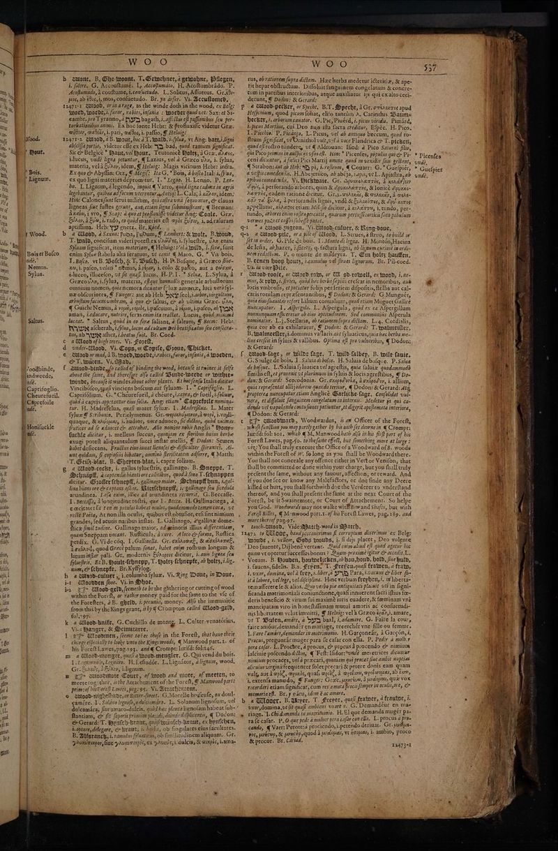 Lis Paty an ge Ne Mpcius, Famens twang , \ Aa) Wiad, (hp bane ene lié tte fe UNI mina 5, &amp; fue anit ihe syne TO Gatttlh Ne fe fi int A ) 4a yok moe quid 1 fi tk gnu , bY gga y Hout, | Bois. Lignum. it Wood. | Bois et Bofco nde.’ | Nemus. | Sylua. Voodbinde, lindweede, vide. 'h Cheurefueil, oo.c¢0 hry LW? Oe O i. folere. G. Accouftumé. I, Accoftumato, H.-Acoftumbrado. P. * Acoftumado, 4 couftume, t.con/uetudo. L.Solitus, Afluetus. Gr.¢4i- p40s, ab fos, mos, con{uetudo. Br. yz arfer.. Vi. Accuffomed, wooed, iwocde,7. furor, rabies, in[ania : Sooeder quod vet: Sax; et Si- eambr. pro Tyranno, 4 yyy bagath, i. affects eff paffionibus fom per- turbationibus anim. Ex hoc fente Hebr: &amp; profluxiife videtur Graz. aitely, eit, i. pati, wees, i. paflio, J Heluig: abjcifja portio, videtur efle ex Heb: “Ya bad, quod ramum feaificat. Sic &amp; Belgice * Baut,vel Bout, Teutonicé Bolts, a Graz. cages, ilucus, unde ligna petuntur, € Lazius, vel a Greco vas, i. fylua, materia, vel a EvAoy, idem, J Helwig: Magis vicinum Hebr: infra. Ex quo ¢ Abyflin: Owz, F Megif; ItaG, * Bois, 4 bofcoltal: 4 fp'ua, ex quo lignimateriesdepromitur. I.* Legzo. H. Lenno. P. Lert- ‘bo. L.Lignum, alegendo, inguit. € Varro, quod ligna caduea ia agris legebantur, quibus ad focum vterentur Antiq: L. Cala; A xzaov, idem. Hine Calonesfunt ferui militum, quicaftra una fequuntur, &amp; clauas ligneas fiwe fultes gerunt, aut, etiam ligna (ubminiftrant, { Becman: Axalw, i vro, Y Scap: a quo.et profluxiffe videtur Ang: Coale, Gre. aptiffima. Heb: YY gnetz. Br. Koed, T. {foald, concifum videri poreft ex va@d’es, i. fylueftie, UAW enini Syluam fignificat, item materiam, € Heluig: jel asotid, i. fere, funt enim Sylwe {tabula alea terarum, vt cqvit € Maro, G. * Vir bois, I. Bofco. veB. Walch, &amp; T,. Butch, H.P.Bofque, a Graco bac- x, 1. pafco, velut “ nemus, dytue, i,colo &amp; sore aut a oeoxw, i-luceo, illucefco, vt fit quafi lucus. H.P.1. * Selua, L.Sylua, a Grecovan, i.fylua, materia, efque nonnullis generale arbufterum omnium nomen, quia nemora dicuatur {v lux amoenz, luci vero fyl- ux obf{curiores, Y Funger: aur ab Heb: Say feel, z.arbor,virgultum, arbuftum faciens umbram, a quo ex faltus, ex ab ultima Grec- van, q Guich: Nemus, a voyit, voy2ds, i-pafcuum, a vena, i-pafco, ab PAN aman, t.educare, nutrive, feras enimita tratiat. Lucus, quod minime luceat. * Saltus , quod in eo fere faliant, 4 falreum, J Becm: Heb: ts, ab\YYINs ather, i.beatus fuit. Br. Coeds a Wood of high trees. Vi. Forek, vader-Tlood, Vi. Cops, o Copife, Oroue, Thicket, CUto0Dd or mad, AB. wooed, Wwoede,1.1abics, furor, m/fania, a Sooeden, eT wouter. Vi Bad, Ai0d-binde,./o called of binding the wood, becanfe it twines it felfe about the fame, and therefore alfo called Winde-Weede or Wwithie= Wwinde, becau/e it windesabout other plants. Et hocfenfulralis dicitur Vincibdfco,qyafi vinciens bofcurp aut fyluam. 1. * Caprifoglio. L. Caprifélium. G.*Cheurefueil, a chéure,i.capra, e&amp; fucil, i.folimm, quad a capris appetantur eis folia. Ang: etiam™ Caprefotle nomina- tur. H. Madrefelua, quai mater fylux. 1. Adadrefilua. L. Mater fylue @ Scribonio, Periclymenus: Gr. wepixavyevoy,a wepl, i.vndi- quaque, &amp; xAvouas, i. audior, woceaduoco, fic diltus, quod vicinas frutices ad (e adnocet c atirahat, Alio noimjne nobis Anglis™ PBonp= fuckle dicitur, i. melleus fuccus, quomiam ex floribus buius berbe exugi poteft aliquantulum fucci inftar mellis, @ Dodon: Semen babet deficcans. Fruétus eins inuat lienofos é difficulter fpirantes. Ai- unt auidain, fe copiofiis bibatur; omnino flerilitatem adferre, € Matth: T. Geih-viat. B. Ghepten-blat, i. capre folium. Deyudp, a captandis hianti ore culicibus, quoda fonoT.Cehnappen dicitur. Grofler (chuepf, i. callimaco maior. Dcbnepf hun, z.gal+ lina hians ore é captans efeas. Wietichueplt, 1. gallinago feu ficedula arundinea. L</a ewim, illice ad avundineta recurrit, G.Beccafle. I. Reccaf[a, Atongitudine roftri, que 1. Becca. H. Gallinaciega, a caecitate: lic ten m patulos habeat oculos,quodammedotamen ceca, vt rece Poeta, Atnonilla oculis, quibus eft obtufor, erfi int nimium grandes, fed acutis naribus inflat. L.Gallinago, @ gallinz dome- fticxe fimil'tudine. Gallinago maior, ad qminoris illius differentiam, quam Sneppam vocant. Rufticula, dure. Aloco ep forma, Ruftica petdix. G.Videcog. 1.Gallinella. Gr. exdrowak, &amp; danrromek, Jaxsast, quod Grece palum fonat, babet exim roftrum longum &amp; Iatum infiar pali. Gr, modernis Evaopves dicitur, 3. amis liguea few fyluefivis, EtB. Woult-fehnepp, T. Holts: {chnepfe, ab hots, 7.lig- num, er tchnepfe, Br. Kyflylog. h 4 @oteod-culuer, i.columha fyluz. Vi. Ring Doug, m Doue, i-t Woovden fhoe. Vi.in Dbhoe, i> I G> Good-geld, feemeth zo be the gathering or cutting of wood within the Foreft, or rather money paid for the fame tothe vie of the Foreftets, 2B. ghelb; 7. pecumia, money. Alfo the immunitie from this by the Kings grant, 4by ¢ Crompton called Kood-geld, fol.197. ne k a aitood-bnife. G.Cuchillo de montg. L, Culter -venatorius, Vic Manger, &amp; Hcimitarre. i 1-1 Wlooomen, (eeme toltee thofe in the Foreft, that haue their chavge expecially to looke unto the Kings woods, € Manwood patt. i. of his ForeftLawes,pag.193. and @ Crompt: lurifd: fol:146. ; m a4 itood-monget, quali athood-mengler, G. Quiyend du bois. I. Leonarvolo, Leendro. U-Lefiadér. L,Ligndtor, alignum, wood, Gr: Zunes, AEvacy, idignum. © | wn (> wioorutete Court, of Mnood and inote, of meeten, to mectetogether, #the Arrachement of the Foreft, J Mamwood parts \ primzof bisToreft Lawes, pag: 95. Vi. Btracherment, © wiood-nightthave, or Bitter-(weet. G.Morelle boifeufe, ou doul- gamére..1. Solana legnofo, 0 dolciamara. L. Solanum lignofum, vel ftantiam, o&amp; fit aporis primiin placidi, deinde displicents, @ Docon: e> Gerard: T. Bynfeh-brant, quafitwuafch-braut, ex bynfichen, i.optare,delegare, ec» Braut, i. herbz, ob fingulares cius facultates. B. Mlfsranck, 7. ramulys filuaticus, ob fimi licudinem aliquam. Gr. yrunvainpoy, fine yavurmixpis, ex pavils, i-dulcix, &amp; WIXpss, Lama- WOO. fit hepar obftiuctum. Diffoluit fanguinem congelatum &amp; concre- tum in partibus interioribus, atque auxiliatuc 18 qut ex alto ceci- derunt, Y Dodon: &amp; Gerard: P 4 Chlood-pecwer, or Specht, B.T. Hpecht, a Gr. orercuzes apud Hefjchium, quod picem fohat, elifo tantim A. Carinthis Baume becker, /. arborum cauator. G, Pic, Piuérd, i. picus viridis. PimArd, 1. picus Martius, cui.Deo auis ifta facra creditur, Efpéc. H. Pico, 1. Puchie. P. Picango, L.Picus, vel ab antique beccum, quod ro= ftrum fignificat, vf Ornichol vult,v+l a voce Flandrica &amp; T. picket, quod eft roftro tunderg, vt ¢ Aldrouan: Ified: @ Pico Satuni flio, gut Pico primus in auspicys ufus ef. Este * Picenfes, populus qui c Pi- cenidicuntur, a felici Pici Martij omine quod im vexillis [itis gestant, @ Strabon: aut ab Heb: 9% pi, i.voflrvm, € Couarr; G.* Guefpier, 4 velpis comedentis, H,Abcyertico, ab abéja, iapis, ut L.. Apiaftra, ab apibus comederdis, Vi. Bickwate. Gr. Apuororamris, a nord ]ery devs, A perforando arbores, quin &amp; ApuxoAamrns, &amp; lonicé dipuxne- Aanris, cadem ratione dicitur, Gr.2.aersnas, &amp; @erexay, A were xd Te SUAz, a pertorandis lignis, vnde &amp; Evaoniaros, &amp; dipu’-norog appellatur, xsreeos etiam Milc/io dicitur, a xeAa77®, i, tundo, per- tundo, arbores enim volirapercutit, quarum percufficorticis fono pabulum vermes pusact cogos fubelfe putat. Gi * a wioOB-Pigeon. Vi. Votood-culuer, &amp; Ring-doue, q-2 4 GWood-piie, ora pile of Mieod, L.Strues,a ftruo, tobuild or fetin order. G. Pile de bois. 1. Monte di leona, A. Montén,Hacina de lea, abhazer, i.facere, q. factura ligni, ob licnwm curiose in ordi- nemredattum. P, omonte de madeyra. T. Ein holt hauffen, B.eenen hoop bouts, z.cumulus vel firues lignoram, Br. Pil-coed. Uke tx voce Diie, mits, &amp; row, i. feries, quod bec berba fepins cfefcat in nemoribus, awd locis vmbrofis, et potiatur folijs per f{eriem difpofitis, ftellis aut cal- carisrotulam reprefentantibus, Y Dodon: &amp; Gerard: G.Munguét, quia ius fisauitas vefert Liltum conualium, quod etiam Muguet Gallicé nuncupatur. 1, Aspergola. L. Afpergula, quod ex ea Afpergillum nonnunquam efficeretur ub eins aptiudinem. Sed communins Alfperula nominatur. L.3.Stellaria, ob rationem {upra diftam. L.4. Cordialis, quia cor ab ea exhilaratur, Y Dodou: &amp; Gerard: T. tpoalmetticr, B. toalmeetter,i.dominus vallaris aut fyluaticus,quia hec berba me- linus crefcit in fyluis &amp; vallibus. Optima eft pro vulneribus, € Dodon: &amp; Gerard: {. Wood-fage, or Wilde fage. T. wild-falbep, B. tilt Cauie, G. Saulge de bois. 1. Salwia dt bofce. 1. Saluia de bofque. P.Salua de bofque. L.Saluiafyluatica vel agreftis, quia faluie quodammodd fimilis eft, et provenit vt plurimum in fyluis &amp; locisagreftibus, @ Do- don: &amp; Gerard: Scorodonia. Gr. cxopedoviz, A oxopod oy, i, allium, quia reprefentat alli} odorem quando teruur, € Dodon: &amp; Gerard: Ald, . propterea nuncupatur ctiam Anglicé ®arliche-fage, Confolidat vul- mera, et diffoluit Janguinem congelatum ininternis. Medetur ¥S gui Ca- dendo vel vapulande contufiones patinntur et digerit apoftemata interiora, @ Dodon: &amp; Gerard: t (> Whosdiward, Woodwardus, i ax Officer of the Foreft, whofe funtion you may partly gather by bis oath fet downein € Crompr: Iurifd: fol: 201, which € M. Manwood hath alfa in bis firff part of bis Forcft Lawes, pag.go. ta thefame effect, but fomething more at large : viz: You fhall truly execute the Office ofa Woodward of B. woods within the Foreft of 7” fo long as you fhall be Woodwardthere. You fhall not conceale any offence either in Vert or Venifon, that fhall be committed or done within your charge, but you fhall truly prefentthe fame, without any fauour, affeGion, orreward. And if you doe fee or know any Malefators, or doe finde any Deere killed or hurt, you fhall forthwith doe the Verdererto vnderftand thereof, and you fhall prefentthe fame atthe next Courtof the Foreft, be it Swainemote, or Court of Attachement. So helpe youGod. Woodwards may not walke with Bow and Shafts, bur with Fore/t Billes, € M-nwood part.t. of bis Foreft Lawes, pag.189. and more thereof pag.97. Vv touch-waised, Vide Watch-woodin Match, 12472 to Wl one, band peccancrimus f corruptum dixerimus ex Belg: wwoude , 7. vellem, Gods inouds, i. fi dijs placet, Deo volente “Deo fauente, Dijbené vertamt. Quid enim alind eft quod agatur hic gquana vt optetut {ucceflus bonus? Duam-proxime igitur C accedit.L, Votum. B. Bouden, houwelicken,ab hou,boud, bold, five bulb, i. fauens, fidelis. B.2, $rpen. T. ffreveu,quaé frainen, 2 fratp, i, uxor, domina, vel a frep,i.liber,a SOE Para, t.vacuus cr liber fi- it a labore, vel lege, vel difciplina. Hinc verbum frephen,i. im liberta- temafferere fe &amp; alios. Duo verbo pie antiquitats placuit utiin figni- ficanda matrimoniali coniun@ione,quaft innuerent facri iftius foe- deris beneficio &amp; virum fui maximé iuris cuadere, &amp; feeminam yni mancipatam viro in honefiffimam mutui amoris ac confuetudi- nis lberratem velutimraitti, Y Helvig: vel’a Greco épadv,i, amare, vt T.Wulen, amare, a Syry baal, 7,adamare. G. Faire Ja cour, faire amdur,deinandér en mariage, recerchér yne Alle ou femme. 1. Fare Pamore demandar in matrimonio. H.Gargonear, a Garcon, i, Procus, preguntar muger para fe cafarcon ella. P. Pedir a molb.r pera cafar. L. Prochre, a procus, @&amp; procusa procendo &amp; nimium la(cinie pofcendo difius, @ Feft: [fidor:*undé meietrices dicuntur nimium procaces, vel @ prxcari, quoniam qut procet fine ambit nuptias alicuins virgins frequenter folet precari &amp; petere donis eam A ce vult, aura @poC, aeoxds, quali mpot, A aweotare, wpotarepzas, ab bare, i, extenfamanudo, § Funger: Groec, uynssum, a uvetoprelt, quae VOX recordari etiam fignificar, cum res amata procisfemper im octlis,ove, Cm memoriaet. Br.y aru, idem ¢ ac amare. 5 b a Ulooer, B.irver, T, Frever, qua/i fratner, 4 fraulne, 7. uxor,domina,vt fit quafi ambiens vxore 2. G. Demandéur en mae riage. “1. Chi domanda in matrimonio. H. El que demanda muger pa- rafecafar. P.O-que pede a molber pera cafar con ela. L.procus 1 4h cando, @ Varr: Perott:4 prociendo, i.petendo deriuat. Gr. uy [Ase yos, pwncep, &amp; ArHSTIP»quod d paretopial, VE NTOMedy Le ambio, proco . Br. Cariad, &amp; procor 12473°1 . unde, wnde. ca