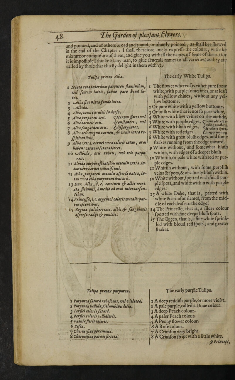 ) 4.8 ( The (garden of pieajant^f lomrs. \ and poin£ed,and of others broad and round, or bluntly pointed, as4hall bee Hiewed in the end of the Chapter VI Hialf therefore oncly cxprelTc the colours, with the raixmrcor cotripofure of them, and giue you vvithall the names of fome of them, (for itisimpolfiblelthinketdany man,to giue fcuerall names to all varieties)as they are called by thofe that chiefl}^ delight in them with vs *' _ Tnlipa Alba» I Niued t9td hterdum futrpureii vel fkitem lateu, fu»d§ fnro k»ud In- te0» I L^lbafwe mftea[undo Uteo* j v,4lhuit, 4 4iydt venk cdruleis in dorfo, y Albdpurpttreis ork» Cffdrttm fibres vel 6 AlbACdrneu^oru. ^cnHantes , vei 7 Atba finguinek $rk, (^dtfpergentes, 8 Alba ork magnk carfifk^ & venk intrt re- Jpicientibm, g Alba extrdt carnet vero celorU intm, or as hsbem earneas fatHratiores, 10 LAlbida, ork r/tbrkf vel ork pnrpth rek^ II Albidapirpurajitentibue maculk exth,in- twvero carnet vktacifsimL 12 Alba^purpurek maculk afperfa extra,in- tut vero alba purpurantibue ork, 13 Dux Alba, i, e, coceinek ^albis vari¬ ate jUntmis^amediOadorni interenrfan- tibue. * if - E4 Princejja, i,e. argent et coloris maculk pur- pur ajeentibui, * 15 Regina pulcherrima, albis(^ Janguikiis afperfarad^t^pun^is. |. The early White Tulipa. /fi' 1 Thie flower whereof is either pure fnow white,with purple fomctimcs,or atleaft with yellow chiucs ^ without any yel¬ low bottomc. 2 dr pure white with a yellow bottome. 3 Or milk white that is not fo pure white. 4 White with blew veines on the outflde. y White with purple edges. rSomcoftWe*- d WhiteVith blufh edges. 7 White with red edges. C‘i‘»g‘>rrunning. 8 White with great blufh edges, and fome ftrakes running from the edge inward. p White without, and fomewhat blulh within, with edges of a deeper blufh* 10 WhitifhjOr pale white with red or pur¬ ple edges. 11 Whitifhwithout, with fome purplifh veins & rpots,& of a liuely blufh within. 12 White without,fpotted with fmall pur¬ ple fpots, and white within with purple edges. 13 A white Duke, that is, parted with white & crirafon flames, from the mid¬ dle of each leafe to the cdgCy l4The Princcfre, that is, a flluer colour fpotted with fine deepe blufh fpots. i 5 The Queen, that is,a fine white fprink- Icd with bloud red fpots, and greater firakes. Tulipa pracox pUrpurea^ 1 Purpureafatura rubefcens,vel •kioUteik 2 PurpureapaBida,Columbina di^a. Per fid colorisfaturi, 4 Perfici coloris tsUidioris, ^ Paortiafork coloris t pi Pofea, , ^Chermfjiudperamana, kchermefiudpdrHinJlriaUl The early purpleTulipa. IA deep reddifh purple,or more violet. 2 A pale pur pic,called a Douc colour. 3 A deep Peach colour. 4 A paler Peach colour. y-A Peony flower colour. 5 ARofecolour. 7 A Crimfon Very bright. 8 A Crinifod flript with a little white.’ 9 Pr incept.