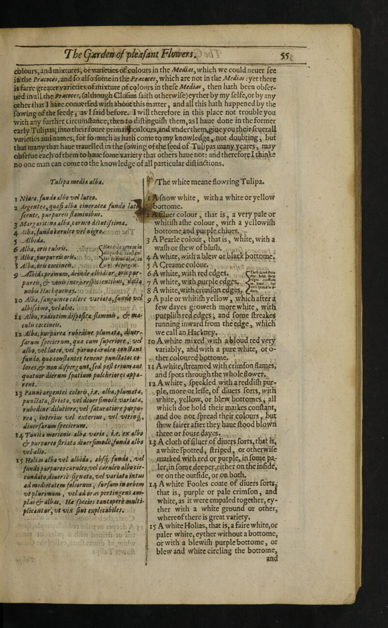 _ - -I — - ■ ... ■■ >-■ I ^ ^ I I ■■ II ,1 ,1 . cblours, iad-mixcuresi or'varicdcsofiCQlours ia the which we could neuer fee iii'riie Pr4«:ffw, and fo alfoifotncin \\k]dr^c«ces^ which are not in the Medias; yet there isEirre greater variecics:o£ih:ixture pf colours in thefe Mediae, then hath been obfer- ued in all the PrMoces, Caltbough Gliiiius faith othenvirc)eyther by my felfc,or by any otherihat’l h&ne coimer&dwith ab6ut this matter, and all this hath happened by the rowing ofthefcedejaslfaid before, iwiljl therefore in this place not trouble you with any further circumiiaacej'thendQ diftinguifh thcm,aslhaue done in the former early Thlip^ into theirdbure primai^fxjolourSjiand vndettheipsgiue you their fcuerali varieties andinames, for fo much as hatti come tp my knowledge ,ttiot doubting ^ but that many:that hauc trauellcd in the fowling of feed of Tulipas manyy^ares, may obfetue each ofthem tohauc fomcivaTiety that others haiie not: arid therefore I thinks no one man can come to the knowledge of all particular diftiri<5tions. Tvlipa ntedii 1 ’Nma^fundt dho vel luteo, 3 Argefitea^fluaftdbd cinerdea fundo lutm feente^ furpareisfiamimbm, ^ 5 M^rgaritiftA dba^cdrneo dilatl/simd, ^ 4 Aibsyfjihdo txrdco vclnigf9»\ , :ir-T 5 '^dbida. 6 Alba, oris rubris, .>■‘‘rr « ^ Alba^purpHroU.OrUt:. '\ier itnent-iia*^iii. ? Alba, Oris eouineh, •:, . i • dpergufi:. 9 '^^dtbidsp/rimHm,deikdtalbidiof^oritf^~ fureis^ & vtnis intr)hrtjf iGtenttbftsf ddl9^ nobis liackquenay.,'^} rh 10 Albs, fangitineo colore varUta^fiffi^vcl dbifiimo^velalto, 'luq.'' i i Alba,fxdisnmdfpo^\t^.fiammU, e^»4- ctsliicoccineis, f 12 Alba,parpttrea rubedifse plssmat^Muer*^ farnm fpecierttm^qua cum JuperiorditiVel dbo, vcl luteo, vei paruot^^rdeo, con Bant, furido, tpuaconflinter tenent pun6iAtos co- loreSy&noB di/pergant^fed pofi triumaut quatuor dierum fpatUm pdehrioreA appa¬ rent. ■■■'■ ’’A . . L. 13 Panniargentei colorisJ.e. albayplumaia, punclata^ftrista, vel diuerfimode vAriata, rHbedini'dtlutiOTe;vel fat ur at tore purpur rea, interius vel exterim, vel vtrinf^, diner far umfpecierum. t/^Ttsni'eamorionu alba varia, i.e, exalbo purpureoflriata dinerfmode^undo albo •oeldio. 15 Holton alba vel albida, abfj^ fundo, vel Jnndo pftrpureo caruleo/vel earuleo albo tir- (undato,dtuerse fignata, vel variata intus ad msdietatem foltoram, furfum in orbem vt plurimum, vel ad or as pertingens am- plus dr dbas, Ha fpecies tantopere wdti- plieantur\vt viX fnttxpHcibiles, 4 ‘ ' ■*’ /The white meanc flowring T ulipa. I A^fnow white, with a white or yellow ^roottome. ^al^Pfiluer colour, that is, a very pallc of whidfhaflie colour, with a ycliowifli bottome.and,purplc chiueSv, 3 A Pearle colour, that is, white, with a wafli or (hew of blufli. ^ ^ 4 A white, with ablevv or black bottoW; 5 ACr^amecoilonr. . , , 6 A white, with red edges. 7 A white, with4\urpie edges-. 8 A white,with crimfon edges? P A pale or whitilh yellow, which after a fewdayes groweth more white, witli pucplilh red edges i and forae ftreakes running inward from the'edge, which wc call an Hackney, .■ . • ro A white mixed .with abjoutl rcdyer?[ variably, arid with a piirewhite, bro- .ither coloured bpttome. I II A.white,ftreamed with crhnfon flanxes; arid fpots through the wholcflowef.” 12 A white, fpeckled with a reddilli pur-* . pie, more or Iclfe, of diuers forts, with \ white, yellow, or blew bottomes y all which doc hold their raarkes conftant, and doe not fpread their colours, but fhew fairer after they hauc flood blowri , three or fouredayes. .,, ^ , , 13 A cloth of biuef of diuers forts, thatis, awhitefpotted, flriped, orotherwife :marked wi^h ?ed or jjurple, Uifomc p.ar , ler,in forae deeper,either on the infide,' ' or on the outfide, or .on both, 14 A white Fooles coate of diuefs forts.* that is, purple or pale crimfon, and white, as it were empaled together, cy- ther with a white ground or other, whereofthere is great variety. , I j A white Holias, that is, a faire white,or paler white, eyther without a bottomc, or with a blcwifli purplc bottome, or blew and white circling the bottome, and