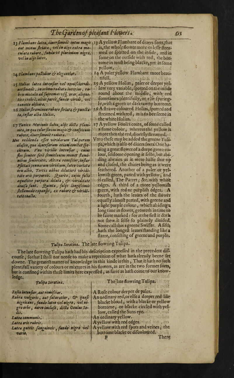 / TheCf^inD/pki/ant fhirers. Ai FUmhAns Itttea^dtMerfimodhwtui magis dut miKidt ftridtA, vel in dlys extra ma^ enUtaruhore ^/uffdavt flnrimum nigrdt velinalrjs Iftteo, fi leLFUmhnsyaUieLhr &elcg/intUfi' ^ .i: '•O 15 //a/fo^ late A iate.nftsr vel temifsii uerfimodte, in or bam radiata inttxi^, brii macnlU adfupremai eliquor tanettff obfeure:’] ■ >' i - ^ 16 HoiUs (Iraminea ruhore (IrUta & fnn6la' td,injldr alba HoUm, r. ' r,.. , lyTanicd Morisnis Utea^aljf dilia Fldm- mes^m qua colorflxvui mxgis confgicum ruborCtdiuerfimodhradUtd* - Hue reddendx effet v/ridarurn Tnltparum sUfsu^ qua diaerfarum etUnoconfUffpe^ ' cierum, ym virtdis intenfior , ctiim Jlof femper fere fetnicUufm monet fidmi- Htbsos Jt/nbrtdtis, Altera remifsier^injldr ffittdcipennarum viridtum^ luteo vafiata orti dibit. Ter fid acihuc dtlutiori viridi- fate oris purpHreis, ^Inartacttjfit folia aquaditer purpura dtluta, d^^ viriditate diuifa fu'nt, ^tnta, folqs Idngifsimis JledamUo expanfts i ex rubere viridU tatecealia, - Kr-.-j -: (j 1: J3 A yellowJFjatnbant ofdiuers forts,tha£ Js,thc wbolf flower mol e Or Ic/Te Area- r med or {pbtted on the. infide, andia fomeontheoutfidewith red, rheboti ■) tome in moft being blacke^yet infomc ;d ycllow*.uIc .:): • in ’ *r.d 14 A paler yelldw Flambant morebeau- l ■tifulJ;;'i''ri : .. .. :,>ru ‘Jtj A yellovvHoIias, paler of- deeper yeli- low very variable, fpotted onxbeinfidc round -about xbc,. mid.^i. with. red sicscrebr^dlias.parc'ejunde viridi, w/^nj,*.foraetiineSipIentifu,lly/or:c|rc.fparm^ jr.;ly,with a green or d^rk tawny bottome. i5:A ftrawe Goloiired Holias,fpotted and ftreamed with red ^ as isi^orbee feene ia the white Holias. ■ djv/o t ; - 17 AycllowFoolcs'coate,, of Ibmecalled Mj. a flame colour, whereinthe yellow is ' .Miiprethcn the^red,diuerflyfircamed.; ■ Vneo thefe may be added thegrceneTalii- rrtpa^which isalfo of diiiersfortsvOrie ha- : !i uing a great flower of a deepe green ccw-' 3 c lour, fcldome opening itTelfc,but abii-/ i j.ding.alwaies.'as itjwere'halfe’fliutivp a-and clofedjthe ebiu'es being as it were feathered. Another of a paler .or ych- lowifli green, parted withyelloKy-'^land callcd,;Thc’Parret f ,&Ciwith' white f.edges. A thitd of a nioecyellowifll . green, with red or piirplifli ^dges. rh fourth, hath the leaues'of the-flower .equally almoft parted^ with greenc and a light'purple colour*, which abiding^ long time in flower, groweth in time to . be fairer marked; for at the firft it doth not flicw..it felfc fo plaincly diuided. ■ Some call this a greeneSwifTcr. A fifth ,/ jhath the longcft leaues ftanding likea ftarre, confifting of greene and purple* ridipASeieiwa. i^^ The late flowrihgTulipa hath had his de'fcription exprefled in the precedent diH- courfc,' fo that I {halt not needeto make a'fCpeciEian of what hath,already beenc^fcc downc. The greateft matter of knowledge in this kinde is this, That it hath no Ihoh plcntifall variety of colours or mixtures in his flowers, as are in the two former forts,’ but is confined within thefe limits here exprelTed, as farfe as hath come to ouf know¬ ledge. •fulipASeretinai l - ' - . ‘ F-efeAtnUnfior^Autremifsier, ^ Rubra vulgaris, aut faturatUr^ ^ ^uaji nigricans, funde lutee vet nigre, vel ni- grberbe^ duret imlufe ^ dill a OculnoSe- Us, . . w Lutea communis i .;jul 1 y. Luteaorisrubris, ■ ” .''O’: ■ Luteaguttis fanguineis, funde'^ni^ri- dael varia* . .. ..a r A . ; The'latc flowringTulipa* ryi A Rofe colour deeper dr paler* ■ • A ^iv; Anordinary^rcdjorelfca deeper red Uk^ blackcbloud , with a blacke or yellow b ottome y or blacke circled with ycl ^ low, called the Suns eye. ^ ^ An ordinary yellow.. A ', A^yellow with red edges. ' ‘ '< e > Ayellow with red fpots and veines, the idttome blacke or difcolodrcd. , ■ . , P ' Thcf#