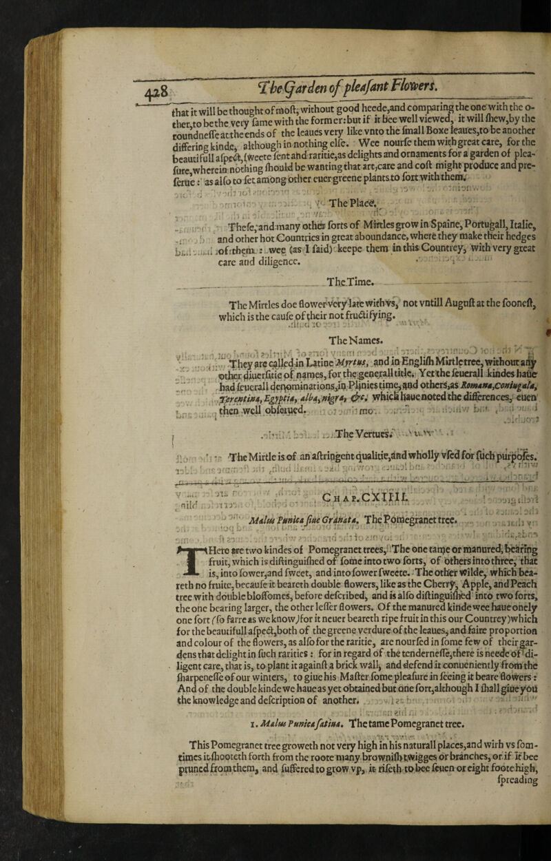 4z8 ^heQardenofpkafantFloxnert. that it will be thought of tUoftjwithout good heede,and comparing the onewith the o- tlier tobetheveiy famewiththeformeributif it bee well viewed, itwillfliew.bythe tbundneffeattheends of the leaues very like vnto the fmall Boxe leanes,to be another differioekinde, although in nothing elfc. - Wee nourfe them witbgrcat care, for the beauti full arpe<a,fWecte fent ahd ratitie,as delights and ornaments for a garden of plea- fute wherein nothing ihouU be wanting that art,care and coft might produce and pte-; ferueas alfo to fetamongbthercucrgreene plants to fort with them,'- ■ ' -lirK/!. I-!.1011..' ill •.•r:,:. i, ThePlac^,-^ ' t* r/f : '' iiv ' ■ '' ■ .Oi »> • :*•>( f here;andTOanyoth^ forts of MiMcs grow in spaine, Portugal!, Italic, . j fi ‘ and other hot Countries in great aboundance, wheffc they make their hedges jofrthcnt'juwcp, faid)'kcepe them in this Countrey, with very great care and diligence. i ___Th.c.Tlme. — - The Mirtlcs doc flowerlate wifhV^ not vntill Augafl at the foonefl, which is the caufe of their not fructifying. 1; : a. The Names. e jc.' -t ji.- :i:i z' V . ^They ?rc qalledin Latinc':iK;'rf«^» and inEnglifli Mmlptree,without r* • 1^ ^iucrlitie pf n^nies, for the;genej;alltitles Yeithc fcucrall kindes bafle r,*. 1 had fcuerall ^ef^ominationsiih.^linics tip^snd others,as Ko>»4M,ccffk^»Ui '  .which ha«c noted the differences^ cuen'. n then mil obferued. . ir.'Hiv; bii* i • »i, mV -4 i.j.TheVermes/' j'6 ' ^ ThcMirtleisof an aftringehtqualitie,^ndwhoily vfcdforfuchpufpc^s.’ -i:?:orarr -^' y.U ,cUuii ikiu: t;f.r.7or. ■■-•ri.oibn;. - ^ ^ ^ r;. : frl '-^ '.v./-- j—_4Li2ilib' * t « ■ ^' f. \ ^ i ' r : I M : ' i,' ' - 1 ; ^ ■ V - na r- ■ Cn A'i.CXIIJI,' '. ' niW i. nirj.i •>];:; lib'; . A ■ : J ^ 'Mdlm PanUAjiueGrdnatd, ThePdraegrancttree* „ ^ . jE.hv. L'= ^• nj . f/'j! ^ ' *■ ‘ ’ ' y '\ '' iHere are two kindes of Pomegranet trees,'lThc one tanjc or manured, l^artng fruit, which isdiftinguiflied of fbmc into two forts, of others into thtw, that is, into fovvcr,and fweet, and intofower fwcete. -The other Wilde, which bea- reth no fruuc,becaufe it beareth double flowers, like as the Cherry, Apple, and Peach tree with doublebloffomes, before deferibed^ and is alfo diftinguifedinco^two forts, the one bearing larger, the other lefler flowers. Of the manured kindc wee haucohely one fort (^o farre as we knowjfor it ncuer beareth ripe fruit in this our Countrey )which for the bcautifull afpc(ft,both of the grecne verdure of the IcaUes, and fairc proportion and colour of the flowers, as alfo for the raritie, are nourfed in fome few of their gar¬ dens that delight in fuch rarities: for in regard of the tcndcrnefler,there is neede oPdi- ligent care, that is, to plant it againft a bricS wall j ahd defend it conucniently from the fharpenefleof our winters, to giuehis Matter fome plcafurc in feeing it beare'floWers: And of the double kinde we haueas yet obtained but one fort,although I thall giueyPU the knowledge and defeription of another.., v h- i . I. Addfsi Pumc* fatm. The tame Pomegranet tree. This Pomegranet tree groweth not very high in his naturall placcs,and wirh vs fom- times iuftiooteth forth from the roote many browDiflil.Wigges. dr branches, or.if it bee pruned from them, and fuffered to grow vp,. it tifet hi to ftp feuen or eight fodte hig h, fpreading