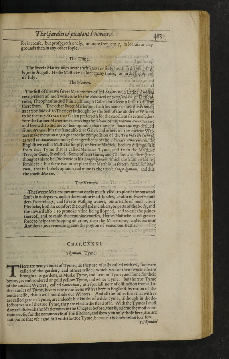 , The Qardef} of pieafant tloitersjt. 4^5 forincreafe, buc profpercth onely, or more frequently, in loamie or clay grounds then in any other foyle. ■ - • .(■ The Time.’ I'd 1 •it Ti ■ i’ Th-eNames. , .1 to5lJn,^1;.!r.D) The firft ofthe two iWeet Mafieforrtes called Maiorana. in L^firie fara^istikert 6f moft’writefs to be the Jp^4racfff'ot S^^/!/^^^^ W^ rides, Thcophraftus and PHnie,althoiigh Galen dorhfeema Httie to.’diiren| therefrom.^ The other fweet Marierqme hath his name in his titll lV'h!itic;5[ as can bc-faid of ir.The next is thought by the beft ofthe idod erne Writer^ to be the true Martam that Galen preferreth for the excellent fweetneflfcjbe- fore the former Marief ome in making the Oleum^ov vffguentum Amartc 'mum^ and feemeth to incline to their opinion, that thought Amaracua was deriyed ftovti Marnm. It is the fame alfo that Galen and oth^ of the ancient Wri¬ ters make mention of,to go into the compolitionfof the Trechifcr^jedychr^, as well as Amaracui among the ingredients of the Theriaca Andrsmichi: Id Englifh we call it Mafficke fimplyj or Herbe Maftickj both to diftingulihlf from that Tymc that is called Mafticke Tyrae, and from the Miftteks Tree, or Gum’, fo called. Some of later rimes, and Clufius with-fhem^hiue thought this to be Diofeorides his Tr-agoriga^um, which doth fotnewhat re^ fcmble it : but there is another plantthat Matthiolus fetteth forth rttm^ that in Lobels ppinion and mine is the trueft Tragorigamm, and this the trueft ■ ' v TheVcrtiies. iAV. .The fwcetc Marieropies are not onely much vfed. to pleafe the outward fenfes in riofegayes, and in the windowes of houfes, as alfo in fwcetc potJ^ derSjfwectcbags, andfwcete waftjing waters, but arc alfo of muchvfein Phyficke, both to comfort the outward members^ or parts of thej3ody,and the inward alfo : to prouoke vrinc being flopped, andto eafe thepaines thereof, and tocaufc the feminine courfes, Herbe Mafticke is ofi greater forcctohelpe theftopping of vrine, then the Marierome, andis putinta Antidotes, as a remedie againft the poy foil of venemous Beafts. io- : CHAP.cxxxr. Thjmum, Tymc.* ^ THere arc many kindcs of Tymc, as they arc vfually called with vs'-, fome are called of the garden, and others wilde, which yet for their fweetnefle are brought into gardens, as Muske Tyme, and Lemon Tymc 5 and fome for their beauty,asembroidercdor gold yellow Tyme, and white Tyme. But the true Tyme of the ancient Writers, called , as a fpeciall note of diftindion from alio- thcr kindcs of Tyme, isvery rare to be feene with vs here in England, by reafon of the tendernefle, that it will not abide our Winters. Andalhhe other forts that with vs^ are called garden Tymes, are indeede but kindcs of wilde Tyrae, although in the dc- fed or want ofthe true Tyrae, they are vfed in the ftcad of it. With the Ty mes I raufl: doc as I did with the Marieromes in the Chapter before, that isy referuethemoft com¬ mon in vfe, for the common vfe of the Kitchen, and fliew you only thofe here,that are ' not put to that vfe: and firft with the true Tyme, becaufe it is knownc but f o a few. ^ XtTbjmurfS