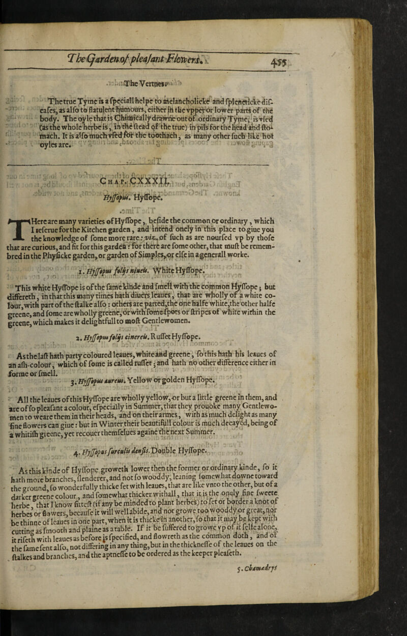 TheCj4rdemf plea/antFkitieri^i. ‘V.ltii^rbcVertoies^- > ^yi A * T,hctruc *rymc is a fpcciall help'e to Melanchplickcf and fplefrtftlcke dif- cafcs, as alfo to flatulent-femours, cither iti the vp^^or lower parts of thd body. Thcoylcthatis(3hiibi^alIydraW^out6fordinary (as the whole herbc is , In’tSi^ftcad oFthctruc) ih'pils for thcH&d imd ftoi itiach. Itisalfo muchvlH^^f t^'tobthach, as many other fuchPlikc hbt oylcsarc. : igr;. , ;c c . ■]T' r JJyJfofui. HytTope, .t.rnt« - . . T Here are many varieties of Hy Hope,, bcpdc the common or ordinary, which I leferue for the Kitchen garden, and intend oncly in this place t6giueyoui the knowledge of fome more rare ;,w.of fuch as are nourfed vp by thofc that arc curious, and fit for this gardchtfbr there are fome other, that muft be rcmcm- bred in the Phyficke garden, or garden of Simples^^r clfc in a gencrall worke. . /; ;U 1 .r. I. white Hyflbpe.J d : i' This white Hyffbpc is of the famekilidc and frarell with the tomraon HyfTope j but differeth, in that this many times hath diiibrsj'daiies, thatare wholly of a white co¬ lour, with part of the ftalke alfo: others arc parted,tht 6ne halfc whitc,the other halfc greenc, and fome are wholly grecrievor With fbmcTpbts of ftiipes of'white within the greene, which makes it delightfullto moft Gentlewomen. ( •nv.av * A 2, Hj/foPMftlis cinereii, R uffet Hy flope. AsthcMhathpartycblouredlcaucs,whiteaiidgreenc, fo^thishath his leaues of an afli-colour, which of fonie is called ruffet • and hath no other difference either in forme or fmcll. ' . „ I! ' ‘ ' 3Yellow or golden Hyilope;- • * ’ »- * f • ^ All the leaues of this Hyffopc arc wholly yellow,or but a little greenc in them, and arc of fo plcafant a colour, efpccially in Summer,that they prbuOke many Gentlewo¬ men to wearc them in their heads, and on theirarmes, with’ as much delight as many fine flowers can giuc: but in Winter their beauti^ll colour Ls; much decayed, being of awhitiihgiccne,yctrecouerthcmfcIuesagaincthfnextSuhimer^ ' ' /^.HyfopusfurcufUdtnfis.p^x^lz^^^ Asthisltindcof Hyffopc groweth loWcrthra'thcformcrorordin^ryUnde, fd it hath more branches, (lenderer, and not fo wooddy, leaning lomewhat do^ne toward the around, fo wonderfully thicke fet with leaues, that arc like vnto the other, but of a darUirgreenecolour, andfomewhatthickerwithall, tbat.it,isthe on<dy fine fweeto herbe that I know fitteft (if any be minded to plant berbes) to fet or bmder a knot of herbes or flowers, becaufe it will well abide, and norgrdwe toowpoddy orgreat,par be thinne of leaues in one part, when it is thickrtfl another,fdthat ir mayjre kept with cuttin»asfmoothand plaineasatabIe. If it befufferedtogroweypof .tfelfealOBe, itrifrthwithIcaucsasbcforeisfpccified,andflowrethasthe common doth, andot the famefent alfo, notdiffeting in any thing,but in thethickneffeof the leaues on the ftalkcs and branches, and the aptneffe to be ordered as the keeper pleafetb. ^^chdvt/tdrp