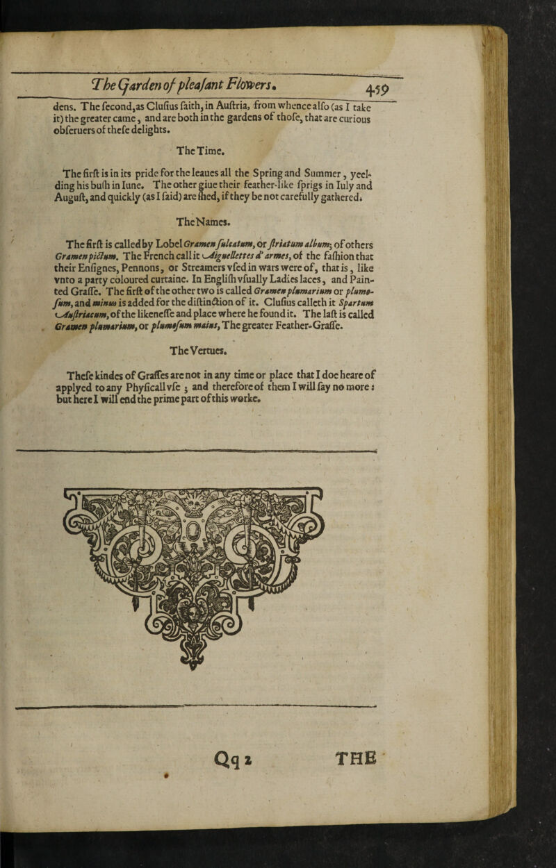 / The (jarden of pleafant Flovpers* ¥9 dens. The fccond,as Clufius faith, in Auftria, from whence alfo (as I take it) the greater came, and are both in the gardens of thofc, that arc curious obferuers of thefe delights. ' ' ' The Time, The firfl: is in its pride for the leaucs all the Spring and Summer, yeci-* ding his bulb in lune. The other giuc their feather-like fprigs in July and Auguft, and quickly (as I faid) are ftied, if they be not carefully gathered* TheNames Thefirft is called by LobcI<7r4we«yi/r4/«w,or ftrUtumalhm-^ of others Cramenpi^Mm. ThcVrcnchcallit^igueliettesd’armes^oi the faihionthac their Enfignes, Pennons, or Streamers vfed in wars were of, that is, like vnto a party coloured curtainc. In Englifh vfually Ladies laces, and Pain¬ ted Grallc. The firft of the other two is called Gr*mem plnmarium or plumt- /um, and miffta is added for the diftindiion of it. Cluhus callcth it Spartum of the likcnelfc and place where he found it. The laft is called Crdmen flumArMm,oi The greater Feathcr^Grafle. ThcVcrtucs. Thefe kindes of Graffes arc not many time or place thatidochearcof applyed to any Phyficallvfc 5 and therefore of them I will fay no more: but here I will end the prime part of this worke. ) )