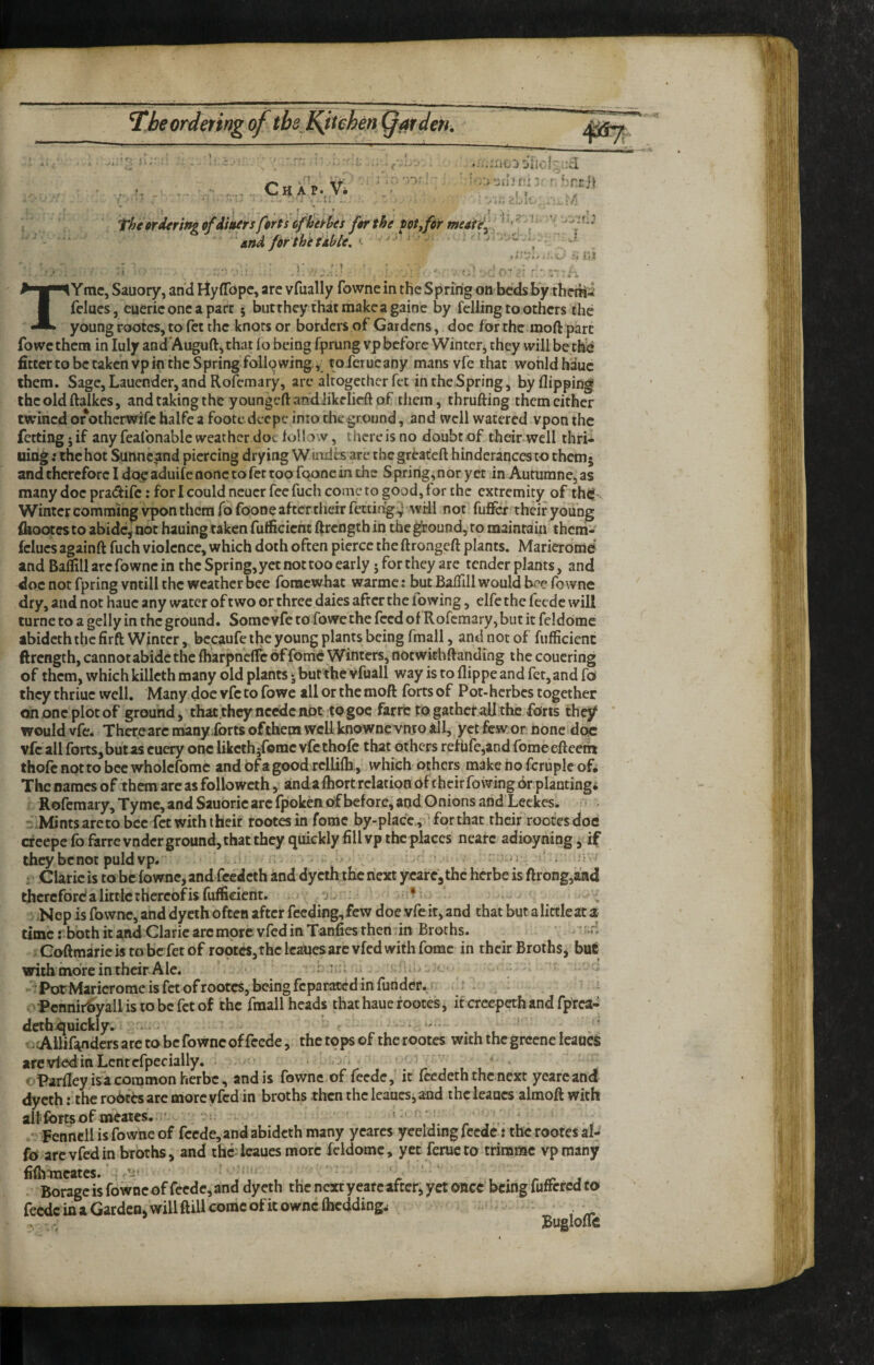 Chap. Vi T ■ ». « • f' 'Thgord<ringofii»irsf$rts6fijii’hes ftrthe totyfor ‘snd fdrthitAbie. ' ‘ ‘ » i‘.. x^> ;» I OilO l^ud ' r: ‘^rciJ -V (;' :: 0 TYtnc, Sauory, and rtyflRjpe, are vfually fowne in the Spring on beds by theitii felues, euerieoneapart 5 butthey thatmakeagainc by felling to others the young rootcs, to fet the knots or borders of Gardens, doc for the moft part fo we them in luly and'Auguft, that 1 o being fprung vp before Winter, they will be the fitter to be taken vp in the Spring folio wing, toferucany mans vfe that wonldhauc them. Sage, Lauender, and Rofemary, are altogether fet in the Spring, by flipping thcoldftalkes, and taking the youngeftandlikelieft of them, thrufting them either twined or otherwife halfc a footc deepe into die ground, and well watered vpon the fetting j if any feafonable weather doc follow, there is no doubt of their well thri- uiogtthehot Sunnetrad piercing drying Wuides are the greateft hinderancestothemj and therefore I do^ aduife none to fet too foone in the Spring, nor yet in Autumne, as many doc pradife: for I could ncucr fee fuch come to good, for the extremity of thef. Winter comming vpon them fo foone after their fetting^ wHl not fufifer theiryoung feootesto abide, not hauingtakenfufficicfit ftrengthin thegi’ound,to maintain theni- fclucs againft fuch violence, which doth often pierce the ftrongeft plants. Marierome and Baflill are fowne in the Spring, yet not too early j for they are tender plants, and doc not fpring vntili the weather bee foracwiiat warme: but Baflill would bee fowne dry, and not hauc any water of two or three daies after the lowing, elfe the feede will turne to a gelly in the ground. Somevfe to fowe the feed of Rofemary, but it feldome abideth the firft Winter, bccaufe the young plants being fmall, and not of fufficicnc ftrength, cannotabidc the fharpneflr offomc Winters, notwithftanding the couering of them, which killcth many old plants; but the Vfuall way is to flippe and fet, and fo they thriuc well. Many doc vfe to fowe all or the moft forts of Pot-herbes together on one plot of ground, that they ncedc not :to goe farrero gather all the forts thejf would vfe. Therearc many forts of them well knowne vnjo all, yet fewor none doc vfe all forts, but as cuery one likcth;fomc vfcthofc that others reftife,andforaeefteerh thofcnottobecwholcfomc andofagood rclUfti,, which others makenofcruplc of. The names of them arc as folio weth, anda ftiort relation oft heir fo wing 6r planting* Rofemary, Tymc, and Sauoric arc fpoken of before, and Onions and Leekes. -iiMintsarcto bee fet with their rootcs in foroc by-place., for that their root’es doe efeepe fofarrcvndcr ground, that they quickly fill vp the places nearc adioyning, if they benot puldvp. - ^ • . ■ ' ’ • -■ ; Claric is to be fowne, and feedeth and dycth the next ycarejthc herbe is ftrong,aad therefore! a little thereof is fufiicient. > 0. .Ncp is fowne, and dyeth often after feeding, few doe vfe it, and that but a little at a time :• both it and Claric arc more vfed in Tanfies then'in Broths. ' -'d Goftraarieistobefetof rootcs,thclcanesarcvfedwithfomc in their Broths, but with more in their Ale. r t - c ^ ^ • • Por Marierome is fet of rootcs, being fcparaccd in funder.,*: ' • ^ : ■ i oPcnnir^yaliisiobcfctof the fmall heads thathauefootes, it crcepethandfprca- detb^uickly. * . - - ■ • .(AUifandersarctobcfowncofreede, the tops of the rootcs withthegreene leaned arc vied in Lent cfpecially. * -> * t. * ' oParfley is a common herbe, and is fowne of feede,' it feedeth the next yearcand dycth: the ro6ttsarc morcvfcd in broths then the leaucs,aad the leaucs almoft with all forts of meates. ' ' ' ’ ‘ r » • • • ■Fennell is fowne of feede, and abideth many ycarcs yeelding feede t the rootes al- fo arcvfedin broths, and thedeaues more feldome, yet feructo trinamc vproany fifhtncates.' 'y* ^ . Borage is fowne of feede, and dyeth the next yearc after, yet once being ruffered to feede in a Garden, will ftill come ofitownc (bedding.! ^ ; Bugloflfe