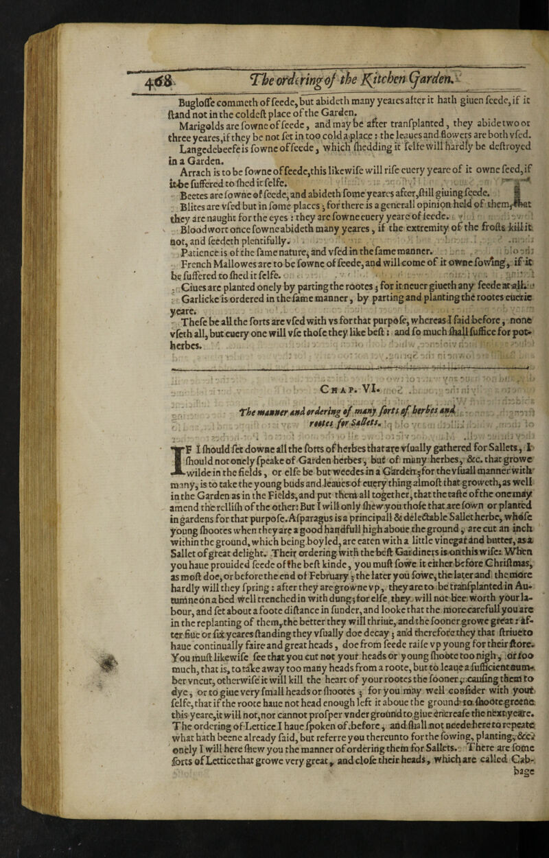 Bugloflccomtneth of fecde, but abideth many yeares after it hath giuenfcede,if ic ftand not in the coldeft place of the Garden. ^ Marigolds are fowne of feedc, and may be after tranfplanted, they abide two or three yeares,if they be not fet in too cold aplace; the Icaucs and flowers are both vfed, Langedebeefeisfowneoffeede, which fheddingittelfewillhardfy be deftroyed in a Garden. Arrach is to be fowne of fecdc,this likewife will rife cuery yearc of it owne feed, if it^e fuffered to fhed it felfc. ^ Beetes are fo whe ©f feede^ and abideth fome yearcs afcer,ftill giuing feede. 1 Blites are vfed but in fome places ^ for there is a gcnerall opinion held of thcmfTOflt they arc naught for the eyes : they arc fowneeuery ycare of feede. : Blood wort once fownc abideth many yeares, if the extremity of the froft&icillit not, and feedeth plentifully. * - ’ ! . . , ' Patience is of the fame nature^ and vfed in thefamcraaoncr. ' French Mallowes arc to be fownc of feedcjand willcome of it oWncfowingV if’iC befufferedto(heditfelfe.c. c. ' .'• >' . ' ^ . .Ciues arc planted onely by parting the rootes 3 for it neuer giueth any feede at alhh' ^ r Garlickc is ordered in the fame raanner, by parting and planting the rootes euctic ycare* ' ‘ - Thcfe be all the forts arc vfed with vs fbrthat purpofe, whereas I laid before, none vfeth allj but cucry one will vfc thofc they like beft; andfo much fhall fuffice for pot* herbes. ■ i. Chap. VI* .a mA»ner 4ffd ordering of msny forts pf beryls ond :;.; ; Tootcs,^ ffr<S»Bets, ? ^ f I 7 F I fhould fet dowac all the fbtts of herbes that arc vfually gathered for Sallets, I Ihould not onely fpeake of Garden herbes , bu6 of; mimy herbes, &c. that growe wildc in the fields, or clfc be but wecdcsin a Giirde'ni jfor the y fuall manner with ' many, is to take the young buds and Icaucsof eucry thing almoft that growcth,as well in the Garden as in the Fields,and put them all together, that the caftc ofthc oncniiiy amend thbrcllifli of the other; But I will only fhew.youthok that arc fown or planted in gardens fbrthat purpofe. Afparagus isa principal! 53dde<JfablcSallethcrbc,whdfc young flbootes when they ar<: a good handful! high aboue the ground arc cut an inch within the ground, which being.boyled. are eaten with a little vinegat ind butter, asa Sallet of great delight. .Their ordering with the beft Gardiners is/onithis wife:. Whtn you haue prouided feede of !he beft kindc, you muft fowc it ckhcf before Ghriftmas, as moft doe, or beforethe end of February 5 the later you fowcj the laterandi theniorc hardly will they fpring; after they are grownevp , thcyarctoibe traiifplantcd in Au- tumneon a bed Well trenched in with dung; for clfc ibry- will not bee; worth your la¬ bour, and fet about afootc diftance in funder, and lookethat the raorccarcfullyouarc in the replanting of them, the better they will thriuc, and thc fooncr growe gre'at: if- tcr ftue or flxycares ftanding they vfually doe decay j an!d therefore they that ftriucto haue continually faireand great heads, doefrom feede raife vp young for their ftorc. You rauft likewife fee that you cut not yout heads or young Ihootc too nigh , .Ofioo much, that is, to talce away too many heads from a roote, but to Icaue a ruracientnunvf, her vneutjOtherwife it will kill the heart of your rootes the f6oneCy';caufing them to dye, ortogiucveryfmallheadsorfliootes 5 for you may well coafider with yout felfc, that if the roote haue not head enough left if aboue the gronnd’t a.fhootegrc«rtc. this yearc,it will not,nor cannot prbfpcr vndcr ground to giue <^ntreafc the nbxnyea&’e# The ordering of Letticc I haue fpoken of .before, and.fliall.not needehcreta repeat© what hath bccnc already faid, but referre y ou thereunto for the lowing, plantingv &c^ onely I will here fljew you the manner of ordering them for Sallcts. There arc foijnc forts of Letticc that growe very great ^ and dole their heads, which arc called; Cab-. bage