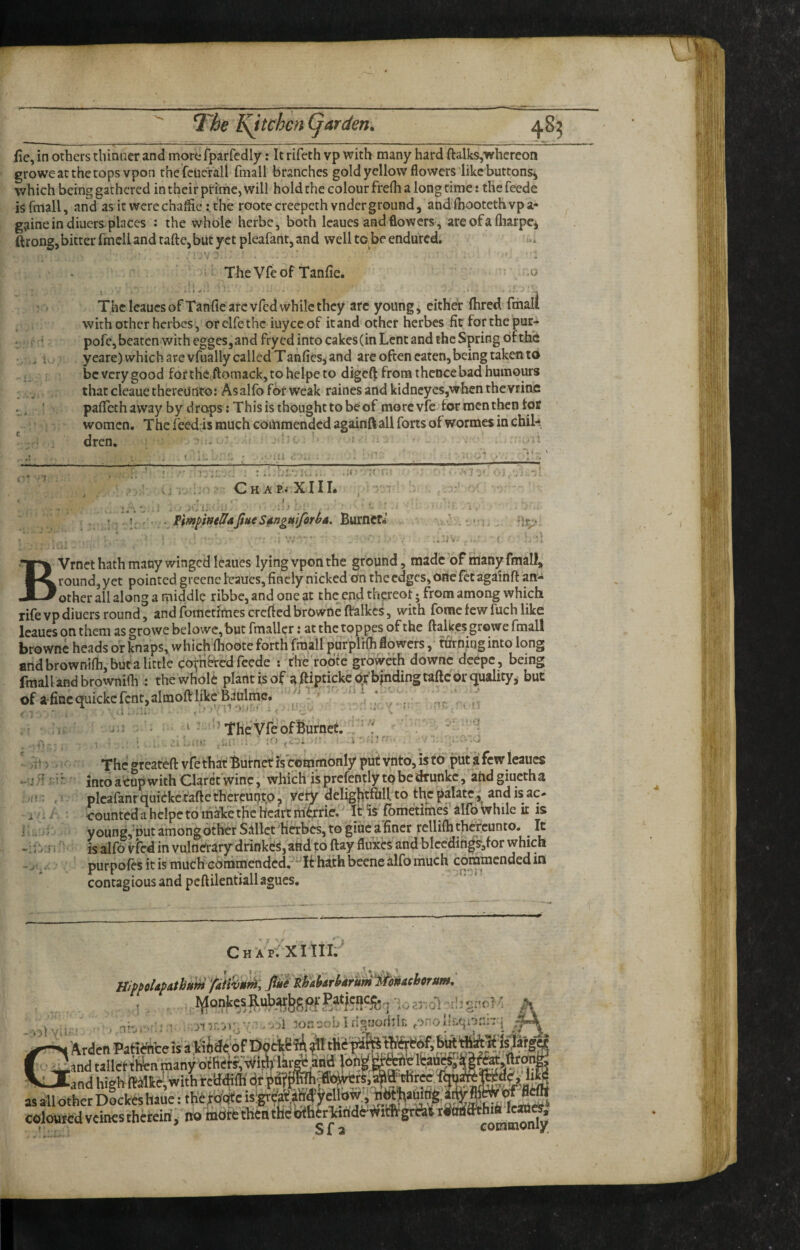 fie, in others thinner and more fparfcdly: It rifeth vp with many hard ftalks,whcreon groweatthecops vpon thefcuerall fniall branches gold yellow flowers'like buttons^ which being gathered in their prime, will hold the colour frefh a long time: tliefeede isfmall, and as it werechaffle :.the rootecreepethvnderground, andfiiootethvpa- gaine in diuers places : the whole herbe, both Icaues and flowers, are of a fliarpc^ ftrong,bitter fmcli and tafte,but yet pleafant, and well to be endured. TheVfeof Tanfie. .0 Theleauesof Tanfie arc vfed while they arc young, cither ihred fmali with other herbes , orelfethc iuyee of it and other herbes fit for the pur- pofe, beaten with eggeSjand fryed into cakes (in Lent and the Spring of the yeare) which are vfually called Tanfiesj and are often eaten, being taken to beverygood fofthc.ftomack,toheIpeto digeft from thence bad humours that cleauethereunto: Asalfof6r weak rainesandkidneyes,whcnthevriac paficthaway by drops: This is thought to be of morevfc for men then tor women. The feed is much commended againft all forts of wormes in chik dren, v:. * ' ; '7 ; , Ch XIIL , ' . I. , . Sdirtguifori^a, BurnCfe’ ir;/- BVrnct hath many winged leaues lying vpon the ground, made of irianyfmall, round, yet pointed grccne leaues, finely nicked on the edges, one fet againft an^ other all along a middle ribbe, and one at the end thpeot; from among which rifevpdiuersround, andfomcttmescrcftedbrOwneftalkes, with fomcfewfuchlike leaues on them as growe bclowe, but fmaller: at the toppes of the ftalkes growe fmali brownc heads or knaps, which fhoote forth fmali purplrfh flowers,' turning into long and brownifti, but a little cofnhrcd feede i the’rodfe groweth downc deepe, being fmali and brownifh ^ the wholi plantisof a ftipticke c^^indingtaftcor but of afincquickcfcnt,almoftlikc'Baulme. '’^1 . ... ^ . . ! . ..i >V'f’- c ■ *■ > . :r. 'the Vfe of Burnet. i.-t: .;a. The ®reateft vfe that Butnet is commonly put vnto, is tb put k few leaues '' ^ • into acop with Claret wine, which is prcfently to be drunkc, ahd giuctha plcarant quickctaftcthereuntp, veiv deligfitfhll to the palate and is ac¬ counted a hclpeto'maVethc Heart mfeiff. It isTonietimes’alfo while it is youngvbutamongotherSallct'hCTbeSjtogiucafiner rellifhthereunto. ^ It IS alfo v^cd in vulnerary drinkks, atid'to ftay fluxes and bIccdiftgs,for which purpofes it is much commendcd.-''It hath beene alfo much commended in contagious and pcftilentiall agues. :>/!,: -■inh Ch A pf XITII; Hip^oUpAthttm'pHvttmy fik^Khahrhrum'M'meborum,' >:>1 :on-oblfl^jofiilK ,onoik.qonhri pfX Arden Patidhee is a ,kUdeof OoiiBfA ^thepk^ ty^bf,' f- 4^and taller th^n manybtfiefr, V3CandWgWm.;WithreMffi as another D0ckeshaue:th'ejc(o^cisigrfa«,i»f)^« coloured veines thetein, no more thea thd Whtrtode-rkittgrrit fcatici?i commonly