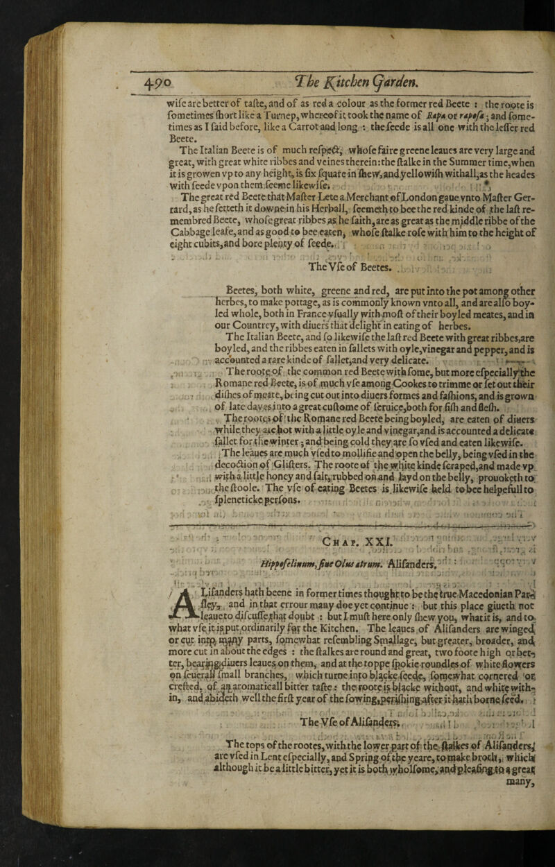 wife are better of taftcjandof as red a colour as the former red Becte : thcro;9tcis fometimes (hort like a Turnep, whereof it took the name of of rdptfk • and ibrae- times as I faid before, like a Carrot and long : thefeede is all one with the IcflTcr red Beete. The Italian Beete is of much refpe^f, whofe faire greenc Icaues are very large and great, with great white libbes and vcines therein:the ftalke in the Summer time,whcn it is growen vp to any height, is fix fqiiatc-in flievy,andyellowifti withall,as the hcades with feede vpon them,fcemelikewife». t . The great red Beete th^t Mafter a Merchant of JLondon gaue vnto Mafter Ger^ raid, as hefetteth it downe in his Herball, feemeth to becthe red kinde of the laft re- membred Beete, whofegreat ribbesas, he faith^are as great as the middle ribbe of the Cabbage leafe, and as good to bee eaten, whofe ftalke rofc with him to the height of eight cubits,and bore pleiity of feede.^ .i ^ ' . TheVfeof Beetes. . Bcetes, both white, greene and red, are put into the pot among other herbes, to make pottage, as is commonly known vnto all, and arc alfo boy* led whole, both in France vfually withmoft of their boy led mcates, and in our Countrey, with diuefs that delight in eating of herbes. The Italian Beete, and fq likcwifc the laft red Beete with great ribbes,are boy led, and the ribbes eaten in fallcts with oylc,vincgar and pepper, and is • ' acebunted a rare kinde of fallet,and very delicate. r ■ , I !. ’ Theroot^qf the common red Beete with fome, but more efpccially the i . , ^ Romane red Becte, isqf much vfc among Cookes to trimrac or fet out their difhes of meate, bring cutout into diuers formes and fafliions, and is grown , , of latedayesintoagrcatcuftomeof leruice,bothforfifliandfleflb. , The roor^;spff the Romane red Beete being boyled, arc eaten of diuers while they a^icbot wichai little oyle and vinegar,and is accounted a delicate fallct for ^mwipter; andbeing cold they.are fo vfed and eaten likewife. , jThcIeaucs arc much vfed to mollifie and open the belly, being vfed in the r ; , . dcco(aidn Qf:Glifters, The rqote of thew.hftc kinde feraped,and made vp r* r ‘;1 wirhalitdehoneyandfalpj rubbed ofl<and fayd on the belly, prouokpthto; o ; . ,, thcftoole. The vfe of eating Bcctcs isjikcwifc held tobcchelpcfullto ,V fplenctickcpetfons. , .i n:. ,; . : i •n- Chaf. XXI. ' ^ ■ ryjli ,. . ‘.•I ■ n • I. n f<r. - Hifftfelinum.fue Olusitrum. Alifandcrs,' ■ nnf-i * i / Lifandcrshathbecnc in former times thoyghfito be the true Macedonian Par« ; . iind in that errour many doe yet continue : but this place giueth noc •jt J^Ieaucto djfculTe^^h^f dpubt : but I-muft here only (hew you, whatitis, andto^ whatvreiei?.put ordinarily % the Kitchen. Thcleaucs of Alifanders arc winged, qrcqt in^a^^y parts, fqmewhat rcfembling Spiallage, but greater, broader, and( more cut in about the edges : the ftalkcs arc round and great, two footc high orbct*3 ter, bearmgfdiucrs Ieauc§ on them, and at the toppe fpokic rpundlcs of white flowers qh feucrafl (mall branches, which tuenc info bj^cke:fecdcj Bom^jybat cornered crefted. of ar^aromaticall bitter taftc: thefpoteijr bUcke wkhout, and white with¬ in, andqbi^th well the firft year of the fowing,pef;^nng)aftet it I^fh borne feed# 1 X Thc-yfc of Alifanders; < » » '► * f » C' i. ■ i V i s i* , 'Si-Sjli I h yjbj ki«- ^ 4 * a i^ i' The tops of the rootc?, with the lowwjgart of the:*/ft9i|fes of, arc vfed in Lent efpecially, and Spripgqfthe ycarc, tom^ebt^th ji whicS although it be a little bitterj yet it is botb>yholfome> aAdEki^kng.tft many.