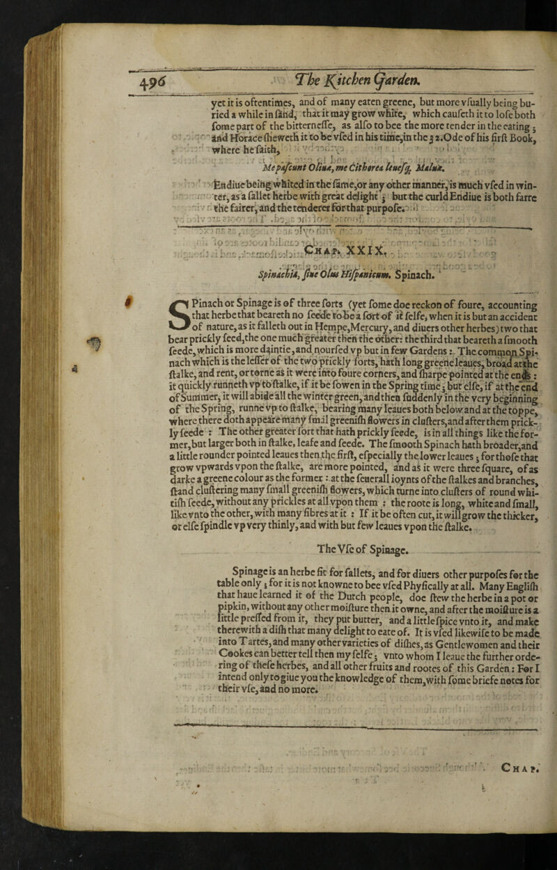 •XJUX The Kitchen (garden. yet it is oftentimes, and of many eaten greene, but more vfually being bu¬ ried a while in iSHd, that it may grow white, which caufeth it to lofe both fome part of the bitterneffe, as alfo to bee the more tender in the eating • , -r.- jiud Horace (Heweth it to be vfed in his timc,in thej i.Ode of his firft Book, where he-foich, _' ‘ “ UefAfcuntoUutt meCithireA huef^ , ^ fen diue being; whited in the famcjor any other manner,^is much vfed in win- ter, as a fallet herbe with great ddight . but the curld Endiue is both farre *:iv n the fairer jand thetcindcfcrfbrthat purpofc;^;*i - - .'Ivi'l 1' .be, : o-ir;: “•'‘i,•^ / i ’ TA'y nr r < rTHToF^TT^.. f r o ■ t-I__ . t t (>»■-». I^ 11' ^ jPfc - «X X. i 3C# » ' SpmAchUi fiueOtM Hifidnieum^ Spinach.' SPinachorSpinageisof three forts (yet fome doc reckon of foure, accounting that herbe that bearcth no feeife toBe a fort of i^ fcife, when it is but an accident of nature, as it fallcth out in HenipejMexcury, and diuers other herbes) two that bear prickly feed,the one muchgfeater the'n the other: the third that bcareth a fmooth feede, which is more d^intie,and nourfed vp but in few GardensThe compioj\.Spi^ nach which is the Icffer of- the two prfckly forts,1hath long grcerteleaues, broad aV«ic ftalke, and rent, or tome as it were into foure corners, and fliarpc pointed at the en|fe: it quickly f urincth vp'tb ftalke, if it be fo wen in the Spring time 5 but elfe, if at the end of Summer, it will abide all the wintergfeeri^ and then fuddcniy in tKc very b^inriing of the Spring, runnevp to ftalke, bearing many Icaues both below and at the toppe, where there doth appeaxe many fmil greenifli flowcFs in claftcrs,and after them prick- ■ ly feede : The other greater fort that hath prickly feede, is in all things like the for- nier,but larger both in ftalke, leafe and feede. The fmooth Spinach hath broader,and a little rounder pointed leaues thenrhe firft, cfpecially the lower leaues. for thofc that grow vpwardsvpon the ftalke, are more pointed, and as it were three fquare, of as darke a greene colour as the former: at the feacrall ioynts of the ftalkes and branches, ftand cluftcring many fmall greenifli flowers, which turne into clufters of round whi- cifh feede, without any prickles at allypon them : the roote is long, white and fmall, like vnto the other, with many fibres at it : If it be often cut, it will grow the thicker, or elfc fpindlc vp very thinly, and with but few Icaues vpon the ftalke. ThcVfcof Spinagc. Spinagc is an herbe fit for fallets, and for diuers other purpofes for the table only j for it is not knowne to bee vfed Phyfically at all. Many Englifli that haue learned it of the Dutch people, doc ftew the herbe in a pot or pipkin, wthout any othcrraoifturcthenitowne,andafterthcmoifturcisa little preflcd from if, they put butter, and a little fpice vnto it, and make - therewith a difli that many delight to eate of. It is vfed likewife to be made into Tartes,and many other varieties of dilhes,as Gentlewomen and their Cookes can better tell then my felfe* vntowhomlleauethcfurthcrordc- ring of thefe herbes, and all other fruits and rootes of this Garden: For I intend only togiuc you theknowledge of them,with fome briefc notes for ' their vie, and no more.