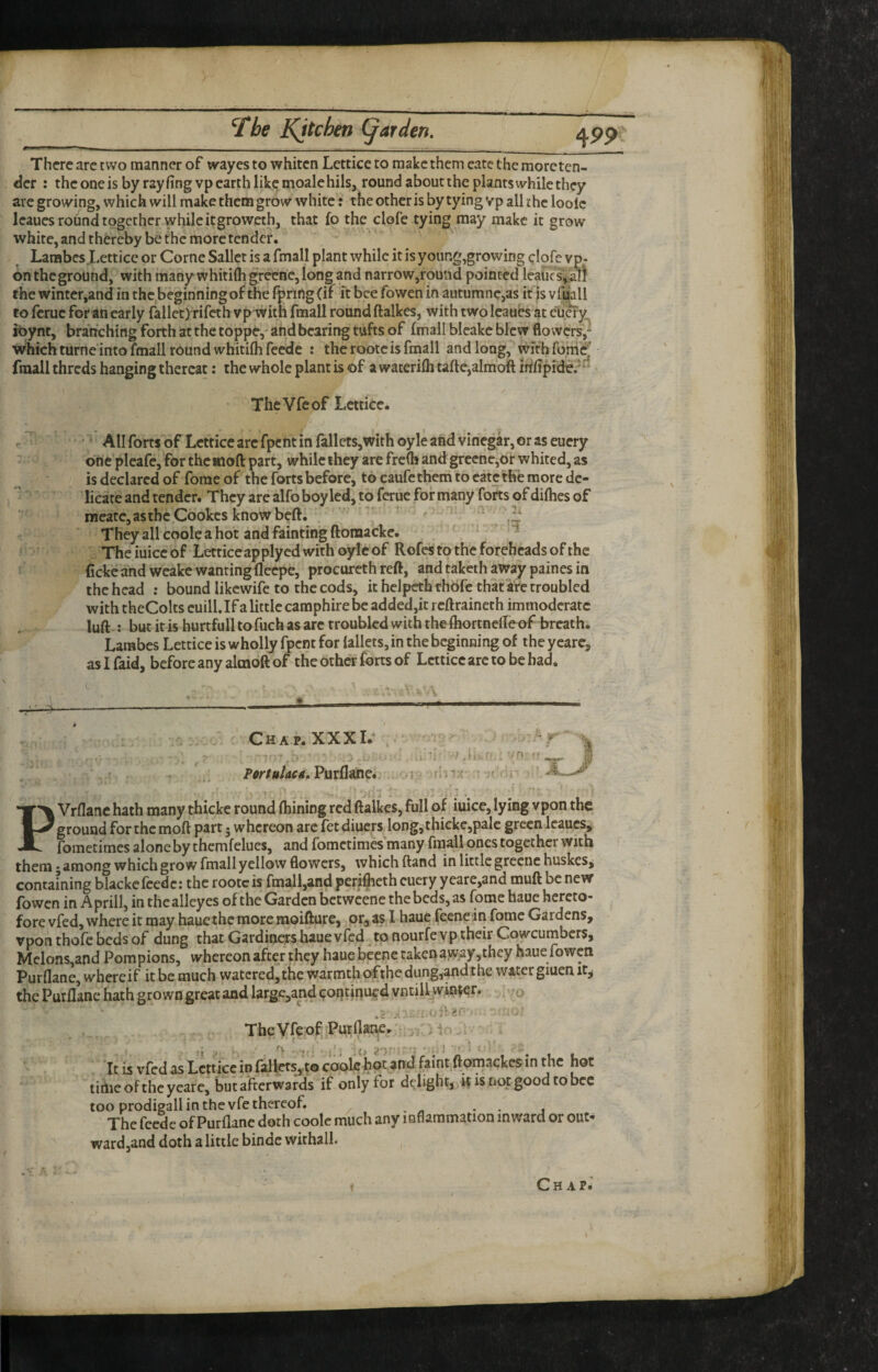 There are two manner of wayes to whiten Lettice to make them eate the morcten- der : the one is by ray fingvp earth like moalehils, round about the plants while they arc growing, which will make them grow white: the other is by tying vp all the loole leaues round together while it groweth, that fo the clofe tying may make it grow white, and thereby be the more tender, Larabes Lettice or Come Sallet is a fmall plant while it is young,growing elofc vp. ontheground, with many whitifligreene, long and narrow,rouiid pointed leatiesian the winter,and in the beginning of the Ipringfif it bee fowen in autumnc,as it js vfuall to Icruc for an early fallet) rifeth vp with fmall round ftalkes, with two leaues at eu^y ibynt, branching forth at the toppe,- and bearing tufts of fmall blcakc blew flo wers,- whichturne into fmall round whitifhfecde : the roote is fmall and long, wlthfoni^ fmall threds hanging thereat: the whole plant is of a wateriih tafte,almoft mfipide?^ TheVfcof Lettice. • All forts of Lettice arc fpent in fallcts,with oyle and vinegar, or as euery one pleafe, for the aloft part, while they are fre(b and grcene,or whited, as is declared of fomeof the forts before, to caufetKem to cate the more de¬ licate and tender. They are alfo boy led, to feme for many forts of difhes of meate,asthe Cookes know beft. ^ ‘ . -3 They all coole a hot and fainting ftomacke. Theiuiccof Lettice ap ply cd with oyle of Rofes to the foreheads of the Cckc and weake wanting fleepe, procurcth reft, and taketh away paines in the head ; bound likcwifc to the cods, it helpcthrhbfc that are troubled with theColts cuill.If a little camphire be added,it reftraineth immoderate luft : but it is hurtfull to fuch as arc troubled with the fhortnelfe of breath. Larabes Lettice is wholly fpent for lallets, in the beginning of the yeare, asifaid, before any almoft of the other forts of Lettice arc to be bad. PurfliUie. - t Vrflanc hath many thicke round fliining red ftalkes, full of iuice, lying vpon the PVrflanc hath many tnicke round mining red itaikes, run 01 mice, lymg vpuu me ground for the moft part 5 whereon arc fet diuers long,;thickc,palc green leaues^ fometimes alone by thcmfelues, and fomctimes'many fmall ones together with them 5 among which grow fmall yellow flowers, which ftand in little grecnc huskcs,j containing blackcfcedc: the roote is fmall,and perifteth euery yearc,and muft be new fowen in A prill, in the alleyes of the Garden betweene the beds, as fome haue hereto¬ fore vfed, where it may haue the more moiftutC) or, as I haue fecne in fome Gardens, vpon thofc beds of dung that Gardiners haue vfed ^ to nourfeyp their Cowcumbers, Melons,and Pompions, whereon after they haue beene taken avv^ay,they haue fowen Purflane, whereif it be much watered,the warmth ofthe dung,andihe water giuen it,j the Purflane hath grown great and large,and continued vntill winder* o too prodigall in the vfe thereof. The feede of Purflane doth coole much any inflammation inward or out¬ ward,and doth a little bindc withall. Chap.'