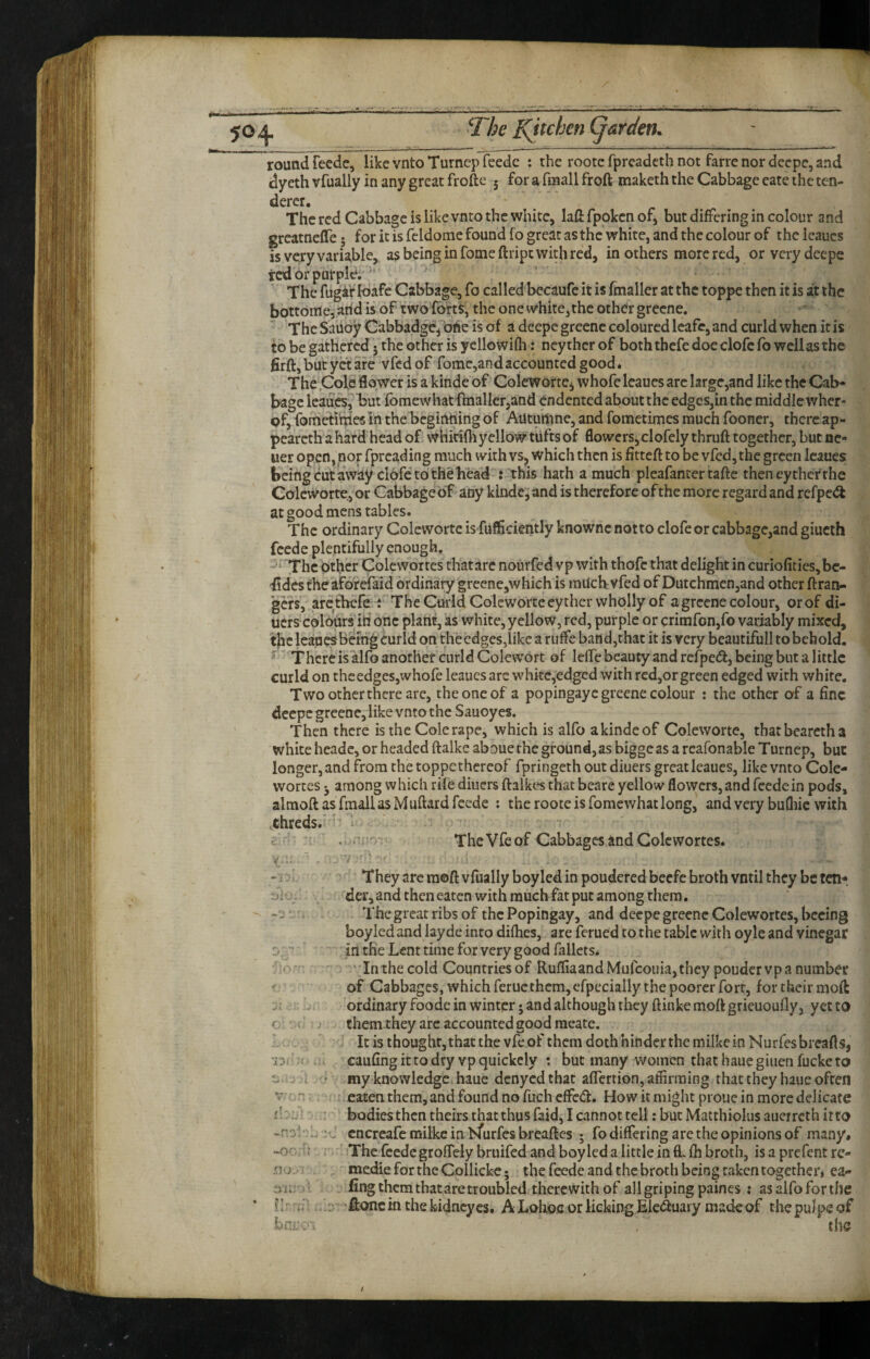 round fecde, like vnto Turnep feedc : the roote fprcadeth not farre nor deepc, and dyeth vfually in any great frofte 5 for a fmall froft maketh the Cabbage eate the ten¬ derer. The red Cabbage is like vnto the white, lafi: fpokcn of, but differing in colour and grcatnefle* for it is fcldome found fo great as the white, and the colour of thclcaucs is very variable, as being in fomeftript with red, mothers more red, orvcrydeepe red or purple; The fuga'r I-dafe Cabbage, fo called becaufe it is foialler at the toppe then it is at the bottonle,aridisof twofbrtS, thconewhite,theothergrccne. - The Sauoy Cabbadgc,'bfie is of a deepe greenc coloured Icafc, and curld when it is to be gathered 5 the other is yelloWifli: neythcr of both tbefe doe clofc fo well as the firft, but yet are vfed of fome,andaccounted good* The,Cole flower is a kinde of ColeWbrtej whofc Icaues arc large,and like the Cab¬ bage leaues, but fomewhatflnallerjand endented about the edges,in the middle wher- of, fometihies in the beginning of Auturtine, and fometimes much fooner, there ap- pearcthahard headof whidfliyellow tiifts of flowcrs,clofelythruft together, but nc- uer open, nor fpreading much with vs, which then is fitteft to be vfed, the green Icaues being cut away clofe to th^head : this hath a much pleafantertafte then eythetthe Coleworte., or Cabbage of any kinde, and is therefore of the more regard and refpc<^ at good mens tables. The ordinary Coleworte is fufficiently knownc notto clofe or cabbage,and giucth feede plentifully enough. ^ . The other Colevvortes thatarc nourfed vp with thofe that delight in curiofities, bc- ildestheafarefaid ordinary greene,which is railchvfed of Dutchmen,and other ftran- *gcrs, arcthefe i TheCmidColcworteeythcrwhplly of agrccnecolour, orof di- uers colours id one plant, as white, yellow, red, purple or prirafonjfo variably mixed, the leaues being curld on thecdges,likc a ruffe band,that it is very beautifull to behold. ' There is alfo another curld Colewort of lefle beauty and refpeca, being but a little curld on the edges, whofe leaues are white,edged with rcd,orgreen edged with white. Two other there arc, the one of a popingayc greene colour ; the other of a fine deepe greene,like vnto the Sauoyes. Then there is the Cole rape, which is alfo a kinde of Coleworte, thatbearctha white heade, or headed ftalke abaue the ground, as bigge as a rcafonable Turnep, but longer, and from the toppe thereof fpringeth out diuers great leaues, like vnto Cole- wortes 3 among which rife diuers ftalkes that beare yellow flowers, and feedc in pods, almoft as fmall as Muftard feede : the roote is fomewhat long, and very bufliic with ,threds.^!: eld: The Vfe of Cabbages and Cole wortes. vr.i..' . ' . '' ■ They are raoft vfually boy led in poudered beefe broth vntil they be ten’*. ril V der, and then eaten with much^fat put among them. - The great ribs of the Popingay, and deepe greenc Colewortes, becing boyled and layde into difhes, are ferued to the table with oyle and vinegar D. iri the Lent time for very good fallcts* 'Tn thecold Countriesof RufliaandMufeouia,they poudervpa number r' of Cabbages, which feructhcm,efpecially the poorer fort, for their mofl uf ordinary foode in winter; and although they ftinkemoftgrieuoufly, yet to o- I' themthey are accounted good meate. ’ It is thought, that the vfe of them doth hinder the milkeinNurfesbreafls, : caufing it to dry vp quickely : but many women that haue ginen fucke to -i i • my knowledge haue denyedthat affertion, affirming that they haue often V : ~: eaten them, and found no fuch eflfed. How it might proue in more delicate xl -vi bodiesthen theirs thatthusfaid, I cannot tell: but Matthiolusaucrrethitto '’j cncreafcrailkcinbfurfesbreaflcs ; fo differing are the opinions of many# “Orr;: The feede grofTely bruifed and boyled a little in flu fh broth, is a prefent rc- xi j ' mediefortheCollickc; the feede and the broth being taken together, ea- ai. i fingthemthataretroublcd therewith of all griping paines : asalfoforthe ..u the kidney es. A Lohoc or licking EMuary made of the pulps of bni-v- tha