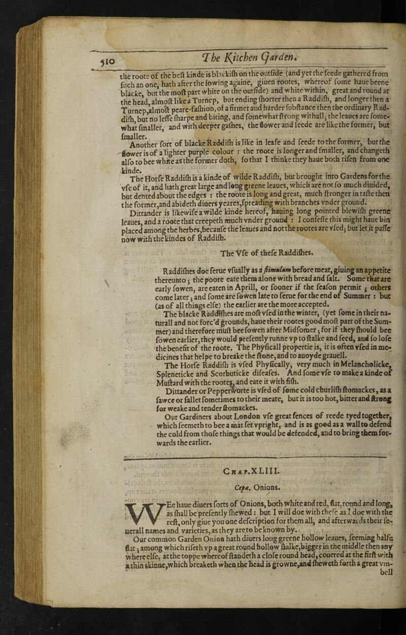 5^0 the roote of the bcft kinde is bhckifti on the outfidif (and yet the fecde gathered from fitch an one, hath after the rowing againe, giuen rootes, whereof fome hauebeenc blacke but the moft part white on. the outftde) and white within, great and round at thchca’d almoft likeaTurnep, but ending ihorter then a Raddifh, and longer then a Turncp almotl pcarc-fafliion.of afirmerand hardcrfubftancc then the ordinary Rad- difti but no leffc lharpe and biting, and fomewhat ftrong withallj theleaucs arc forae- whatfmall'er, and with deeper galhes, the flower and Icedc are like the former, but £111^1 Icr ^ Another fort of blacke Raddifli is like in Icafc and fecde to the former, butthe flower is of a lighter purple colour : the roote is longer and fmaller, andchangeth alfo to bee whke as the former doth, fo that I thinke they haue both rifen from one ' The Hbrfe Raddifli is a kinde of wildc Raddifli, but brought into Gardens for the vfe of it, and hath great large and long grccne Icaucs, which' arc not fo much diuided, but dented about the edges : the roote is long and great, much ftrongcr in tafte then the former,and abideth diners yearcs,fprcading with branches vndcr ground. Dittander is likcwifca Wilde kinde hereof, hauing long pointed blewifli grccne leaues, and a roote that creepeth much vndcr ground : I confefle this might haue bin placed among the hcrbes,bccaHrc theleaucs and notthc rootes are vfed j but let it palTc now with the kindes of Raddifli. The Vfe of thefc Raddiflics. Raddiflics doe ferue vfually as a fimulum before meat, gluing an appetite thereunto 5 the poore cate them alone with bread and fait. Some that are early fo wen, arc eaten in Aprill, or fooner if the fcafon permit • others come later 5 and fome are fowen late to feme for the end of Summer : but (as of all things clfc) the earlier arc the more accepted. The blacke Radcffflies arc moft vfed in the winter, (yet fome in their na- turall and not forc’d grounds, haue their rootes good moft part of the Sum¬ mer) and therefore niUft bee fowen after Midfomer j for if they ftiould bee fowen earlier,they would prcfently runne vp to ftalke and feed, and fo lofc the benefit of the roote. The Phyficall propertie is, it is often vfed in me¬ dicines that hel pc to breakc the ftone, and to auoydc grauell. The Horfe Raddifli is vfed Phyfically, very much in Mclaacholickc, Splcnctickc and Scorbutickc difeafes. And fome vfe to make a kinde of Muftard with the rootes. and cate it with fifli. Dittander or Pepperworte is vfed of feme cold churlifli ftoraackes, as a fawee or fallet fometimes to their mcate, but it is too hot, bitter and ftrong for weakc and tender ftomackes. Our Gardiners about London vfe great fences of reedc tycd together, which feemeth to bee a mat fet vprighr, and is as good as a wall to defend the cold from thofe things that would be defended, and to bring them for¬ wards the earlier. Chap.XLIH. CefK, Onions. ‘Ee haue diners forts of Onions, both white and red, flat, round and long, as fliall be prefently fticwcd: but I will doc with thefe as I doe with the reft, only giue you one defeription for them all, and afterwards their fe- ucrall names and varieties, as they arete be known by. . ; Our common Garden Onion hath diners longgreenc hollow leaues, feeming halfc flat • among which rifeth vp a great round hollow ftalke,biggerin the middle then any where elfe, at the toppe whereof ftandeth a clofc round bead, coucred at the firft with k thin skiDnc,which breaketh when the hcadi is gfdwnc,and flicwcih forth s great vm- bcll