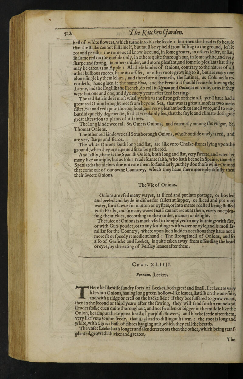 A The Tjtchen (garden. belief white flowers, which turne into blackefecdc : but then the head is fo heauie that the ftalke cannot fuftaine ir,but muft be vphcld from falling to the ground, left it rot and perifti: the roote as all know is round, in fomc greater, in others Icflcr, or flat, in fomc red on the outfide only, in others quite thorough out, in fome white,and very ftiarpc andftrong, in others milder, and more plcafant,and fome fo plcafant that they may be eaten as an Apple t All thefe kindcs of Onions, contrary to the nature of all other bulbous rootes, haue no off-fet, or other roote growing to it, but arc euery one alone fingleby themfclues j and therefore it feemeth, the Latines, as Columella re- cordeth, haue giucO it the name Vnio^ and the French it fhould feeme following the Latinc, and the Englifti the French,do call it Oigntft and OmtfifZi an vnitc, or as if they were but one and one, and dye euery yeare after feedbearing. The red flat kinde is moft vfually with vs the ftrongeft of them all, yet I haue had a great red Onion brought mee from beyond Sea, that was as great almofl: as two mens fifteSjflat and red quite thoroughoutjand very pleafantboth to fraell vnto,and to cate, butdid quickly degcneratcj fo that wc plainly fee, that the foyle and climate doth giue great alteration to plants of all forts. The long kinde wee call Sr* Oraers Onions^ and Corruptly among the vulgar, St; Thomas Onions. ^ The other red kinde Wc call StrasborOugh Onions, whofe outfide oncly is red, and are very fllarpe and fierce, . The white Onions both lortg and flat, are like vntoChalkc-ftoncs lying vponthe ground, when they ateripcand fitto begathered. And laftly,there is the^panifh Onion, both long ind flat, very fwcctc,and eaten by many like an apple, but as lohn Tradefcante faith, who hath bccnc in Spainc, that the Spaniards themfelues doe not eatc them fo familiarly,as they doc thofc white Onion^ that come out of our ownc Countrey, which they haue there more plentifully thCii their fweetc Onions* % thcVfcof Onions. • \ Onions arc vfed many wayes, as fliced and put into pottage, Or boy led and peeled and layde indiflicsfor fallctsatfupper, or fliced and put into water, for a fawee for mutton or oyftcrs,or into meatc roafted being ftufted with Parfly, and fo many waies that t cannot recount them, euery one plea- fing themfelues, according to their order, panner or delight. : ^ The iuke of Onions is much vfed to be apply ed to any burnings with firc^ or with Gun-pouder, or to anyfcaldings with water or oylc,and is moft fa¬ miliar for the Country, where vpon fuch fudden occafions they haue not a morcfitorfpeedyremcdieathand ; The ftrongfmell of Onions, andfo alfoof Garlickc and Lcekes, is quite taken away from oflPcndiag the head or eyes, by the eating of Parfley Icaues after them* Chap. XLIIII. Ptrrum, Lcekes. THere be likewifc fiindry forts of Lcekes,both great and fmall. Leckes arc very like vnto Onions,hauing long green hollow-like Icaues,flattifli on the one fide, and with a ridge or creft on the backc fide: if they bee fuffered to grow vneur, then in the fecond or third yeare after the fowing, they will fend forth a round and flender ftalke,euen quite thoroughout, and not fwollen or bigger in the middle like the Onion, bearing ar the toppe a head gf purplifli flowers, and blackc feede after them, very like vnto Onion feede, that i;.khardto diftinguifh them : the root is long and white, with a great bufh of fi!brcs banging at itjwhich they call the beards. The vnfet Lccke hath longer and flendcrer roots then the other, which being tranf- |>lantcd,growcth thicker and greater.