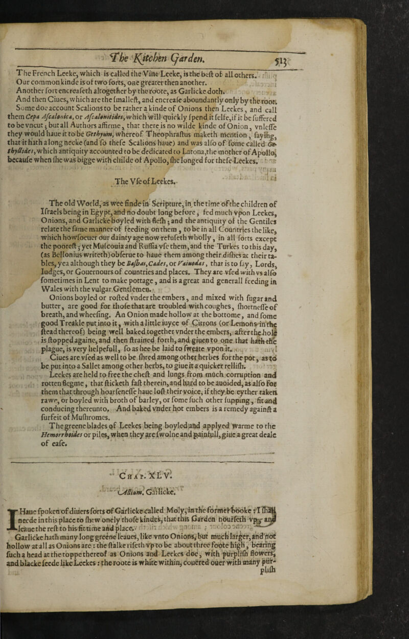 T he French Lceke, which is called the Vine'Lcekc, is the beft of all others.^ i^:i ;.*» Our common kinde is of two forts, one greater then another. , , i, | Another fort encreafeth altogether by the rbote, as Garlickc doth* ^ And then Ciues, which are the fmalleft, and cncreafe aboundantly only by the rbbfi SumedoeaccountScalionsto be rather a kinde of Onions thenLcckes, and call them Cep* AfcdonicA, or Afcal$Httiete§ywhicl^vi\\\ quickly fpend it fclfe,if it befuffered to be yncut j butall Authors affirme that there is no wilde kinde of Onion, vnlciTc they would haue it to‘be C?f/A7«>w,'whereof 'fheophraftus maketh mention ,• fay ib<y, that ithathalongneckeCand fo thefc Scalions haue) and was alfo of fome called Gtt- tbyHtdeSy which antiquity accounted to be dedicated to Larona,the mother of Apblloj bccaufc when flic was bigge with' childc of Apollo, flie longed for thefe-Leekes. ‘ 'll; ‘ f The VfeofLcekcs.. The old World, as wee finde in Scripture, in^ the time of the children of Ifracls being in Egypt, and no doubt long before, fed much vpon Leckes, Onions, and Garlicke boyled with flefli • and the antiquity of the Gentiles relate the fame manner of feeding onrhem , to be in all Countries the like, which howfoeuerdur dainty age now Tcfufeth wholly, in all forts except the pooreft ;• yet Mulcouia and Ruflia yfc them, and the Turkes to this day, (as Bellonius writeth)obfcructo haue them among their diflies at their ta¬ bles, yea although they be SAfljaSyCAdeSy or f^AiMtlAs^ that is to fay, Lords, Judges, or Gouernours of countries and places. They are vfed with vs alfo foraetimes in Lent to make pottage, and is agreat and gencrall feeding ia Wales with the vulgar Gcntlemeo. . Onions boy led or rolled vndcr the embers, and mixed with fugartnd butter, are good for thofe that arc troubled wkhcoughes, flioitnelTeof breath, and wheeling. An Onion made hollow at the bottomc, and fome good Trcakic put into it, wkhalitdeiuy.ee of Gkrpns (orLemons^infhe (lead thereof) being well baked together vnder the embers, after thcboll , is Hopped againe, and then ftrained forth, and giuento,one.that hathtfi^ plague, is very helpefull, fo as lice be laid to Iwgatc vpon it* uJvI Gucs arc vfed as well to be Ihred among other herbes for the pot,; as td be put into a Sallet among other herbs, to giueit a quicker rcHilh. ^ V Leekes are held to free the cheft and lungs.frpra -miSch corruption and rotten fiegme, that llickcth fall therein, aqd ha/d to be auoided, as alfo fot them that through hoarfenelTe haue loft their voice, if theyBe.eythcr taketi rawe, or boyled with broth of barley, or fome fuch other lapping, .-fit and conducing thereunto. And baked vndcr hot embers is a remedy againft a forfeit of Mulliromcs. Thegreencblades Qf Leekes .being boylediand applyed warrae to the Hemorrbotdes or piles, when they are fwolne and paiafpli, giuc a great deaic of eafe. I Haue fpokenof diuersfortsof Gartickecalled’Mbly^'in theforpricl'lkioke i neede inthis place to llicw'onely thofe kindes, th^'this Garden' hbuKeth 'V] icauetherefttohisfiMimca^dplacc.y di iii Garlicke hath many long gfeene fcaud, like vnto OniofiSi but muefelarger, arid'ni^ hollow at all as Onions are: thcftalkerifethrptobc about three foqte high, baring fuch a head at the tbppe thereof as Onions and Leekes doe, with purplilh flowers^; and blackcfccdc like Leekes: the rootc is white within, couered ouer with m^y \