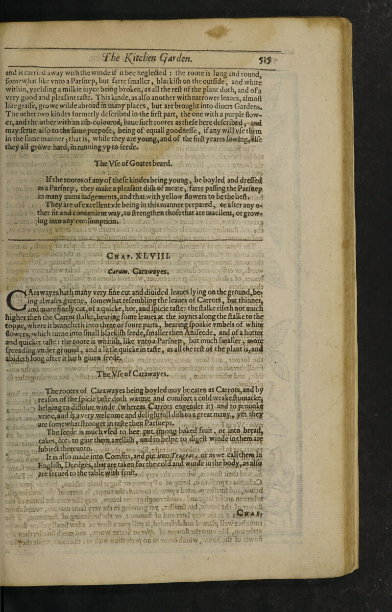 515 and is carriv'd away with the wmdc if k bee neglcded : the rooce is long and round fomewhae like vnto a Parfoep, but farre fraallcr, blackifli on the outfide, and white within, ycclding a milkic iuyee being broken, as all the reft of the plant doth, and of a very good and pleafant tafte. This kinde,as alfo another with narrower Icaucs, almoft like grairejgrowcwildc abroad in many places, but are brought into diuers Gardens. T tic other two kindcs formerly deferibed in the firft part, the one with a purple flow¬ er, and the other with an afh-colouredi haue fuch rootes as thefe here deferibed, and may.fer Ue. aifo to thclarae purpofe j being of cquall goodnefle, if any will vfe them in the ftime manner; that is, while they arc young, and of the firft ycares fowing, elfe they all growe hard, in runningvp t6 fccdc. The.VTe ofGoates beard. . . - •'i . ' ■* . Ifthcroote&ofaayof thefe kindcs being young 5 bcboyled anddreffed asaParfncp, they make a pleafant difli of meatc,farrepafling the Parfncp; in many paensiudgements,and that with yellow flowers to be thebeft., « < They arc of excellent vfe being in this manner prepared, or after any o- thcr fit and coniicnicnt way,to ftrengthen thofethat are macilent, orgrow-- . ingintoaiiyconfumption* j f. ■ . . j-' ■- - -W ; - -• ‘ . .J ' . . f.r/, V ^ , . . .r ■ 'v ni )! t ■ • - Chaf.XLYIIL i .it.- ^ ■ CAfum, Garawayes* jy f*t / » A-j yr r? V: ?T.- t ^ Arawayes hath many very fine cut and divided leaucs lying on the gr6ubd,b^ '' ing alwaics greeny, fomewhat refcmbling the leaucs of CarrotS, but thinnerj and more finely cut, of a quickc, hot, and fpicic tafte: the ftalkc rifeth not much higher then the Carr,of ftalke,bcarifig fonre Icauesiw: the ioynts along the ftalke to the toppe, where it braochcch into ii|rjceor foure parts, bearing fpoakic vmbels of whit^ flowers, which turnc into fmall bl^^ifh feede,Smaller then Anifcede, and of ahqttc? and quicker tafte: the ^ote Is wbitiih, like ynto a Parfnep , but much fmallcrmore fpreading vnder » and a Ij^^k-quickcin tafte, as all the reft of the plant is,an4 abidethlong after it U^hgiuea.ff^/,, , • . . . . . .. V' .. '■■rn.':: io’ •' .-i.'/'-:■! !i;; . t . : .„The;y^of Carawayes. . ^ . The rootes of Carawayes being bqylcd may becaten as Carrots,and by rcafon of the fpicic t^d,e doth wacme and comfort a cold weakaftqm^kt^ ‘ « t' •  . __!__1_Ji Z^\ t W , arefomewhatftrongeriiit^ethcpParfhcps. , .. , iqi Thefcedcisrouchvted tp.beq.puCf^pi^’b^cdfruft, or iBtd.jbr^ ^ cakes,&c. to giue tbffinSjair^iifti, iand,tq]oclp5 winde inth^arp . ..fubiedthereunto. o !,,-t, / .;;y-fj--'.j' •’(jcIoj ir>i:y jjopT It is alfo made into Comfits, andput^t9^;r<^,warOT as wc ci thern in I'j) ./.y Engiifli, Dtcdge^ tl^'^l^Skcn iuihc ^ ^referued to the table widi fruit, • Iw ^2 ' ji'jrlj f.. ,11 J ! • • y , fk ]; J;I:0 ,<101 “sd/' oJ . .'W'jvb jTiuoe i-'iicaii bi,..jV.oi,.d[ j I .d;:.-. : i '' >-r:i:ol • . ;rls[jo-r'h-.o-! ' :)U nr:-!!);]';]' . JJ r‘. /.l V'* m rnrifiu? lo r.;': Y'i--v .(1= ; •. ' \r,\: ''r vrcfl^rljomv •':i '>^■'7:. , <3 on O ■'i ’'JLi'i'N , , t'A‘^-jdl lo iOVr -'i ;o n . f:;d. •' )>'[D r-A *