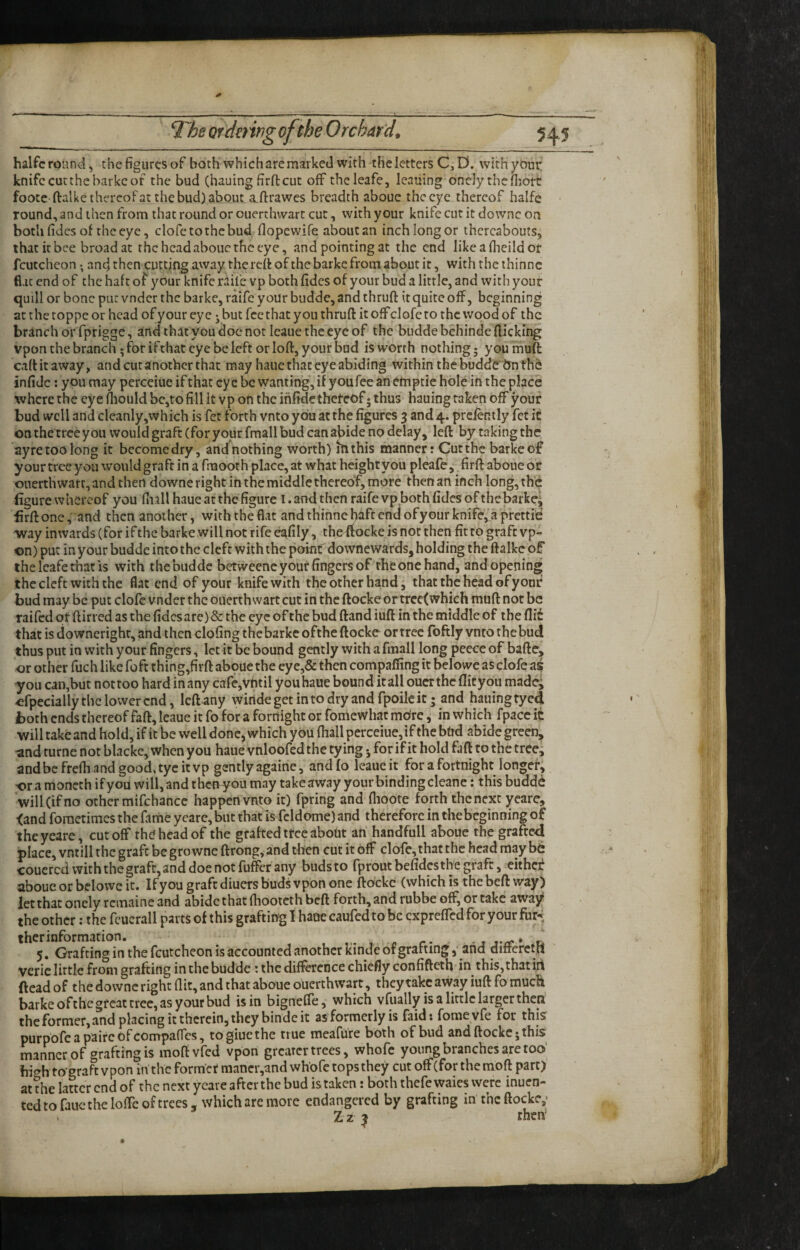 halfc round, the figures of both which are marked with the letters C,D. withyOuc knife cut the barke of the bud (hauing firfl-cut off theleafe , leaning onely thcfliort foote-ftalkethereofat the bud) about a,fl:rawes breadth aboue the eye thereof halfe round, and then from that round or ouerthwart cut, with your knifecutitdowncon bothfidesof theeye, clofctothebud flopewife about an inch long or thercaboutSj that it bee broad at the head aboue the eye, and pointing at the end likeafheildof fcutcheon •, and then cutting away the refi of the barke from about it, with the ihinnc fiat end of the haft of your knife raife vp both fides of your bud a little, and with your quill or bone put vndcr the barke, raife your budde, and thruft it quite off, beginning at the toppe or head of your eye ^ but fee that you thruft it off clofc to the wood of the branch or fprigge, and that you doe not leaue the eye of the budde behinde flicking vpon the branch 5 for ifthat eye be left or loft, your bud is worth nothing* youmuft caftitaway, and cut another that may haue that eye abiding within the budde dn the infidc: you may perceiue if that eye be wanting, if youfee an efnptie hole in the place where the eye ftiould be,to fill it vp on the infidethetcof 5 thus hauing taken off your bud well and cleanly,which is fet forth vnto you at the figures 3 and 4. prcfently fet it on the tree you would graft (for your fmall bud can abide no delay, left by taking the ayre too long it become dry, and nothing worth) hi this manner: Cut the barke of your tree you would graft in a fnaooth place, at what height you pleafe,. firft aboue or onerth wart, and then downe right in the middle thereof, more then an inch long, the figure whereof you fii.ill haue at the figure i. and then raife vp both fides of the barker firftone, and then another, with the flat andthinnebfifccndofyourknife,a prettie way inwards (for if the barke will not rife ^fily, theftocke is not then fit to graft vp- on) put in your budde into the cleft with the potnf downewards, holding the ftalkc of the leafe that is with the budde betweenc your fingers of the one hand, and opening the cleft with the flat end of your knife with the other hand, that the head of your bud may be put clofc vnder the ouerth wart cut in the ftocke or trec(which muft not be raifed ot ftirred as the fides are) & the eye of the bud ftand iuft in the middle of the fli6 that is ciowncrighr, and then clofing the barke ofthe ftocke or tree foftly vnto the bud thus put in with your fingers, let it be bound gently with a fmall long peece of bafte, or other fuch like fofe thing,firft aboue the eye,& then compafiing it belowe as clofe as you can,but not too hard in any cafCjVhtil you haue bound it all oucr the flit you made^ -efpecially the lower end, Icftany wiridegetintodryandfpoileit; and hauing tyed both ends thereof faft, leaue it fo for a forriight or foniewhat more, in which fpace it will take and hold, if it be well done, which you lhall perceiue, if the bUd abide green, •and rurne not blackc,whcn you haue vnloofed the tying j for if it hold faft to the tree^ andbcfrefli andgood,tycitvp gently againe, andfo leaue it for a fortnight longer, ■or a moneth if you will, and thefl^you may take away your binding cleanc: this budde will (if no other mifchance happen vnto it) fpring and flioote forth the next yeare, <and foraetimes the fame yeare, but thatMcldome) and therefore in thebeginning of the yeare, cutoff the head of the grafted tree about an handfull aboue the grafted place, vntill the graft be growne ftrong,and then cut it off clofe, that the head maybe couered with the graft, and doe not fuffer any budsto fproutbefides the graft, eithef aboue or belowe it. If you graft diuers buds vpon one ftocke (which is the beft way) let that oncly remaine and abide that fhooteth beft forth, and rubbe off, or take away the other: the fcucrall parts of this grafting I haue caufed to be expreffed for your fur-; therinformation. -1 t-rr* & 5. Grafting in the fcutcheon is accounted another kinde of grafting ,• and difterctll vcric little from grafting in the budde: the difference chiefly confifteth in this, that iii ftead of the downe right flit, and that aboue ouerthwart, they take avvay iuft fo much barke ofthe great tree, as your bud is in bigneffe, which vfually is a little larger then the former, and placing it therein, they binde it as formerly is faid: fomeyfe for this purpofe a pairc of COmpafTcs, togiucthe true meafure both of bud and ftocke j this manner of grafting is moftvfed vpon greater trees, whofe young branches are too’ high tograft vpon in the formet mancr,and whofe tops they cut off (for the raoft part) at the latter end of the next yeare after the bud is taken: both thefe waics were inuen- ted to fauc the lolfc of trees, which are more endangered by grafting in the ftocke,- Z z ^ rheh