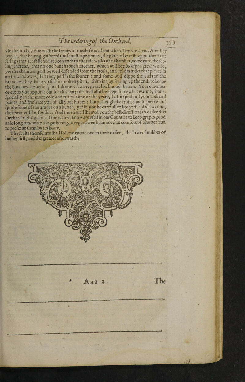 7he QfdeHngof the Orchard. -555 vfe them, they doc wafii the feedes or mealefrom them when they vfe them. Another wayis, thathauing gvithered the faireft ripe grapes, they arc to be caft vpon thredsor firings that arc faftened at both ends to the fide walks of a chamber,nccre vnto the fee¬ ling thereof, that no one bunch touch another, w;hich will bee fo kept a great while, yet the chamber muft be well defended from the ffofis, and cold windes that pierce iri atthe windovves, left they perifli the fooner t and fomc will dippe the endsof the branches they hang vp firft in molten pitch, thinking by fearing vp the ends to keepe the bunches the better; but I doe not fee any great likelihood therein. Your chamber or clofet you appoint our for this purpofe muft alfo bee kept fomewhatwarmc, but e- fpecially in the more cold and froftie time of the yeare, left it fpbile all your coft and paines,and fruftratc you of all your hopes: but although the fi oftsfliould pierce and fpoile fome of the grapes on a bunch, yet if you be carefull to keepe the place warmc, the fewer will be fpoiled. And thus haue I (lievved you thebeft directions to order this Orchard rightly,and all the waics I knovv^ are vfed in ourCountrie to keep grapes good anie long time after the gathering,in regard wee haue notthat comfort of a hotter Sun to prefer uc them by its heate. The fruits themfelues fiiall follow eueric one in their order • the lower (hrubbes of bullies firft, and the greater afterwards.