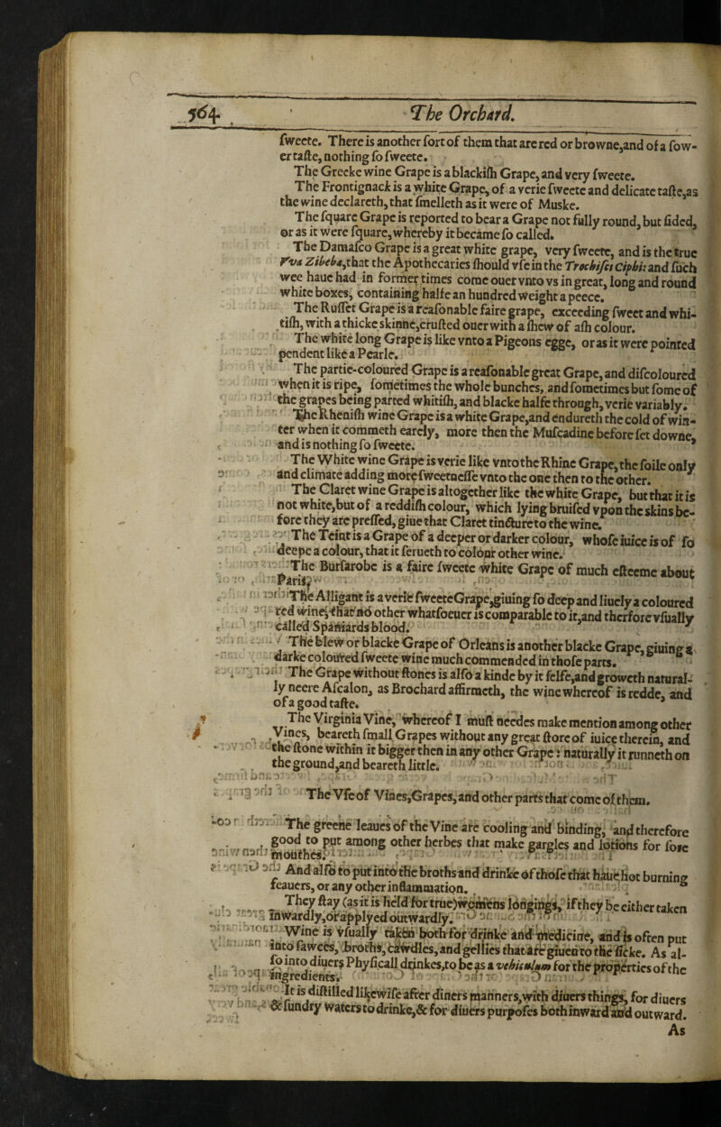 fwectc. There is another fort of them that are red or bro wncjand of a fov7- crtafte,aothing fofwcetc. The Grecke wine Grape is ablackifh Grape, and very fweete. The Frontignack is a white Grape, of a yerie fwectc and delicate tafte,as the wine dcclareth, that fmelleth as it were of Muske. The fquarc Grape is reported to bear a Grape not fully round, but fided, or as It were fquarc, whereby it became fo called* The Damafeo Grape is a great white grape, very fwectc, and is the true Kva Ztb^ba^thsx. the Apothecaries ihould vfeinthe Tmbifit Cifbhznd fuch wee hauchad in forme^times come ouervnto vs in great, long and round white boxes, containing half c an hundred Weight a peecc. The Ruflet Grape is a reafbnablcfaire grape, exceeding fwcet and whi- tilh, with a thickc skihtie,crufted oucr with a Ihcw of alh colour. ThewhitclongGrapcislikevntoaPigeonsegge, orasitwerepoifired - - pendent like a Pcarlc. . The partic-colourcd Grape is a rcafonablc great Grape, and difcolourcd whenitisripe, fornetimes the whole bunches, and fometimes but fome of ;^ the grapes being parted whitilh, and blackc halfc through, verie variably, . ‘ '' l^cRhcnifh wine Grape is a white Grape,andendureth the cold of win¬ ter when it commeth earcly, more then the Mufcadinc before fet downc ^ 0 r and is nothing fo fwectc. * The White wine Grape is verie like vntothcRhmc Grape,the foile only 05 > ^ ^nd climate adding morcfwcetncfrcvnto the one then to the other. V - The Claret wine Grape is altogether like the white Grape, butthatitij not white,but of a rcddifli colour, which lying bruifcdvpon the skins bc- i- ' forctheyarcprcfTcdjgiuethatClarcttinaurcto the wine. '. / The Tcintisa Grape of a deeper or darker colour, whofciuicc is of fo - ^^'deepc a colour, that it feructh to colour other wine.* • ! -< s K^^Thc Butfarobe is a faire iwcac White Crape of much eftceme about f'i^3^^^*T^eAlIi|antisavertefweeteGrapc^iuingfodeepandliuclyacolourcd ‘ ted ivin^j-thafitd other whatfoeuer is comparable to it,and thcrforcvfually , i t’.rr called Spaniards blood/ ^ ■: n. c / The ble\»« or blacke Grape of Orleans is another blacke Grape, duinp s ■ V _ darkecoloiifredfweetewiBcmuchcommendcdinthofeparts. ■ - rail.- The Grape without ftoncs is alfo akindc by it feIfe,andgroweth natural-' ly ncere Afcalon, asBrOchardaffirmeth, the wine whereof istedde, and of a good taftc* * The Virginia Vine, whereof I muft necdcs make mention among other .r 003^ fmallGrapcs without any great ftorcof iuicc thcrcin, and *. iV: cv-the ftonc within it bigger then in any other Grape i naturally it runneth on the ground,andbearcth little. Mon. r^n;'!:i0ni.:v . : . 'V - - . - I . - ' • j T w .. 13 Sfjj The Vfcof Vines,Grapes, and other parts that come of them. -oor drav., the greene leaucsof the Vine arc cooling and binding^ anfi therefore 1-iw narli Other herbes that make gargles and lotions for foie J. • •,'1: ;i> 3ri3 And alftf t'b put info'the broths and drinkc of thofe ritat hauehot burnin. leaucrs, or any Other inflammation, ^' i ^ v:'I':,.Oflfip^iciire, arid is often put 'mtofawctSjlirothSjCiltirdleSjandgeliiesthatiltfgtueiirotheBcke. As al- - ■ '* 5 ■ ' jiilaC ' ' fi’ ^ ^ v ry Klikc^ifeafter diners manners,with diiiers things, for diners ^ ^ ' ^^“^^*^y''^^^®*^5todrinkc,&for“diufc'rspurpojre$b6thinwardaifdoutward. As