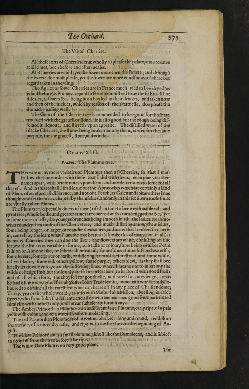 TheVfeof Cherries. ’ . w All thefe forts of Cherries ferue wholly to pleafc the palatc,and arc eaten at all tiraes, both before and after meales. i . . ' Ail'Cherrics ate coidj’yecthe fovs^er morethenth'e fwcete • and althoiigh the fwcete doc moft pleafc, yet thefow^ arc more wholfome:, .if .there bee regard taken in the v^ingiIff^ ' ?•.“ :> i di. The Agriot or fower Cherries are in France much vfed to bee dryed (as is faid before)asPruin^sare^and fof^rueto miniftred to be the fick in all hot difeafes,asfcuers&c. being both boy led in their drinkes, andtakennow and then of themfelues, which by reafon of their tartnefle, doe pleafc the . ftomackepadingwell. .. r r The Gum of the Cherrie tree is commended to bee good for thofc are troubled with the grauellor ftonc. It is alfo good for the cough being dif- folued in liquour, and ftirreth vp an appetite. The diftilled water of the blacke Cherries, the ft ones being broken among them,, is vfed for the fame purpofe, for the graucll, ftonc,and«irinde. -■ .r,-■ I Ch-ap.X'III. - / . < - . . . \ - ti Prtfmi, The Plumme tree.^^ - ' i C • - ; .. i I Here are many more varieties of Plummes then of iChcrrics, fo that I muft follow the fame order with thefe • that I did withthem;, eoen giue you their names apart, with briefe notes vpon them, and one deferiptionto ferue for all the reft. And in thisrecitall I fliall leauc outthc Apricockes whiCbarccertainly a kind of Plum, of an elpcciall difference, and not of a Peach^as Galenand fome others hauc thought,and fet them in a chapter by t hemfelues, andainly in this fee down thodc fruits are vfually called Plums. . ■ • ' ^ t,i* The Plum tree fcfpecially diuers of them) rifeth in time to bee ;rreafonablc tall and great tree, whofe bodie and greater armes aroeduefed with aractferugged; barke,. yet in fome more or leffe, the youngctbranches being fmooth in ally the Ic^es are fome- what rounderthen thofe of the Cherrie tree,oand much differing amongdrcmfelues, fome being longer, or larger,or roundcrthch:ethcrs,?nd.many that arcTckcr^ilcd here¬ in, can tell by the leafe what Plum the tree bearethd fpcake this ofmany ,ribr.of all)as in many Cherries they can doe the like i-the flowers are whit^, cbnfiftingof flue leaues: the fruit is as variable in forme, as in taftc or colour,rorac being taVali.or Peare fafliion or Almond like, or fphcpicall or.rounds fome. firme^j fome fofeand watcrifli,- fome fweete, fome fower or harlb, of differing from all thelotaftesiand' fame white, others blacke, fome red, others yellow, fome purple, others blew, as they fliall bcc briefly fetdowne vntoyou in thefolio wing lines, where! meanc nottoinferr any the wildc OP hedge fruitjbut thofe only are fit foramOrebard^fabeftpred wathgood fruit: and of all which forts, ihechoyfcftforgoodneffc, and rareft for knowledge, are to be had oF my very good friend ^fterlohnTradefcante, 'who hath wondcf fully la¬ boured to obtaine all the rareft fruits hce can hearc off in any place of Chriftendorac, Turky, yea or the whole world •■as alfo with Mafter lohnMillcn, dwelling in Olde ftreete,who from lohnTradcfcanteand all Others that haiie had goodfruit,hatb ftored himfelfewiththebeftonly,andbedcanfufScientlyfurniatany. rji • '• The Amber Primordian Ptomfneisan itidiffcrentdairc PlummCjearly ripe,ofapalc yellowifticoiour,and ofa\vatcMta’fta,hOcplcafing; r v .. . The red Primordian Plumme is of a reafonablelrzev-. lohgand round, rcddifliori the oatfide, of a more dry tafte, and ripe* with the firfffortsitKhe beginning of. Au- gUft. ’ 5 • Th'ehleV Primordian is a fitiillplumme^liiioft likcthe pamalcerie, and is fubied to dfdpJoffffom the tree before itbe ripei-^.n; n: V The white Date Pliira is no very good ptom;