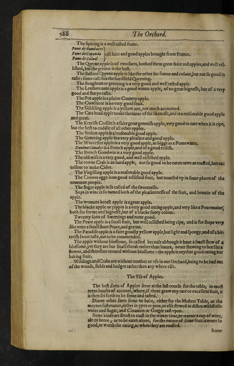 The Spicing is a well rafted fruite. , . / ■ • Tcme de Ramlfttresy tome deCapandd ^11 faire and good apples brought from France. fmedecsiitil j The Qj^ene apple is of two forts, both ofthem great faire red apples,and well rel- liftied, but the greater is the beft. The Baftard Qu^cneapplc is likethc other for forme and colour,but not fo good in tafte: fomc call this the bardfield Qi^cning. The Boughton or greening is a very good and well tafted apple. The Leathereoate apple is a good winter apple, of no great bignefle, but of a very good and fliarpe taftc. The Pot apple is a plain e Country apple. The^Cowfnout is no very good fruit. . The Gildiling apple is a yellow one, not much accounted. The Cats head apple tooke the name of the likeneflre,and is a rcafonablc good apple andgreat. The Kcntifli Codlin is a faire great grecnifti apple, very good to cate when ft is ripej but the beft to coddle of all other apples. The Stoken apple ft a reafonable good apple. The Geneting apple isa very pleafant and good apple. The Worcefter apple is a very good apple, as bigge as a Pomcwatcr. T>onm^ CoHddis is a French applc,and of a good rellifh. The French Goodwin is a very good apple. „ The old wifeisavery good, and well relliflied apple. The to wnc Crab is an hard appfe, not fo good to be eaten rawe as roafted, but cx^ Cellent to’make Cider. The Virgilling apple is a rcafonable good apple. The Crowes egge is no good rcllifticd fruit, but nourfed vp in fome places of the common people. ' ^ -'^Tfae Sugar apple is fo called of the fwccinefte. Sops in wine isfo named both of the plcafantneffcof the fruit, and bcautic of the apple. ■ .. The Womans breaft apple is a great apple.? * . The blacke apple or pippin is a very good eating apple,and very like a PearemaineJ both for forme and bigneflrc,but of a blackc footy colour. • :; Tweenty forts of Sweetings and none good,' The Pcare apple is a fraall fruit, but well relliftied being ripe, and is for ftiapc very likcvntoafraallfhortPcarejandgreenc, » ' The Parad ife apple is a faire goodly yellow apple,but light and fpongy,and of ^ bit* terift)fweettafte,not to be commended. ' j The apple without blolTome, fo called becaufc although it haue a fiaall llicw pf a blo{rome,yct they are but finall threds rather than leaucs,- ncuer (hewing to beelikea flower, and therefore termed without blolTome: the apple is neythcr good eating nor baking fruit. «1 Wildings andCrabs arc without number or yfe in our Orchard,being to be had oat of the woods, fields and hedges rather then any where elfe. TheVfcof Apples. . The beftifortsof Apples ferucatthc laftcourfc for the table, in raoft / mens houfes of account, wbere,if there grow any rare or excellent fruit, it is then fet forth to be fccnc and rafted.i * r. r •Diuers other forts ferue to bake, eicherfor the Matters Table, or the mcyncs fuftcnance,either in pyes or pans,of elfc ftewed in dilhes witbRofc* L water and Sugar, and Cinamon or Ginger caftvpon. Some kinds are fitteft to roaft in theiwinter timc,to warmc a cup of wine, aleorbccrc j or to be eaten alone, forthenaturcofiforoc fruit ftneuer fo good,or worth the cating,as when they arc roafted. . Some